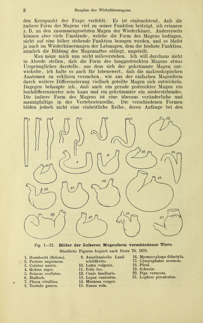 den Kernpunkt der Frage verfehlt. Es ist einleuchtend, dafs die äufsere Form des Magens viel zu seiner Funktion beiträgt, ich erinnere z. B. an den zusammengesetzten Magen der Wiederkäuer. Andererseits können aber viele Umstände, welche die Form des Magens bedingen, nicht auf eine höher stehende Funktion bezogen werden, und es bleibt ja auch im Wiederkäuermagen der Labmagen, dem die höchste Funktion, nämlich die Bildung des Magensaftes obliegt, ungeteilt. Man möge mich nun nicht mifsverstehen. Ich will durchaus nicht in Abrede stellen, dafs die Form des langgestreckten Magens etwas Ursprüngliches darstelle, aus dem sich der gekrümmte Magen ent- wickelte, ich halte es auch für lobenswert, dafs die makroskopischen Anatomen zu erklären versuchen, wie aus der einfachen Magenform durch weitere Differenzierung vielfach geteilte Magen sich entwickeln. Dagegen behaupte ich, dafs auch ein gerade gestreckter Magen ein hochdifferenzierter sein kann und ein gekrümmter ein niederstehender. Die äufsere Form des Magens ist eine überaus veränderliche und mannigfaltige in der Vertebratenreihe. Die verschiedenen Formen bilden jedoch nicht eine einheitliche Reihe, deren Anfänge bei den Fig. 1—21. Bilder der äufseren Magenform verschiedener Tiere. Sämtliche Figuren kopiert nach Nuhn 70, 1870. 1. Hornhecht (Belone). 2. Proteus anguineus. 3. Coluber natrix. 4. Gobius niger. 5. Scincus ocellatus. 6. Haifisch. 7. Phoca vitullina. 8. Testudo graeca. 9. Amerikanische Land- schildkröte. 10. Lutra vulgaris. 11. Felis leo. 12. Canis familiaris. 13. Lepus cuniculus. 14. Muraena conger. 15. Nasua rufa. 16. Myrmecophaga didactyla. 17. Cynocephalus raormon. 18. Pferd. 19. Schwein. 20. Pipa verucosa. 21. Lophius piscatorius.