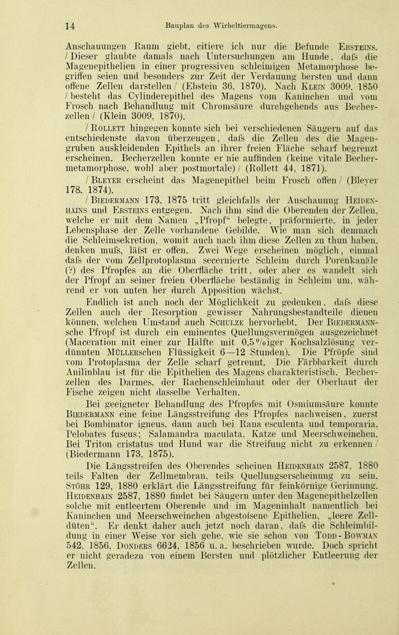 Anschauungen Raum giebt, citiere ich nur die Befunde Ebsteins. / Dieser glaubte damals nach Untersuchungen am Hunde. dafs die Magenepithelien in einer progressiven schleimigen Metamorphose be- griffen seien und besonders zur Zeit der Verdauung bersten und dann offene Zellen darstellen / (Ebstein 36, 1870). Nach Klein 3009. 1850 / besteht das Cylinderepithel des Magens vom Kaninchen und vom Frosch nach Behandlung mit Chromsäure durchgehends aus Becher- zellen / (Klein 3009, 1870). / Rollett hingegen konnte sich bei verschiedenen Säugern auf das entschiedenste davon überzeugen, dafs die Zellen des die Magen- gruben auskleidenden Epithels an ihrer freien Fläche scharf begrenzt erscheinen. Becherzellen konnte er nie auffinden (keine vitale Becher- metamorphose, wohl aber postmortale) / (Rollett 44, 1871). / Bleyer erscheint das Magenepithel beim Frosch offen / (Blever 178, 1874). / Biedermann 173, 1875 tritt gleichfalls der Anschauung Heiden- hains und Ebsteins entgegen. Nach ihm sind die Oberenden der Zellen, welche er mit dem Namen „Pfropf belegte, präformierte, in jeder Lebensphase der Zelle vorhandene Gebilde. Wie man sich demnach die Schleimsekretion, womit auch nach ihm diese Zellen zu thun haben, denken mufs, läfst er offen. Zwei Wege erscheinen möglich, einmal dafs der vom Zellprotoplasma secernierte Schleim durch Porenkanäle (?) des Pfropfes an die Oberfläche tritt, oder aber es wandelt sich der Pfropf an seiner freien Oberfläche beständig in Schleim um, wäh- rend er von unten her durch Apposition wächst. Endlich ist auch noch der Möglichkeit zu gedenken, dafs diese Zellen auch der Resorption gewisser Nahrungsbestandteile dienen können, welchen Umstand auch Schulze hervorhebt. Der Biedermann- sche Pfropf ist durch ein eminentes Quelllingsvermögen ausgezeichnet (Maceration mit einer zur Hälfte mit 0,5°/oiger Kochsalzlösimg ver- dünnten MüLLERschen Flüssigkeit 6—12 Stunden). Die Pfropfe sind vom Protoplasma der Zelle scharf getrennt. Die Färbbarkeit durch Anilinblau ist für die Epithelien des Magens charakteristisch. Becher- zellen des Darmes, der Rachenschleimhaut oder der Oberhaut der Fische zeigen nicht dasselbe Verhalten. Bei geeigneter Behandlung des Pfropfes mit Osmiumsäure konnte Biedermann eine feine Längsstreifung des Pfropfes nachweisen, zuerst bei Bombinator igneus, dann auch bei Rana esculenta und temporaria. Pelobates fuscus; Salamandra maculata, Katze und Meerschweinchen. Bei Triton cristatus und Hund war die Streifimg nicht zu erkennen / (Biedermann 173, 1875). Die Längsstreifen des Oberendes scheinen Heidenhain 2587, 1880 teils Falten der Zellmembran, teils Quellungserscheinung zu sein, Stöhr 129, 1880 erklärt die Längsstreifung für feinkörnige Gerinnung. Heidenhain 2587, 1880 findet bei Säugern unter den Magenepithelzellen solche mit entleertem Oberende und im Mageninhalt namentlich bei Kaninchen und Meerschweinchen abgestofsene Epithelien, „leere Zell- düten. Er denkt daher auch jetzt noch daran, dafs die Schleimbil- dung in einer Weise vor sich gehe, wie sie schon von Todd-Bowman 542, 1856, Donders 6624, 1856 u. a. beschrieben wurde. Doch spricht er nicht geradezu von einem Bersten und plötzlicher Entleerung der Zellen.