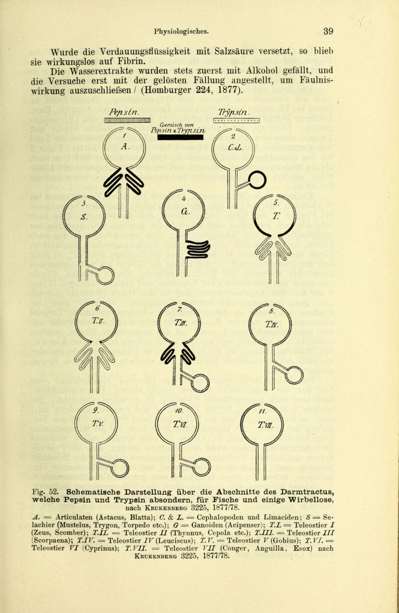 Wurde die Verdauungsflüssigkeit mit Salzsäure versetzt, so blieb sie wirkungslos auf Fibrin. Die Wasserextrakte wurden stets zuerst mit Alkohol gefällt, und die Versuche erst mit der gelösten Fällung angestellt, um Fäulnis- wirkung auszuschliefsen / (Homburger 224, 1877). Pep. sin. Trypsin. HIIIIIIHIIIIIIIIIIHIIIIIIHHIIIM . 1 Guemisch von Fig. 52. Schematische Darstellung über die Abschnitte des Darmtractus, welche Pepsin und Trypsin absondern, für Fische und einige Wirbellose, nach Krukenberg 3225, 1877/78. A. — Articulaten (Astacus, Blatta); C. & L. = Cephalopoden und Limaciden; S= Se- lachier (Mustelus, Trygon, Torpedo etc.); G = Ganoiden (Acipenser); T.I. == Teleostier I (Zeus, Scomber); T.II. = Teleostier II (Thynnus, Cepola etc.); T.III. = Teleostier III (Scorpaena); T.IV. = Teleostier IV (Leuciscus); T. V. = Teleostier F(Gobius); T.VI. = Teleostier VI (Cyprinus); T. VII. = Teleostier VII (Conger, Anguilla, Esox) nach Krukenberg 3225, 1877/78.