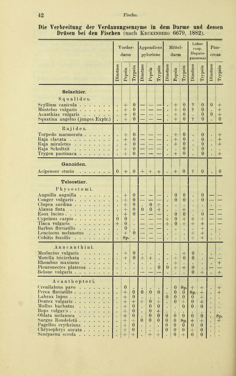 Die Verbreitung der Verdauungsenzyme in dem Darme und dessen Drüsen bei den Fischen (nach Krükenberg 6679, 1882). Leber Vorder- Append ices Mittel- re sp. Pan- darm pyloricae darm Hepato- creas pancreas <D a >s a> <y «3 ä 03 c3 -t-a CO 'S 'w Cu ci 03 w 53 Oh 03 .5 ' w 'w SÖ *03 — V3 'w 0. <a >-s U <V s3 b — b s h-1 n , l-M Q Q s Q -— Selachier. S q u a 1 i d e s. 4- 0 — — — + 0 ? 0 0 + + 0 + 0 ? 0 + 0 — — — + 0 n U 6 + Squatina angelus (junges Explr.) + A 1 A u ? o A U R a j i d e s. Torpedo marmorata 4- o 4- o o 4- Raja clavata . + 0 + 0 0 + Raja miraletus -J- 0 + 0 0 + -f 0 0 o Trygon pastinaca + 0 + 0 0 4- Ganoiden. 0 + 0 + + + + 0 ? 0 0 Teleostier. Physostomi. + 0 — — 0 0 0 — — + 0 — — 0 0 0 — — Clupea sardina + 0 0 + + 0 6 0 + + — — Esox Tucius i 0 0 0 o Cyprinus carpio 0 0 4- o 4- + + Tinea vulgaris + 0 — — — + 0 + + + — — Barbus fluviatilis A u • * + • + A • + + • Cobitis fossilis • + + Anacanthini. Merlucius vulgaris + 0 + 0 Motella tricirrhata + 0 + + + 0 0 — — Rhombus maximus + . + Pleuronectes platessa 0 0 + + 0 — — Belone vulgaris — — — 0 + + Acantliopteri. 0 0 Sp. + + + + 0 0 0 0 0 0 Sp. + + + 0 6 0 0 0 + Dentex vulgaris . + + + 6 + 0 + 0 + Mullus barbatus + 0 0 0 ö 0 0 + 0 0 + + 0 0 0 0 0 0 0 0 Sp. + + 6 0 0 0 0 Sp. + + + + 0 0 o 1 0 0 + 0 0 0 l 0 + + . 4- + °l + 0 0