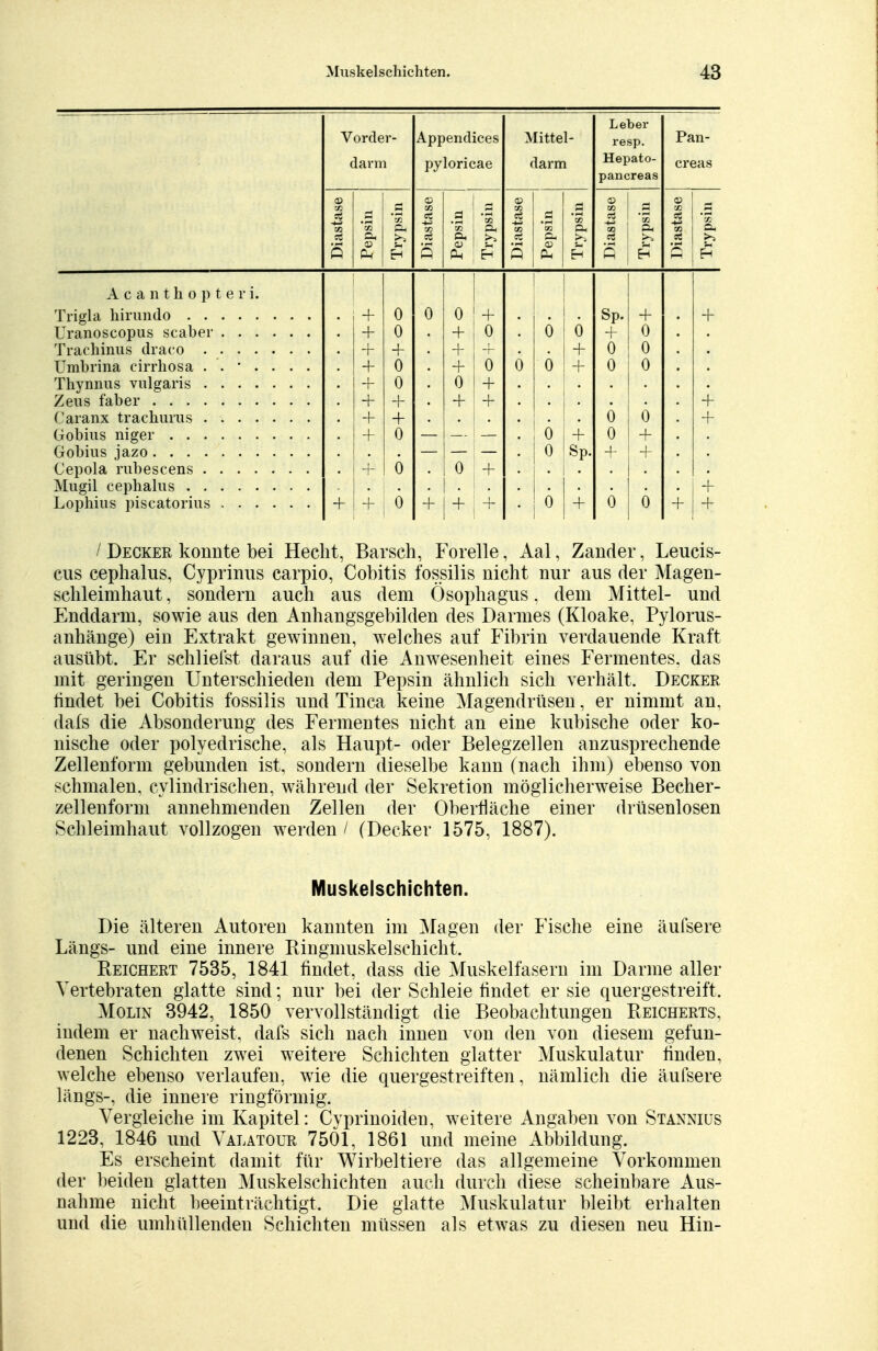Vorder- darm Appendices pyloricae Mittel- darm Leber resp. Hepato- pancreas Pan- creas Diastase Pepsin Trypsin J Diastase Pepsin | Trypsin Pepsin Trypsin Diastase Trypsin Diastase .5 a. A c a n t h o p t e r i. + 0 0 + SP. + + + 0 i 0 6 o + 0 + + + 0 0 + 0 0 ( ) 6 + 0 0 Thynnus vulgaris + 0 0 + + + + + i + 0 0 + + 0 0 0 + !0 4- + Cepola rubescens + 0 0 + • Lophius piscatorius + + 0 * + + 0 + 0 0 i / Decker konnte bei Hecht, Barsch, Forelle, Aal, Zander, Leucis- cus cephalus, Cyprinus carpio, Cobitis fossilis nicht nur aus der Magen- schleimhaut , sondern auch aus dem Ösophagus, dem Mittel- und Enddarm, sowie aus den Anhangsgebilden des Darmes (Kloake, Pylorus- anhänge) ein Extrakt gewinnen, welches auf Fibrin verdauende Kraft ausübt. Er schliefst daraus auf die Anwesenheit eines Fermentes, das mit geringen Unterschieden dem Pepsin ähnlich sich verhält. Decker lindet bei Cobitis fossilis und Tinea keine Magendrüsen, er nimmt an, dafs die Absonderung des Fermentes nicht an eine kubische oder ko- nische oder polyedrische, als Haupt- oder Belegzellen anzusprechende Zellenform gebunden ist, sondern dieselbe kann (nach ihm) ebenso von schmalen, cylindrischen, während der Sekretion möglicherweise Becher- zellenform annehmenden Zellen der Oberfläche einer drüsenlosen Schleimhaut vollzogen werden / (Decker 1575, 1887). Muskelschichten. Die älteren Autoren kannten im Magen der Fische eine äufsere Längs- und eine innere Ringmuskelschicht. Reichert 7535, 1841 findet, dass die Muskelfasern im Darme aller Yertebraten glatte sind; nur bei der Schleie findet er sie quergestreift, Moltn 3942, 1850 vervollständigt die Beobachtungen PvEICHERTS, indem er nachweist, dafs sich nach innen von den von diesem gefun- denen Schichten zwei weitere Schichten glatter Muskulatur finden, welche ebenso verlaufen, wie die quergestreiften, nämlich die äufsere längs-, die innere ringförmig. Vergleiche im Kapitel: Cyprinoiden, weitere Angaben von Stannius 1223, 1846 und Valatour 7501, 1861 und meine Abbildung. Es erscheint damit für Wirbeltiere das allgemeine Vorkommen der beiden glatten Muskelschichten auch durch diese scheinbare Aus- nahme nicht beeinträchtigt. Die glatte Muskulatur bleibt erhalten und die umhüllenden Schichten müssen als etwas zu diesen neu Hin-