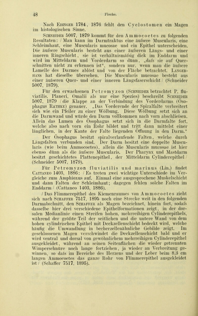 Nach Edinger 1784, 1876 fehlt den Cyclo st omen ein Magen im histologischen Sinne. Schneider 5007, 1879 kommt für den Ammocoetes zu folgenden Resultaten: / Man kann im Darmtraktus eine äufsere Muscularis, eine Schleimhaut, eine Muscularis mucosae und ein Epithel unterscheiden. Die äufsere Muscularis besteht aus einer äufseren Längs- und einer inneren Ringschicht, sie ist verhältnismäfsig dick im Enddarm und wird im Mitteldarm und Vorderdarm so dünn, „dafs sie auf Quer- schnitten nicht zu erkennen ist, sondern nur, wenn man die äufsere Lamelle des Darmes ablöst und von der Fläche betrachtet, Langer- hans hat dieselbe übersehen. Die Muscularis mucosae besteht aus einer äulseren Quer- und einer inneren Längsfaserschicht / (Schneider 5007, 1879). Für den erwachsenen Petromyzon (Schneider betrachtet P. flu- viatilis, Pianeri, Omalii als nur eine Spezies) beschreibt Schneider 5007, 1879 / die Klappe an der Verbindung des Vorderdarms (Öso- phagus Rathke) genauer. „Das Vorderende der Spiralfalte verbreitert sich wie ein Pfeiler zu einer Wölbung. Diese Wölbung setzt sich an die Darmwand und würde den Darm vollkommen nach vorn abschliefsen. Allein das Lumen des Ösophagus setzt sich in die Darmfalte fort, welche also nach vorn ein Rohr bildet und tritt dann mittelst einer länglichen, in der Kante der Falte liegenden Öffnung in den Darm. Der Ösophagus besitzt spiralverlaufende Falten, welche durch Längsfalten verbunden sind. Der Darm besitzt eine doppelte Muscu- laris (wie beim Ammocoetes), allein die Muscularis mucosae ist hier ebenso dünn als die äufsere Muscularis. Der Pharynx und Mastdarm besitzt geschichtetes Plattenepithel, der Mitteldarm Cylinderepithel (Schneider 5007, 1879). Für Petromyzon fluviatilis und marinus (Lin.) findet Cattaneo 1403, 1886: /Es treten zwei wichtige Unterschiede im Ver- gleiche zum Amphioxus auf. Einmal eine ausgesprochene Muskel Schicht und dann Falten der Schleimhaut; dagegen fehlen solche Falten im Enddarm / (Cattaneo 1403, 1886). / Das Flimmerepithel des Kiemenraumes von Ammocoetes zieht sich nach Schaffer 7517, 1895 noch eine Strecke weif in den folgenden Darmabschnitt, den Schaffer als Magen bezeichnet, hinein fort, sodafs dasselbe hier drei verschiedene Epithelformationen zeigt, in der dor- salen Medianlinie einen Streifen hohen, mehrreihigen Cylinderepithels, während der gröfste Teil der seitlichen und die untere Wand von dem hohen cylindrischen Epithel mit Deckzellenschicht bedeckt wird, welche häufig die Umwandlung in becherzellenähnliche Gebilde zeigt. Im geschlossenen Magen verschwindet die Deckzellenschicht bald und er wird ventral und dorsal von gewöhnlichem mehrreihigen Cylinderepithel ausgekleidet, während an seinen Seitenflächen die wieder getrennten Wimperschnüre noch lange fortziehen, ja wieder an Verbreitung ge- winnen, so dals im Bereiche des Herzens und der Leber beim 8,3 cm langen Ammocoetes das ganze Rohr von Flimmerepithel ausgekleidet ist / (Schaffer 7517, 1895).