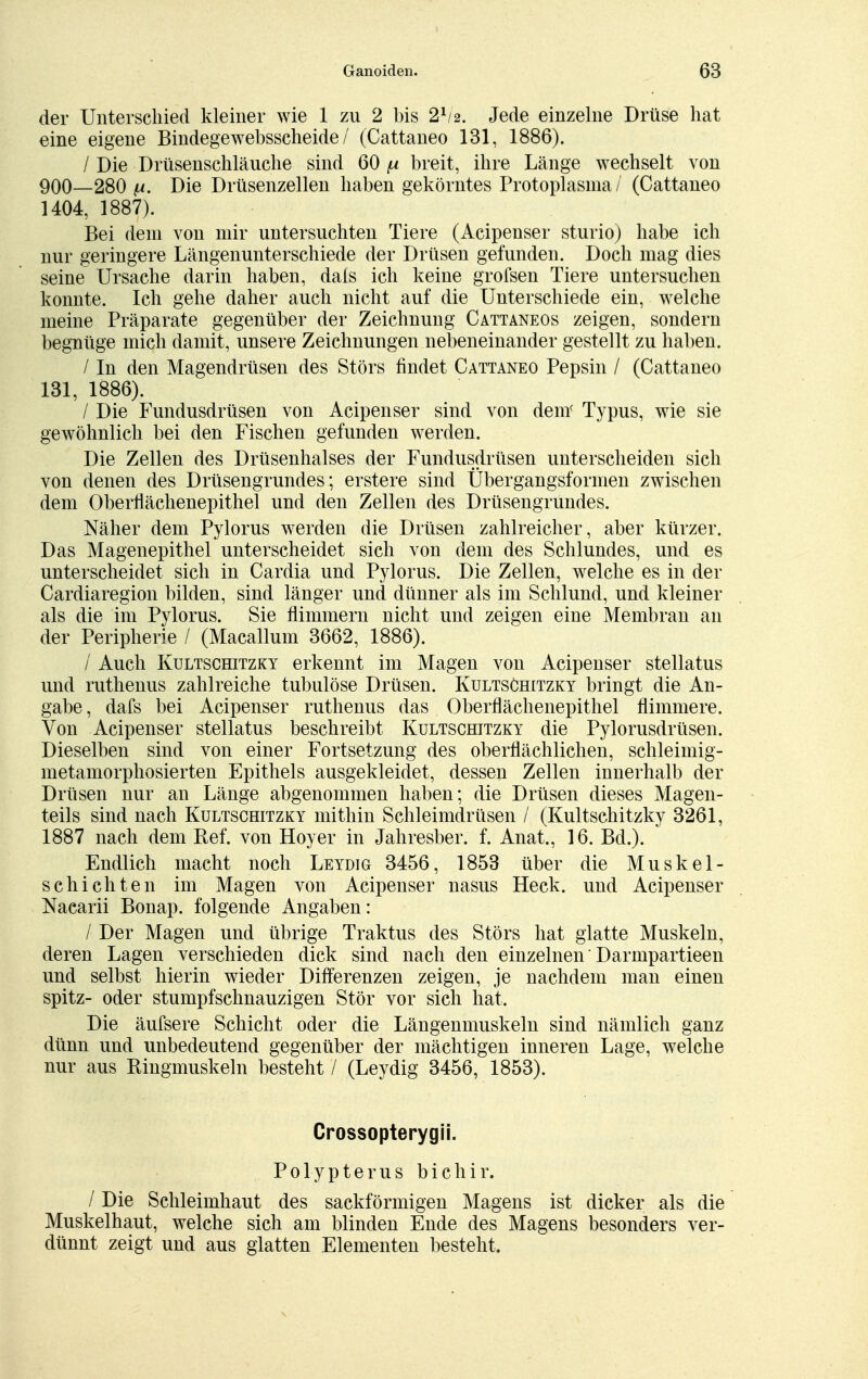 der Unterschied kleiner wie 1 zu 2 bis 21/2. Jede einzelne Drüse hat eine eigene Bindegewebsscheide / (Cattaneo 131, 1886). / Die Drüsenschläuche sind 60 [a breit, ihre Länge wechselt von 900—280 {t. Die Drüsenzellen haben gekörntes Protoplasma/ (Cattaneo 1404, 1887). Bei dem von mir untersuchten Tiere (Acipenser sturio) habe ich nur geringere Längenunterschiede der Drüsen gefunden. Doch mag dies seine Ursache darin haben, dais ich keine grofsen Tiere untersuchen konnte. Ich gehe daher auch nicht auf die Unterschiede ein, welche nieine Präparate gegenüber der Zeichnung Cattaneos zeigen, sondern begnüge mich damit, unsere Zeichnungen nebeneinander gestellt zu haben. / In den Magendrüsen des Störs findet Cattaneo Pepsin / (Cattaneo 131, 1886). / Die Fundusdrüsen von Acipenser sind von dem' Typus, wie sie gewöhnlich bei den Fischen gefunden werden. Die Zellen des Drüsenhalses der Fundusdrüsen unterscheiden sich von denen des Drüsengrundes; erstere sind Übergangsformen zwischen dem Oberflächenepithel und den Zellen des Drüsengrundes. Näher dem Pylorus werden die Drüsen zahlreicher, aber kürzer. Das Magenepithel unterscheidet sich von dem des Schlundes, und es unterscheidet sich in Cardia und Pylorus. Die Zellen, welche es in der Cardiaregion bilden, sind länger und dünner als im Schlund, und kleiner als die im Pylorus. Sie flimmern nicht und zeigen eine Membran an der Peripherie / (Macallum 3662, 1886). / Auch Kultschitzky erkennt im Magen von Acipenser stellatus und ruthenus zahlreiche tubulöse Drüsen. Kultschitzky bringt die An- gabe , dafs bei Acipenser ruthenus das Oberflächenepithel flimmere. Von Acipenser stellatus beschreibt Kultschitzky die Pylorusdrüsen. Dieselben sind von einer Fortsetzung des oberflächlichen, schleimig- metamorphosierten Epithels ausgekleidet, dessen Zellen innerhalb der Drüsen nur an Länge abgenommen haben; die Drüsen dieses Magen- teils sind nach Kultschitzky mithin Schleimdrüsen / (Kultschitzky 3261, 1887 nach dem Ref. von Hoyer in Jahresber. f. Anat., 16. Bd.). Endlich macht noch Leydig 3456, 1853 über die Muskel- schichten im Magen von Acipenser nasus Heck, und Acipenser Nacarii Bonap. folgende Angaben: / Der Magen und übrige Traktus des Störs hat glatte Muskeln, deren Lagen verschieden dick sind nach den einzelnen' Darmpartieen und selbst hierin wieder Differenzen zeigen, je nachdem man einen spitz- oder stumpfschnauzigen Stör vor sich hat. Die äufsere Schicht oder die Längenmuskeln sind nämlich ganz dünn und unbedeutend gegenüber der mächtigen inneren Lage, welche nur aus Bingmuskeln besteht / (Leydig 3456, 1853). Crossopterygii. Polypterus bichir. / Die Schleimhaut des sackförmigen Magens ist dicker als die Muskelhaut, welche sich am blinden Ende des Magens besonders ver- dünnt zeigt und aus glatten Elementen besteht.