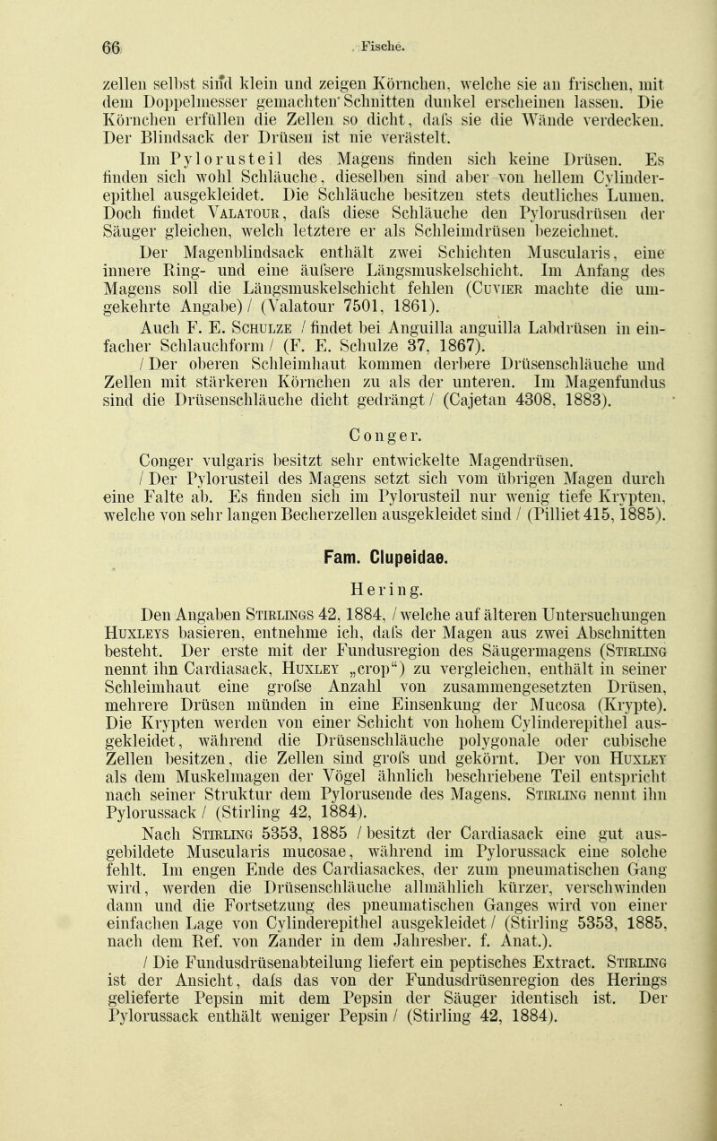 zellen selbst sind klein und zeigen Körnchen, welche sie an frischen, mit dem Doppelmesser gemachten'Schnitten dunkel erscheinen lassen. Die Körnchen erfüllen die Zellen so dicht, dafs sie die Wände verdecken. Der Blindsack der Drüsen ist nie verästelt. Im Pylorusteil des Magens finden sich keine Drüsen. Es finden sich wohl Schläuche, dieselben sind aber von hellem Cylinder- epithel ausgekleidet. Die Schläuche besitzen stets deutliches Lumen. Doch findet Valatour, dafs diese Schläuche den Pylorusdrüsen der Säuger gleichen, welch letztere er als Schleimdrüsen bezeichnet. Der Magenblindsack enthält zwei Schichten Muscularis, eine innere Ring- und eine äufsere Längsmuskelschicht. Im Anfang des Magens soll die Längsmuskelschicht fehlen (Cuvier machte die um- gekehrte Angabe) / (Valatour 7501, 1861). Auch F. E. Schulze / findet bei Anguilla anguilla Labdrüsen in ein- facher Schlauchform / (F. E. Schulze 37, 1867). / Der oberen Schleimhaut kommen derbere Drüsenschläuche und Zellen mit stärkeren Körnchen zu als der unteren. Im Magenfundus sind die Drüsenschläuche dicht gedrängt / (Cajetan 4308, 1883). C o n g e r. Conger vulgaris besitzt sehr entwickelte Magendrüsen. / Der Pylorusteil des Magens setzt sich vom übrigen Magen durch eine Falte ab. Es finden sich im Pylorusteil nur wenig tiefe Krypten, welche von sehr langen Becherzellen ausgekleidet sind / (Pilliet 415,1885). Farn. Clupeidae. Hering. Den Angaben Stirlings 42,1884, / welche auf älteren Untersuchungen Huxleys basieren, entnehme ich, dafs der Magen aus zwei Abschnitten besteht. Der erste mit der Fundusregion des Säugermagens (Stielen* nennt ihn Cardiasack, Huxley „crop) zu vergleichen, enthält in seiner Schleimhaut eine grofse Anzahl von zusammengesetzten Drüsen, mehrere Drüsen münden in eine Einsenkung der Mucosa (Krypte). Die Krypten werden von einer Schicht von hohem Cylinderepithel aus- gekleidet, während die Drüsenschläuche polygonale oder cubische Zellen besitzen, die Zellen sind grofs und gekörnt. Der von Huxley als dem Muskelmagen der Vögel ähnlich beschriebene Teil entspricht nach seiner Struktur dem Pylorusende des Magens. Stirling nennt ihn Pylorussack / (Stirling 42, 1884). Nach Stirling 5353, 1885 / besitzt der Cardiasack eine gut aus- gebildete Muscularis mucosae, während im Pylorussack eine solche fehlt. Im engen Ende des Cardiasackes, der zum pneumatischen Gang wird, werden die Drüsenschläuche allmählich kürzer, verschwinden dann und die Fortsetzung des pneumatischen Ganges wird von einer einfachen Lage von Cylinderepithel ausgekleidet / (Stirling 5353, 1885, nach dem Bef. von Zander in dem Jahresber. f. Anat.). / Die Fundusdrüsenabteilung liefert ein peptisches Extract. Stirlejg ist der Ansicht, dafs das von der Fundusdrüsenregion des Herings gelieferte Pepsin mit dem Pepsin der Säuger identisch ist. Der Pylorussack enthält weniger Pepsin / (Stirling 42, 1884).