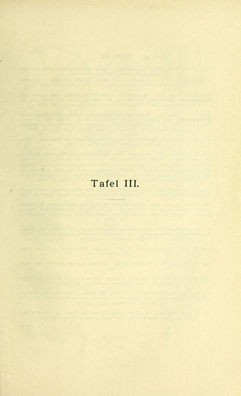Tafel III.