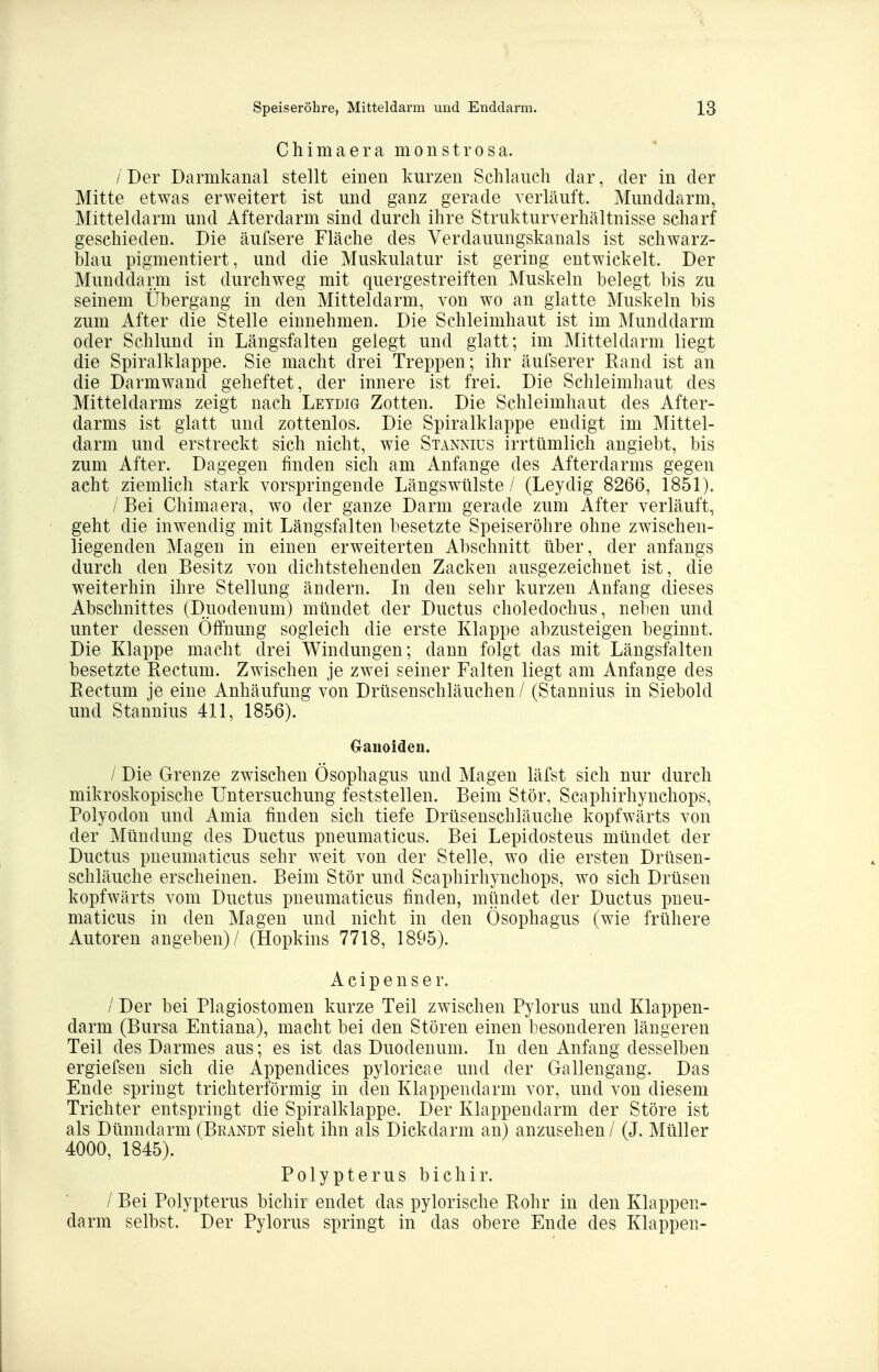 Chimaera monstrosa. /Der Darmkanal stellt einen kurzen Schlauch dar, der in der Mitte etwas erweitert ist und ganz gerade verläuft. Munddarm, Mitteldarm und Afterdarm sind durch ihre Strukturverhältnisse scharf geschieden. Die äufsere Fläche des Verdauungskanals ist schwarz- blau pigmentiert, und die Muskulatur ist gering entwickelt. Der Munddarm ist durchweg mit quergestreiften Muskeln belegt bis zu seinem Übergang in den Mitteldarm, von wo an glatte Muskeln bis zum After die Stelle einnehmen. Die Schleimhaut ist im Munddarm oder Schlund in Längsfalten gelegt und glatt; im Mitteldarm liegt die Spiralklappe. Sie macht drei Treppen; ihr äufserer Rand ist an die Darm wand geheftet, der innere ist frei. Die Schleimhaut des Mitteldarms zeigt nach Letdig Zotten. Die Schleimhaut des After- darms ist glatt und zottenlos. Die Spiralklappe endigt im Mittel- darm und erstreckt sich nicht, wie Stannius irrtümlich angiebt, bis zum After. Dagegen finden sich am Anfange des Afterdarms gegen acht ziemlich stark vorspringende Längswülste / (Leydig 8266, 1851). / Bei Chimaera, wo der ganze Darm gerade zum After verläuft, geht die inwendig mit Längsfalten besetzte Speiseröhre ohne zwischen- liegenden Magen in einen erweiterten Abschnitt über, der anfangs durch den Besitz von dichtstehenden Zacken ausgezeichnet ist, die weiterhin ihre Stellung ändern. In den sehr kurzen Anfang dieses Abschnittes (Duodenum) mündet der Ductus choledochus, neben und unter dessen Öffnung sogleich die erste Klappe abzusteigen beginnt. Die Klappe macht drei Windungen; dann folgt das mit Längsfalten besetzte Rectum. Zwischen je zwei seiner Falten liegt am Anfange des Rectum je eine Anhäufung von Drüsenschläuchen / (Stannius in Siebold und Stannius 411, 1856). Ganoiden. / Die Grenze zwischen Ösophagus und Magen läfst sich nur durch mikroskopische Untersuchung feststellen. Beim Stör, Scaphirhynchops, Polyodon und Amia finden sich tiefe Drüsenschläuche kopfwärts von der Mündung des Ductus pneumaticus. Bei Lepidosteus mündet der Ductus pneumaticus sehr weit von der Stelle, wo die ersten Drüsen- schläuche erscheinen. Beim Stör und Scaphirhynchops, wo sich Drüsen kopfwärts vom Ductus pneumaticus finden, mündet der Ductus pneu- maticus in den Magen und nicht in den Ösophagus (wie frühere Autoren angeben)/ (Hopkins 7718, 1895). A c i p e n s e r. / Der bei Plagiostomen kurze Teil zwischen Pylorus und Klappen- darm (Bursa Entiana), macht bei den Stören einen besonderen längeren Teil des Darmes aus; es ist das Duodenum. In den Anfang desselben ergiefsen sich die Appendices pyloricae und der Gallengang. Das Ende springt trichterförmig in den Klappendarm vor, und von diesem Trichter entspringt die Spiralklappe. Der Klappendarm der Störe ist als Dünndarm (Brandt sieht ihn als Dickdarm an) anzusehen / (J. Müller 4000, 1845). Polypterus bichir. / Bei Polypterus bichir endet das pylorische Rohr in den Klappen- darm selbst. Der Pylorus springt in das obere Ende des Klappen-