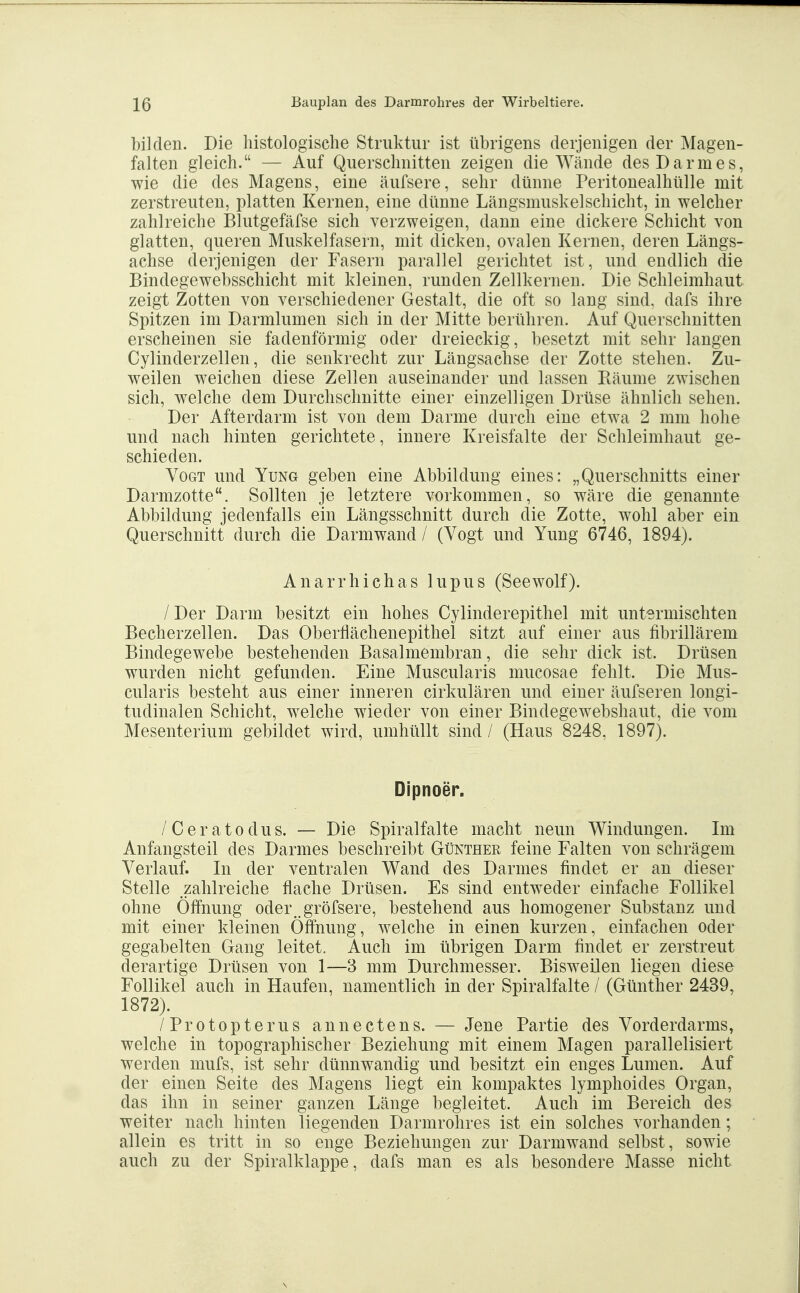 bilden. Die histologisclie Struktur ist übrigens derjenigen der Magen- falten gleich. — Auf Querschnitten zeigen die Wände des Darmes, wie die des Magens, eine äufsere, sehr dünne Peritonealhülle mit zerstreuten, platten Kernen, eine dünne Längsmuskelschicht, in welcher zahlreiche Blutgefäfse sich verzweigen, dann eine dickere Schicht von glatten, queren Muskelfasern, mit dicken, ovalen Kernen, deren Längs- achse derjenigen der Fasern parallel gerichtet ist, und endlich die Bindegewebsschicht mit kleinen, runden Zellkernen. Die Schleimhaut zeigt Zotten von verschiedener Gestalt, die oft so lang sind, dafs ihre Spitzen im Darmlumen sich in der Mitte berühren. Auf Querschnitten erscheinen sie fadenförmig oder dreieckig, besetzt mit sehr langen Cylinderzellen, die senkrecht zur Längsachse der Zotte stehen. Zu- weilen weichen diese Zellen auseinander und lassen Räume zwischen sich, welche dem Durchschnitte einer einzelligen Drüse ähnlich sehen. Der Afterdarm ist von dem Darme durch eine etwa 2 mm hohe und nach hinten gerichtete, innere Kreisfalte der Schleimhaut ge- schieden. Vogt und Yung geben eine Abbildung eines: „Querschnitts einer Darmzotte. Sollten je letztere vorkommen, so wäre die genannte Abbildung jedenfalls ein Längsschnitt durch die Zotte, wohl aber ein Querschnitt durch die Darm wand / (Vogt und Yung 6746, 1894). Anarrhichas lupus (Seewolf). / Der Darm besitzt ein hohes Cylinderepithel mit untermischten Becherzellen. Das Oberflächenepithel sitzt auf einer aus fibrillärem Bindegewebe bestehenden Basalmembran, die sehr dick ist. Drüsen wurden nicht gefunden. Eine Muscularis mucosae fehlt. Die Mus- cularis besteht aus einer inneren cirkulären und einer äufseren longi- tudinalen Schicht, welche wieder von einer Bindegewebshaut, die vom Mesenterium gebildet wird, umhüllt sind / (Haus 8248, 1897). Dipnoer. /Ceratodus. — Die Spiralfalte macht neun Windungen. Im Anfangsteil des Darmes beschreibt Günther feine Falten von schrägem Verlauf. In der ventralen Wand des Darmes findet er an dieser Stelle zahlreiche flache Drüsen. Es sind entweder einfache Follikel ohne Öffnung oder .gröfsere, bestehend aus homogener Substanz und mit einer kleinen Öffnung, welche in einen kurzen, einfachen oder gegabelten Gang leitet. Auch im übrigen Darm findet er zerstreut derartige Drüsen von 1—3 mm Durchmesser. Bisweilen liegen diese Follikel auch in Haufen, namentlich in der Spiralfalte / (Günther 2439, 1872). /Protopterus annectens. — Jene Partie des Vorderdarms, welche in topographischer Beziehung mit einem Magen parallelisiert werden mufs, ist sehr dünnwandig und besitzt ein enges Lumen. Auf der einen Seite des Magens liegt ein kompaktes lymphoides Organ, das ihn in seiner ganzen Länge begleitet. Auch im Bereich des weiter nach hinten liegenden Darmrohres ist ein solches vorhanden; allein es tritt in so enge Beziehungen zur Darmwand selbst, sowie auch zu der Spiralklappe, dafs man es als besondere Masse nicht