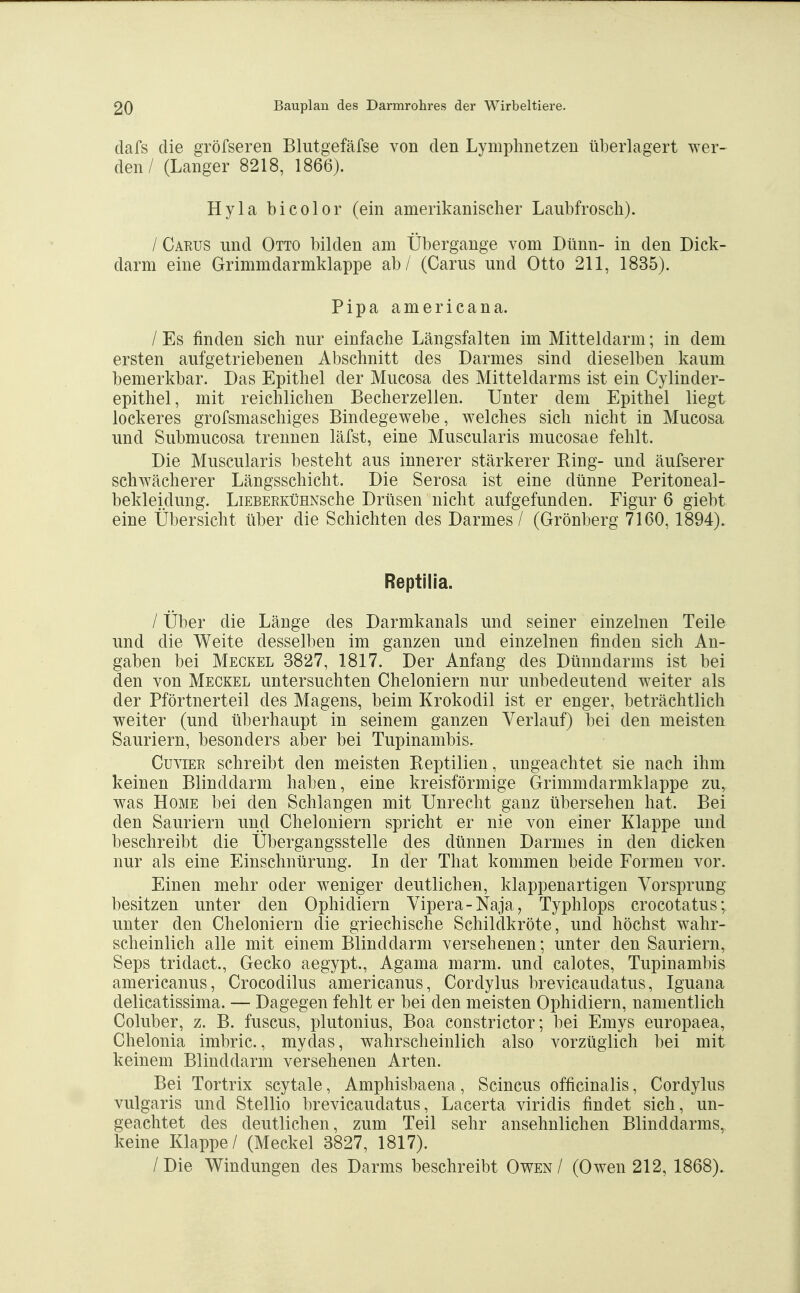 dafs die gröfseren Bliitgefäfse von den Lymplmetzen überlagert wer- den / (Langer 8218, 1866). Hyla bicolor (ein amerikanischer Laubfrosch). / Carus und Otto bilden am Übergange vom Dünn- in den Dick- darm eine Grimmdarmklappe ab / (Carus und Otto 211, 1835). Pipa americana. / Es finden sich nur einfache Längsfalten im Mitteldarm; in dem ersten aufgetriebenen Abschnitt des Darmes sind dieselben kaum bemerkbar. Das Epithel der Mucosa des Mitteldarms ist ein Cylinder- epithel, mit reichlichen Becherzellen. Unter dem Epithel liegt lockeres grofsmaschiges Bindegewebe, welches sich nicht in Mucosa und Submucosa trennen läfst, eine Muscularis mucosae fehlt. Die Muscularis besteht aus innerer stärkerer Ring- und äufserer schwächerer Längsschicht. Die Serosa ist eine dünne Peritoneal- bekleidung. LiEBERKüHNsche Drüsen nicht aufgefunden. Figur 6 giebt eine Übersicht über die Schichten des Darmes / (Grönberg 7160,1894). Reptilia. / Über die Länge des Darmkanals und seiner einzelnen Teile und die Weite desselben im ganzen und einzelnen finden sich An- gaben bei Meckel 3827, 1817. Der Anfang des Dünndarms ist bei den von Meckel untersuchten Cheloniern nur unbedeutend weiter als der Pförtnerteil des Magens, beim Krokodil ist er enger, beträchtlich weiter (und überhaupt in seinem ganzen Verlauf) bei den meisten Sauriern, besonders aber bei Tupinambis. GuviER schreibt den meisten Reptilien, ungeachtet sie nach ihm keinen Blinddarm haben, eine kreisförmige Grimmdarmklappe zu, was Home bei den Schlangen mit Unrecht ganz übersehen hat. Bei den Sauriern und Cheloniern spricht er nie von einer Klappe und beschreibt die Übergangsstelle des dünnen Darmes in den dicken nur als eine Einschnürung. In der That kommen beide Formen vor. Einen mehr oder weniger deutlichen, klappenartigen Vorsprung besitzen unter den Ophidiern Vipera-Naja, Typhlops crocotatus; unter den Cheloniern die griechische Schildkröte, und höchst wahr- scheinlich alle mit einem Blinddarm versehenen; unter den Sauriern, Seps tridact., Gecko aegypt., Agama marm. und calotes, Tupinambis americanus, Crocodilus americanus, Cordylus brevicaudatus, Iguana delicatissima. — Dagegen fehlt er bei den meisten Ophidiern, namentlich Coluber, z. B. fuscus, plutonius, Boa constrictor; bei Emys europaea, Chelonia imbric., myclas, wahrscheinlich also vorzüglich bei mit keinem Blinddarm versehenen Arten. Bei Tortrix scytale, Amphisbaena, Scincus officinalis, Cordylus vulgaris und Stellio brevicaudatus, Lacerta viridis findet sich, un- geachtet des deutlichen, zum Teil sehr ansehnlichen Blinddarms, keine Klappe/ (Meckel 3827, 1817). / Die Windungen des Darms beschreibt Owen / (Owen 212, 1868).