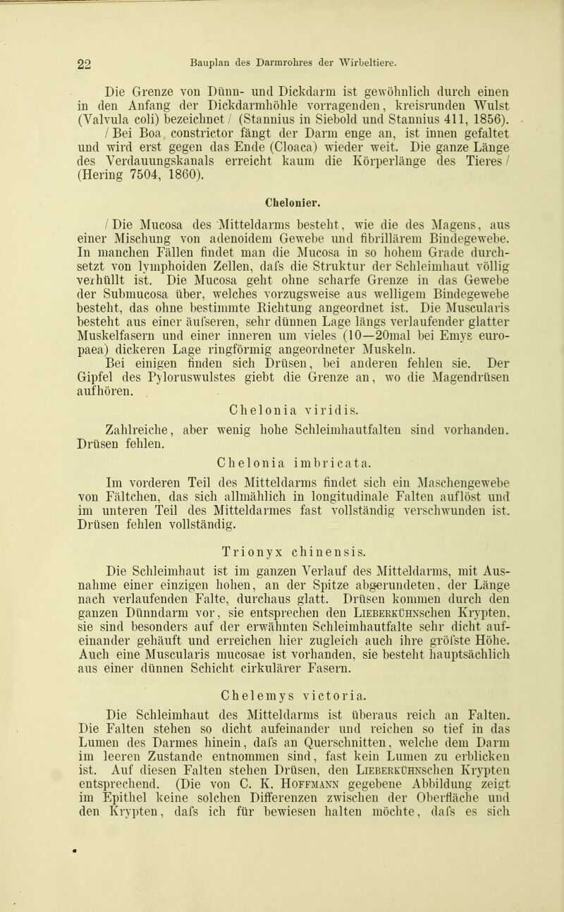 Die Grenze von Dünn- und Dickdarm ist gewöhnlich durch einen in den Anfang der Dickdarmhöhle vorragenden, kreisrunden Wulst (Valvula coli) bezeichnet / (Stannius in Siebold und Stannius 411, 1856). / Bei Boa constrictor fängt der Darm enge an, ist innen gefaltet und wird erst gegen das Ende (Cloaca) wieder weit. Die ganze Länge des Verdauungskanals erreicht kaum die Körperlänge des Tieres / (Hering 7504, 1860). Chelonier. / Die Mucosa des Mitteldarms besteht, wie die des Magens, aus einer Mischung von adenoidem Gewebe und fibrillärem Bindegewebe. In manchen Fällen findet man die Mucosa in so hohem Grade durch- setzt von lymphoiden Zellen, dafs die Struktur der Schleimhaut völlig verhüllt ist. Die Mucosa geht ohne scharfe Grenze in das Gewebe der Submucosa über, welches vorzugsweise aus welligem Bindegewebe besteht, das ohne bestimmte Richtung angeordnet ist. Die Muscularis besteht aus einer äufseren, sehr dünnen Lage längs verlaufender glatter Muskelfasern und einer inneren um vieles (10—20mal bei Emys euro- paea) dickeren Lage ringförmig angeordneter Muskeln. Bei einigen finden sich Drüsen, bei anderen fehlen sie. Der Gipfel des Pyloruswulstes giebt die Grenze an, wo die Magendrüsen aufhören. Chelonia viridis. Zahlreiche, aber wenig hohe Schleimhautfalten sind vorhanden. Drüsen fehlen. Chelonia imbricata. Im vorderen Teil des Mitteldarms findet sich ein Maschengewebe von Fältchen, das sich allmählich in longitudinale Falten auflöst und im unteren Teil des Mitteldarmes fast vollständig verschwunden ist. Drüsen fehlen vollständig. Trionyxchinensis. Die Schleimhaut ist im ganzen Verlauf des Mitteldarms, mit Aus- nahme einer einzigen hohen, an der Spitze abgerundeten, der Länge nach verlaufenden Falte, durchaus glatt. Drüsen kommen durch den ganzen Dünndarm vor, sie entsprechen den LiEBERKüHNschen Krypten, sie sind besonders auf der erwähnten Schleimhautfalte sehr dicht auf- einander gehäuft und erreichen hier zugleich auch ihre gröfste Höhe. Auch eine Muscularis mucosae ist vorhanden, sie besteht hauptsächlich aus einer dünnen Schicht cirkulärer Fasern. Chelemysvictoria. Die Schleimhaut des Mitteldarms ist überaus reich an Falten. Die Falten stehen so dicht aufeinander und reichen so tief in das Lumen des Darmes hinein, dafs an Querschnitten, welche dem Darm im leeren Zustande entnommen sind, fast kein Lumen zu erblicken ist. Auf diesen Falten stehen Drüsen, den LiEBERKüHNSchen Krypten entsprechend. (Die von C. K. Hoffmann gegebene Abbildung zeigt im Epithel keine solchen Differenzen zwischen der Oberfläche und den Krypten, dafs ich für bewiesen halten möchte, dafs es sich