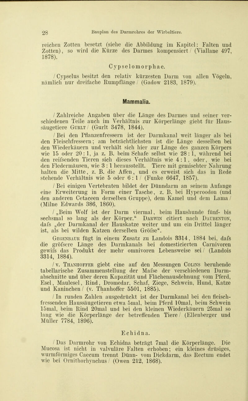 reichen Zotten besetzt (siehe die Abbildung im Kapitel: Falten und Zotten), so wird die Kürze des Darmes kompensiert / (Viallane 497, 1878). Cypselomorphae. / Cypselus besitzt den relativ kürzesten Darm von allen Vögeln, nämlich nur dreifache Rumpflänge / (Gadow 2183, 1879). Mammalia. / Zahlreiche Angaben über die Länge des Darmes und seiner ver- schiedenen Teile auch im Verhältnis zur Körperlänge giebt für Haus- säugetiere GuRLT/ (Gurlt 3478, 1844). / Bei den Pflanzenfressern ist der Darmkanal weit länger als bei den Fleischfressern; am beträchtlichsten ist die Länge desselben bei den Wiederkäuern und verhält sich hier zur Länge des ganzen Körpers wie 15 oder 20: 1, ja z. B. beim Schafe selbst wie 28: 1, während bei den reifsenden Tieren sich dieses Verhältnis wie 4:1, oder, wie bei den Fledermäusen, wie 3 :1 herausstellt. Tiere mit gemischter Nahrung halten die Mitte, z. B. die Affen, und es erweist sich das in Rede stehende Verhältnis wie 5 oder 6:1/ (Funke 6647, 1857). / Bei einigen Vertebraten bildet der Dünndarm an seinem Anfange eine Erweiterung in Form einer Tasche, z. B. bei Hyperoodon (und den anderen Cetaceen derselben Gruppe), dem Kamel und dem Lama / (Milne Edwards 386, 1860). /„Beim Wolf ist der Darm viermal, beim Haushunde fünf- bis sechsmal so lang als der Körper. Darwin citiert nach Daubenton, dafs „der Darmkanal der Hauskatze weiter und um ein Drittel länger ist, als bei wilden Katzen derselben Gröfse. Gegenbaur fügt in einem Zusatz zu Landois 3314, 1884 bei, dafs die gröfsere Länge des Darmkanals bei domesticierten Garnivoren gewifs das Produkt der mehr Omnivoren Lebensweise sei/ (Landois 3314, 1884). /v. Thanhoffer giebt eine auf den Messungen Colins beruhende tabellarische Zusammenstellung der Mafse der verschiedenen Darm- abschnitte und über deren Kapazität und Flächenausdehnung vom Pferd, Esel, Maulesel, Rind, Dromedar, Schaf, Ziege, Schwein, Hund, Katze und Kaninchen / (v. Thanhoffer 5501, 1885). / In runden Zahlen ausgedrückt ist der Darmkanal bei den fleisch- fressenden Haussäugetieren etwa 5mal, beim Pferd lOmal, beim Schwein 15mal, beim Rind 20mal und bei den kleinen Wiederkäuern 25mal so lang wie die Körperlänge der betreffenden Tiere / (Ellenberger und Müller 7784, 1896). E chidna. / Das Darmrohr von Echidna beträgt 7mal die Körperlänge. Die Mucosa ist nicht in valvuläre Falten erhoben; ein kleines drüsiges, wurmförmiges Caecum trennt Dünn- vom Dickdarm, das Rectum endet wie bei Ornithorhynchus / (Owen 212, 1868).