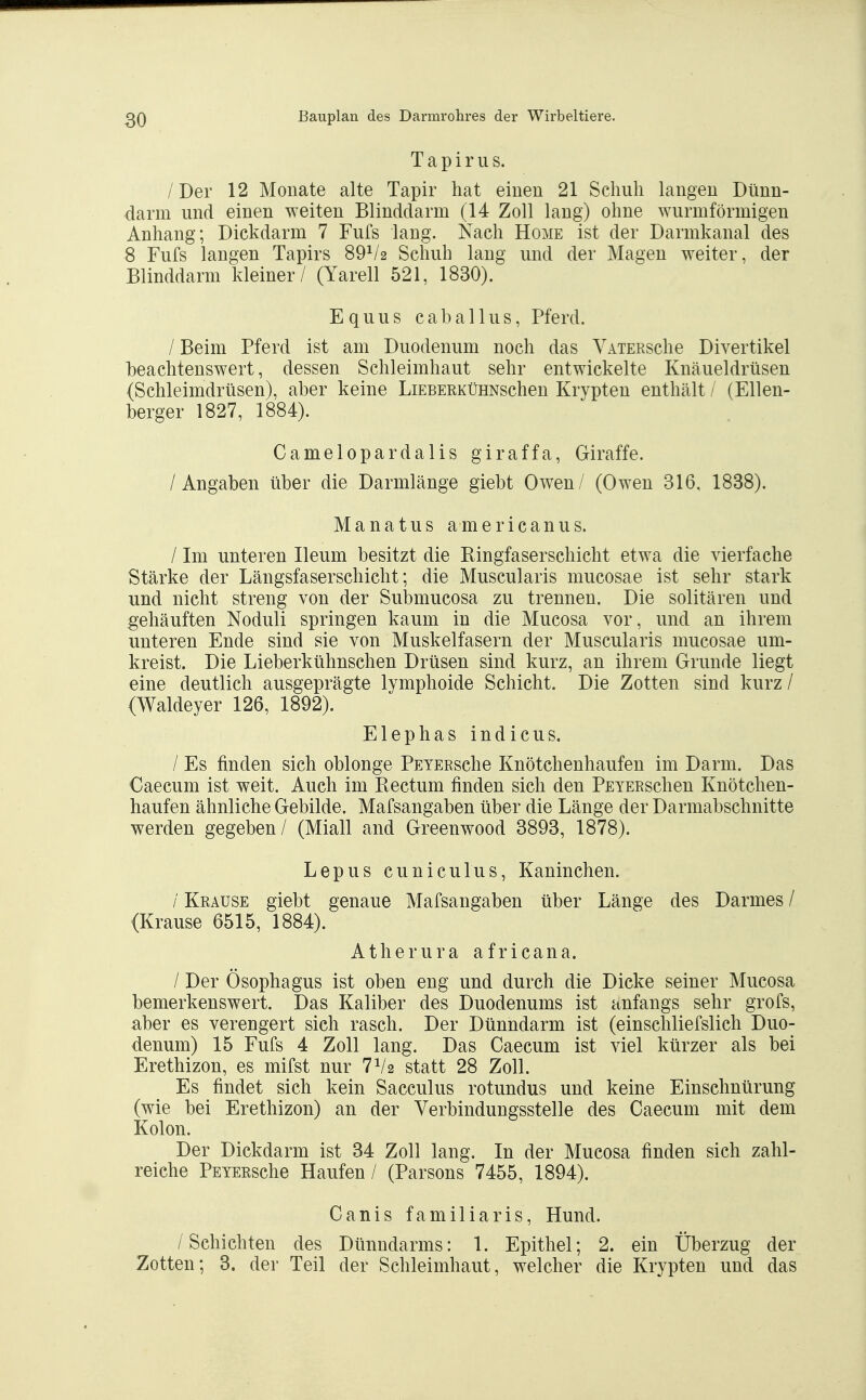 T a p i r II s. /Der 12 Monate alte Tapir hat einen 21 Schuh langen Dünn- darm und einen weiten Blinddarm (14 Zoll lang) ohne wurmförmigen Anhang; Dickdarm 7 Fufs lang. Nach Home ist der Darmkanal des 8 Fufs langen Tapirs 89V2 Schuh lang und der Magen weiter, der Elinddarm kleiner / (Yarell 521, 1830). Equus cal)allus, Pferd. / Beim Pferd ist am Duodenum noch das VATERSche Divertikel beachtenswert, dessen Schleimhaut sehr entwickelte Knäueldrüsen (Schleimdrüsen), aber keine LiEBERKüHNschen Krypten enthält / (Ellen- berger 1827, 1884). Camelopardalis giraffa, Giraffe. /Angaben über die Darmlänge giebt Owen/ (Owen 316, 1838). Manatus americanus. / Im unteren Ileum besitzt die Ringfaserschicht etwa die vierfache Stärke der Längsfaserschicht; die Muscularis mucosae ist sehr stark und nicht streng von der Sul3mucosa zu trennen. Die solitären und gehäuften Noduli springen kaum in die Mucosa vor, und an ihrem unteren Ende sind sie von Muskelfasern der Muscularis mucosae um- kreist. Die Lieberkühnschen Drüsen sind kurz, an ihrem Grunde liegt eine deutlich ausgeprägte lymphoide Schicht. Die Zotten sind kurz / (Waldeyer 126, 1892). Elephas indicus. / Es finden sich oblonge PsTERsche Knötchenhaufen im Darm. Das Caecum ist weit. Auch im Rectum finden sich den PEYERSchen Knötchen- haufen ähnliche Gebilde. Mafsangaben über die Länge der Darmabschnitte werden gegeben/ (Miall and Greenwood 3893, 1878). Lepus cuniculus, Kaninchen. / Krause giebt genaue Mafsangaben über Länge des Darmes / (Krause 6515, 1884). Atherura africana. / Der Ösophagus ist oben eng und durch die Dicke seiner Mucosa bemerkenswert. Das Kaliber des Duodenums ist anfangs sehr grofs, aber es verengert sich rasch. Der Dünndarm ist (einschliefslich Duo- denum) 15 Fufs 4 Zoll lang. Das Caecum ist viel kürzer als bei Erethizon, es mifst nur 7V2 statt 28 Zoll. Es findet sich kein Sacculus rotundus und keine Einschnürung (wie bei Erethizon) an der Verbindungsstelle des Caecum mit dem Kolon. Der Dickdarm ist 34 Zoll lang. In der Mucosa finden sich zahl- reiche PEYERsche Haufen / (Parsons 7455, 1894). Canis familiaris, Hund. /Schichten des Dünndarms: 1. Epithel; 2. ein Überzug der Zotten; 3. der Teil der Schleimhaut, welcher die Krypten und das