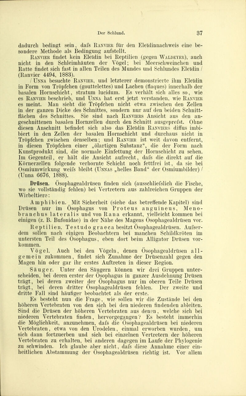 dadurch bedingt sein, dafs Ranvier für den Eleidinnachweis eine be- sondere Methode als Bedingung aufstellt. Ranvier findet kein Eleidin bei Reptilien (gegen Waldeyer), auch nicht in den Schleimhäuten der Vögel; bei Meerschweinchen und Ratte findet sich fast in allen Teilen des Mundes und Schlundes Eleidin / (Ranvier 4494, 1883). /Unna besuchte Ranvier, und letzterer demonstrierte ihm Eleidin in Form von Tröpfchen (gouttelettes) und Lachen (flaques) innerhalb der basalen Hornschicht, Stratum lucidum. Es verhält sich alles so, wie es Ranvier beschrieb, und Unna hat erst jetzt verstanden, wie Ranvier es meint. Man sieht die Tröpfchen nicht etwa zwischen den Zellen in der ganzen Dicke des Schnittes, sondern nur auf den beiden Schnitt- flächen des Schnittes. Sie sind nach Ranviers Ansicht aus den an- geschnittenen basalen Hornzellen durch den Schnitt ausgeprefst. Ohne diesen Anschnitt befindet sich also das Eleidin Ranviers diffus imbi- biert in den Zellen der basalen Hornschicht und durchaus nicht in Tröpfchen zwischen denselben; und Ranvier ist weit davon entfernt, in diesen Tröpfchen einer „ölartigen Substanz, die der Form nach Kunstprodukt sind, die normale Einfettung der Hornschicht zu sehen. Im Gegenteil, er hält die Ansicht aufrecht, dafs die direkt auf die Körnerzellen folgende verhornte Schicht noch fettfrei ist, da sie bei Osmiumwirkung weifs bleibt (Unnas „helles Band der Osmiumbilder) / (Unna 6676, 1888). Drüsen. Ösophagealdrüsen finden sich (ausschliefslich die Fische, wo sie vollständig fehlen) bei Vertretern aus zahlreichen Gruppen der Wirbeltiere: Amphibien.Mit Sicherheit (siehe das betreffende Kapitel) sind Drüsen nur im Ösophagus von Proteus anguineus, Meno- branchus lateralis und von Rana erkannt, vielleicht kommen bei einigen (z. B. Bufonidae) in der Nähe des Magens Ösophagealdrüsen vor. Reptilien. Testudograeca besitzt Ösophagealdrüsen. Aufser- dem sollen nach einigen Beobachtern bei manchen Schildkröten im untersten Teil des Ösophagus, eben dort beim Alligator Drüsen vor- kommen. Vögel. Auch bei den Vögeln, denen Ösophagealdrüsen all- gemein zukommen, findet sich Zunahme der Drüsenzahl gegen den Magen hin oder gar ihr erstes Auftreten in dieser Region. Säuger. Unter den Säugern können wir drei Gruppen unter- scheiden, bei deren erster der Ösophagus in ganzer Ausdehnung Drüsen trägt, bei deren zweiter der Ösophagus nur im oberen Teile Drüsen trägt, bei deren dritter Ösophagealdrüsen fehlen. Der zweite und dritte Fall sind häufiger beobachtet als der erste. Es besteht nun die Frage, wie sollen wir die Zustände bei den höheren Vertebraten von den sich bei den niederen findenden ableiten. Sind die Drüsen der höheren Vertebraten aus denen, welche sich bei niederen Vertebraten finden, hervorgegangen? Es besteht immerhin die Möglichkeit, anzunehmen, dafs die Ösophagealdrüsen bei niederen Vertebraten, etwa von den Urodelen, einmal erworben wurden, um sich dann fortzuerben und sich bei einzelnen Vertretern der höheren Vertebraten zu erhalten, bei anderen dagegen im Laufe der Phylogenie zu schwinden. Ich glaube aber nicht, dafs diese Annahme einer ein- heitlichen Abstammung der Ösophagealdrüsen richtig ist. Vor allem