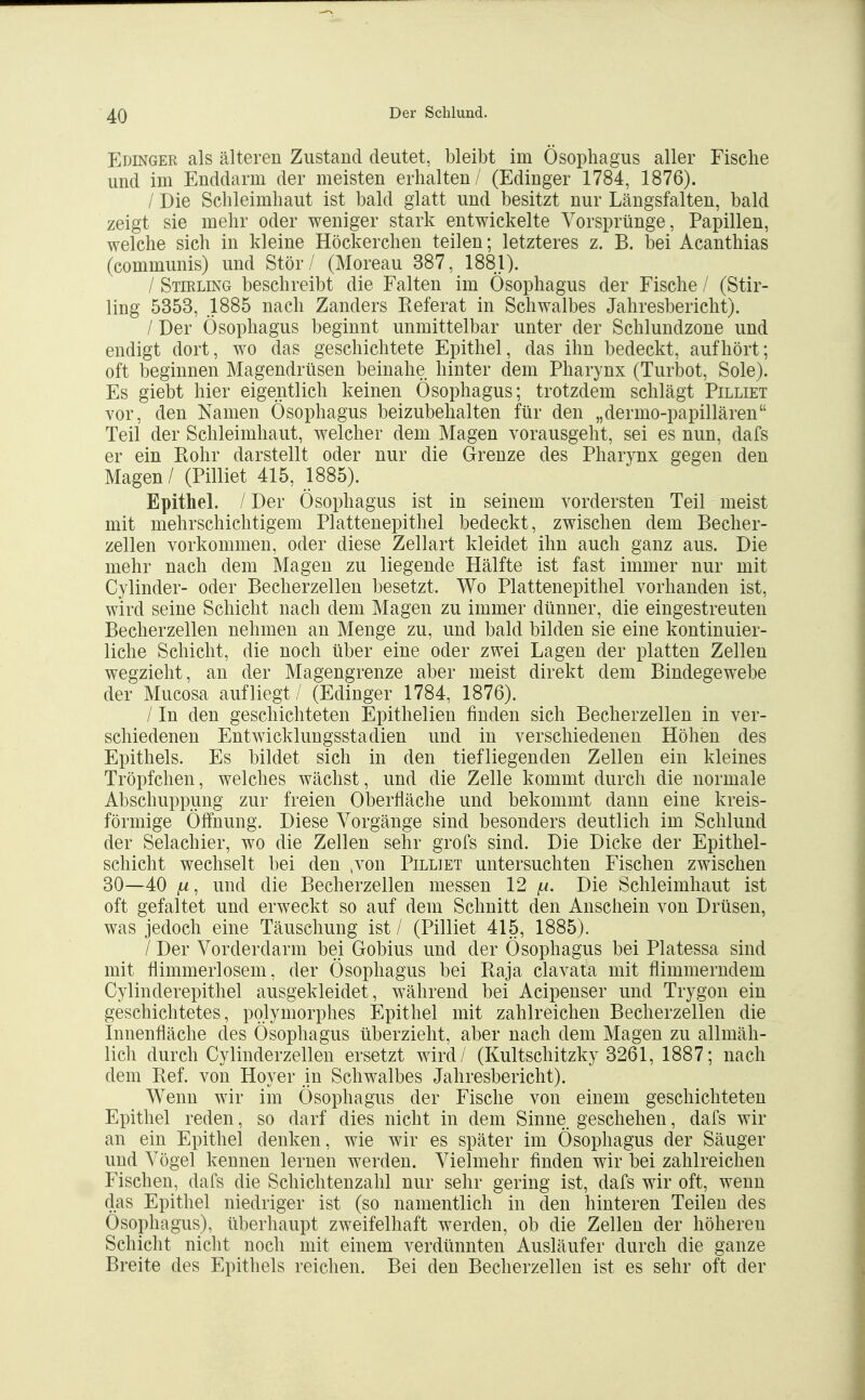 Edinger als älteren Zustand deutet, bleibt im Ösophagus aller Fische und im Enddarm der meisten erhalten/ (Edinger 1784, 1876). / Die Schleimhaut ist bald glatt und besitzt nur Längsfalten, bald zeigt sie mehr oder weniger stark entwickelte Vorsprünge, Papillen, welche sich in kleine Höckerchen teilen; letzteres z. B. bei Acanthias (communis) und Stör/ (Moreau 387, 1881). / Stirling beschreibt die Falten im Ösophagus der Fische / (Stir- ling 5353, 1885 nach Zanders Referat in Schwalbes Jahresbericht). / Der Ösophagus beginnt unmittelbar unter der Schlundzone und endigt dort, wo das geschichtete Epithel, das ihn bedeckt, aufhört; oft beginnen Magendrüsen beinahe hinter dem Pharynx (Turbot, Sole). Es giebt hier eigentlich keinen Ösophagus; trotzdem schlägt Pilliet vor, den Namen Ösophagus beizubehalten für den „dermo-papillären Teil der Schleimhaut, welcher dem Magen vorausgeht, sei es nun, dafs er ein Rohr darstellt oder nur die Grenze des Pharynx gegen den Magen/ (Pilliet 415, 1885). Epithel. /Der Ösophagus ist in seinem vordersten Teil meist mit mehrschichtigem Plattenepithel bedeckt, zwischen dem Becher- zellen vorkommen, oder diese Zellart kleidet ihn auch ganz aus. Die mehr nach dem Magen zu liegende Hälfte ist fast immer nur mit Cylinder- oder Becherzellen besetzt. Wo Plattenepithel vorhanden ist, wird seine Schicht nach dem Magen zu immer dünner, die eingestreuten Becherzellen nehmen an Menge zu, und bald bilden sie eine kontinuier- liche Schicht, die noch über eine oder zwei Lagen der platten Zellen wegzieht, an der Magengrenze aber meist direkt dem Bindegewebe der Mucosa aufliegt / (Edinger 1784, 1876). / In den geschichteten Epithelien finden sich Becherzellen in ver- schiedenen Entwicklungsstadien und in verschiedenen Höhen des Epithels. Es bildet sich in den tiefliegenden Zellen ein kleines Tröpfchen, welches wächst, und die Zelle kommt durch die normale Abschuppung zur freien Oberfläche und bekommt dann eine kreis- förmige Öffnung. Diese Vorgänge sind besonders deutlich im Schlund der Selachier, wo die Zellen sehr grofs sind. Die Dicke der Epithel- schicht wechselt bei den .von Pilliet untersuchten Fischen zwischen 30—40 ^, und die Becherzellen messen 12 ia. Die Schleimhaut ist oft gefaltet und erweckt so auf dem Schnitt den Anschein von Drüsen, was jedoch eine Täuschung ist / (Pilliet 415, 1885). / Der Vorderdarm bei Gobius und der Ösophagus bei Platessa sind mit flimmerlosem, der Ösophagus bei Raja clavata mit flimmerndem Cylinderepithel ausgekleidet, während bei Acipenser und Trygon ein geschichtetes, polymorphes Epithel mit zahlreichen Becherzellen die Innenfläche des Ösophagus überzieht, aber nach dem Magen zu allmäh- lich durch Cylinderzellen ersetzt wird/ (Kultschitzky 3261, 1887; nach dem Ref. von Hoyer in Schwalbes Jahresbericht). Wenn wir im Ösophagus der Fische von einem geschichteten Epithel reden, so darf dies nicht in dem Sinne geschehen, dafs wir an ein Epithel denken, wie wir es später im Ösophagus der Säuger und Vögel kennen lernen werden. Vielmehr finden wir bei zahlreichen Fischen, dafs die Schichtenzahl nur sehr gering ist, dafs wir oft, wenn das Epithel niedriger ist (so namentlich in den hinteren Teilen des Ösophagus), überhaupt zweifelhaft werden, ob die Zellen der höheren Schicht nicht noch mit einem verdünnten Ausläufer durch die ganze Breite des Epithels reichen. Bei den Becherzellen ist es sehr oft der