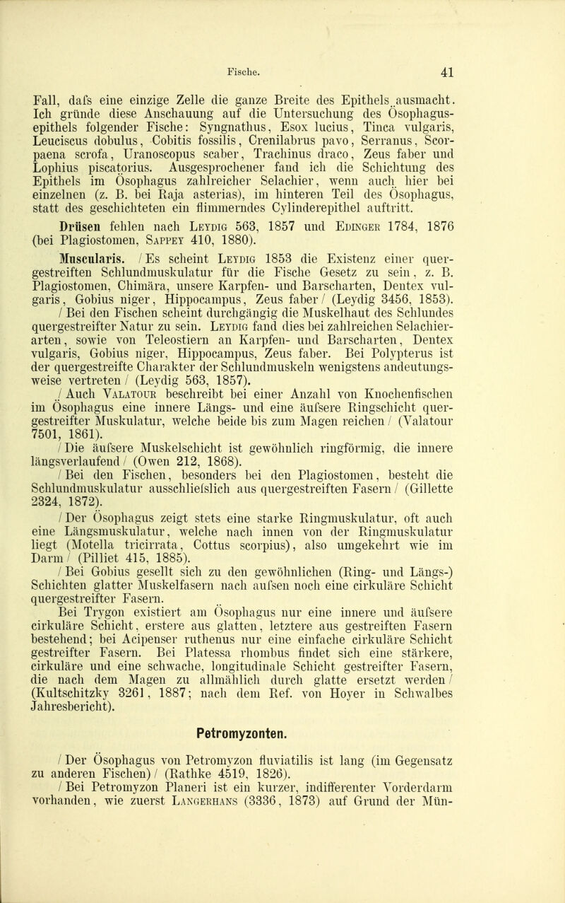 Fall, dafs eine einzige Zelle die ganze Breite des Epithels .ausmacht. Ich gründe diese Anschauung auf die Untersuchung des Ösophagus- epithels folgender Fische: Syngnathus, Esox lucius, Tinea vulgaris, Leuciscus dobulus, Cobitis fossilis, Crenilabrus pavo, Serranus, Scor- paena scrofa, Uranoscopus scaber, Trachinus draco, Zeus faber und Lophius piscatorius. Ausgesprochener fand ich die Schichtung des Epithels im Ösophagus zahlreicher Selachier, wenn auch hier bei einzelnen (z. B. bei Kaja asterias), im hinteren Teil des Ösophagus, statt des geschichteten ein flimmerndes Cylinderepithel auftritt. Drüsen fehlen nach Leydig 563, 1857 und Edinger 1784, 1876 (bei Plagiostomen, Sappey 410, 1880). Muscularis. /Es scheint Leydig 1853 die Existenz einer quer- gestreiften Schlundmuskulatur für die Fische Gesetz zu sein, z. B. Plagiostomen, Chimära, unsere Karpfen- und Barscharten, Dentex vul- garis, Gobius niger, Hippocampus, Zeus faber / (Leydig 3456, 1853). / Bei den Fischen scheint durchgängig die Muskelhaut des Schlundes quergestreifter Natur zu sein. Leydig fand dies bei zahlreichen Selachier- arten, sowie von Teleostiern an Karpfen- und Barscharten, Dentex vulgaris, Gobius niger, Hippocampus, Zeus faber. Bei Polypterus ist der quergestreifte Charakter der Schlundmuskeln wenigstens andeutungs- weise vertreten / (Leydig 563, 1857). _/ Auch Valatour beschreibt bei einer Anzahl von Knochenfischen im Ösophagus eine innere Längs- und eine äufsere Ringschicht quer- gestreifter Muskulatur, welche beide bis zum Magen reichen / (Valatour 7501, 1861). /Die äufsere Muskelschicht ist gewöhnlich ringförmig, die innere längsverlaufend / (Owen 212, 1868). / Bei den Fischen, besonders bei den Plagiostomen, besteht die Schlundmuskulatur ausschliefslich aus quergestreiften Fasern / (Gillette 2324, 1872). /Der Ösophagus zeigt stets eine starke Ringmuskulatur, oft auch eine Längsmuskulatur, welche nach innen von der Ringmuskulatur liegt (Motella tricirrata, Cottus scorpius), also umgekehrt wie im Darm/ (Pilliet 415, 1885). / Bei Gobius gesellt sich zu den gewöhnlichen (Ring- und Längs-) Schichten glatter Muskelfasern nach aufsen noch eine cirkuläre Schicht quergestreifter Fasern. Bei Trygon existiert am Ösophagus nur eine innere und äufsere cirkuläre Schicht, erstere aus glatten, letztere aus gestreiften Fasern bestehend; bei Acipenser ruthenus nur eine einfache cirkuläre Schicht gestreifter Fasern. Bei Platessa rhombus findet sich eine stärkere, cirkuläre und eine schwache, longitudinale Schicht gestreifter Fasern, die nach dem Magen zu allmählich durch glatte ersetzt werden / (Kultschitzky 3261, 1887; nach dem Ref. von Hoyer in Schwalbes Jahresbericht). Petromyzonten. / Der Ösophagus von Petromyzon fluviatilis ist lang (im Gegensatz zu anderen Fischen) / (Rathke 4519, 1826). / Bei Petromyzon Pianeri ist ein kurzer, indifferenter Yorderdarm vorhanden, wie zuerst Langerhans (3336, 1873) auf Grund der Mün-