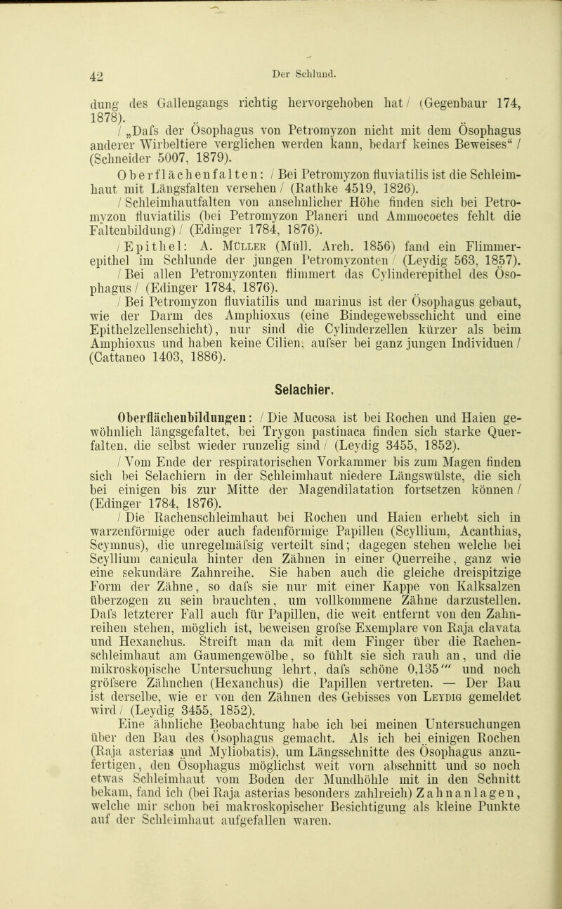 (liing des Gallengangs richtig hervorgehoben hat/ (Gegenbaur 174, 1878). / „Dafs der Ösophagus von Petromyzon nicht mit dem Ösophagus anderer Wirbeltiere verglichen werden kann, bedarf keines Beweises / (Schneider 5007, 1879). Ober flächenfalten: / Bei Petromyzon fluviatilis ist die Schleim- haut mit Längsfalten versehen / (Ptathke 4519, 1826). / Schleimhautfalten von ansehnlicher Höhe finden sich bei Petro- mvzon fluviatilis (bei Petromyzon Pianeri und Ammocoetes fehlt die Faltenbildung) / (Edinger 1784, 1876). /Epithel: A. Müller (Müll. Arch. 1856) fand ein Flimmer- epithel im Schlünde der jungen Petromyzonten / (Leydig 563, 1857). / Bei allen Petromyzonten flimmert das Cylinderepithel des Öso- phagus / (Edinger 1784, 1876). / Bei Petromyzon fluviatilis und marinus ist der Ösophagus gebaut, wie der Darm des Amphioxus (eine Bindegewebsschicht und eine Epithelzellenschicht), nur sind die Cylinderzellen kürzer als beim Amphioxus und haben keine Cilien, aufser bei ganz jungen Individuen / (Cattaneo 1403, 1886). Selachier Oberflächenbildun^en: / Die Mucosa ist bei Rochen und Haien ge- wöhnlich längsgefaltet, bei Trygon pastinaca finden sich starke Quer- falten, die selbst wieder runzelig sind / (Leydig 3455, 1852). / Vom Ende der respiratorischen Vorkammer bis zum Magen finden sich bei Selachiern in der Schleimhaut niedere Längswülste, die sich bei einigen bis zur Mitte der Magendilatation fortsetzen können / (Edinger 1784, 1876). / Die Rachenschleimhaut bei Rochen und Haien erhebt sich in warzenförmige oder auch fadenförmige Papillen (Scyllium, Acanthias, Scymnus), die unregelmäfsig verteilt sind; dagegen stehen welche bei Scyllium canicula hinter den Zähnen in einer Querreihe, ganz wie eine sekundäre Zahnreihe. Sie haben auch die gleiche dreispitzige Form der Zähne, so dafs sie nur mit einer Kappe von Kalksalzen überzogen zu sein brauchten, um vollkommene Zähne darzustellen. Dafs letzterer Fall auch für Papillen, die weit entfernt von den Zahn- reihen stehen, möglich ist, beweisen grofse Exemplare von Raja clavata und Hexanchus. Streift man da mit dem Finger über die Rachen- schleimhaut am Gaumengewölbe, so fühlt sie sich rauh an, und die mikroskopische Untersuchung lehrt, dafs schöne 0,135' und noch gröfsere Zähnchen (Hexanchus) die Papillen vertreten. — Der Bau ist derselbe, wie er von den Zähnen des Gebisses von Leydig gemeldet wird/ (Leydig 3455, 1852). Eine ähnliche Beobachtung habe ich bei meinen Untersuch imgen über den Bau des Ösophagus gemacht. Als ich bei .einigen Rochen (Raja asterias und Myliobatis), um Längsschnitte des Ösophagus anzu- fertigen, den Ösophagus möglichst weit vorn abschnitt und so noch etwas Schleimhaut vom Boden der Mundhöhle mit in den Schnitt bekam, fand ich (bei Raja asterias besonders zahlreich) Zahn an lagen, welche mir schon bei makroskopischer Besichtigung als kleine Punkte auf der Schleimhaut aufgefallen waren.