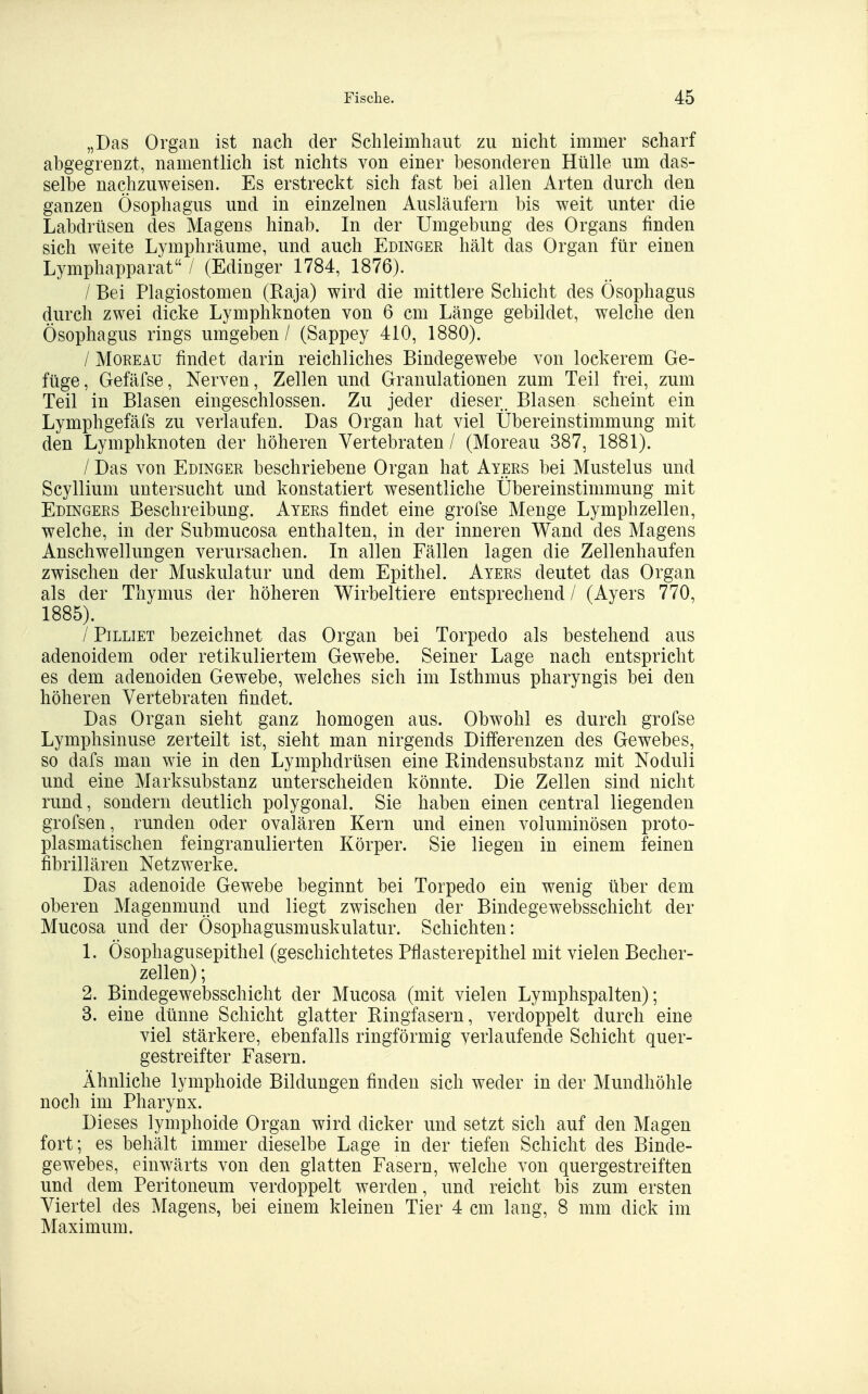 „Das Organ ist nach der Schleimhaut zu nicht immer scharf abgegrenzt, namentlich ist nichts von einer besonderen Hülle um das- selbe nachzuweisen. Es erstreckt sich fast bei allen Arten durch den ganzen Ösophagus und in einzelnen Ausläufern bis weit unter die Labdrüsen des Magens hinab. In der Umgebung des Organs finden sich weite Lymphräume, und auch Edinger hält das Organ für einen Lymphapparat / (Edinger 1784, 1876). / Bei Plagiostomen (Raja) wird die mittlere Schicht des Ösophagus durch zwei dicke Lymphknoten von 6 cm Länge gebildet, welche den Ösophagus rings umgeben / (Sappey 410, 1880). / MoREAü findet darin reichliches Bindegewebe von lockerem Ge- füge, Gefäfse, Nerven, Zellen und Granulationen zum Teil frei, zum Teil in Blasen eingeschlossen. Zu jeder dieser. Blasen scheint ein Lymphgefäfs zu verlaufen. Das Organ hat viel Übereinstimmung mit den Lymphknoten der höheren Vertebraten / (Moreau 387, 1881). / Das von Edinger beschriebene Organ hat Ayers bei Mustelus und Scyllium untersucht und konstatiert wesentliche Übereinstimmung mit Edingers Beschreibung. Ayers findet eine grofse Menge Lymphzellen, welche, in der Submucosa enthalten, in der inneren Wand des Magens Anschwellungen verursachen. In allen Fällen lagen die Zellenhaufen zwischen der Muskulatur und dem Epithel. Ayers deutet das Organ als der Thymus der höheren Wirbeltiere entsprechend / (Ayers 770, 1885). / Pilliet bezeichnet das Organ bei Torpedo als bestehend aus adenoidem oder retikuliertem Gewebe. Seiner Lage nach entspricht es dem adenoiden Gewebe, welches sich im Isthmus pharyngis bei den höheren Vertebraten findet. Das Organ sieht ganz homogen aus. Obwohl es durch grofse Lymphsinuse zerteilt ist, sieht man nirgends Differenzen des Gewebes, so dafs man wie in den Lymphdrüsen eine Rindensubstanz mit Noduli und eine Marksubstanz unterscheiden könnte. Die Zellen sind nicht rund, sondern deutlich polygonal. Sie haben einen central liegenden grofsen, runden oder ovalären Kern und einen voluminösen proto- plasmatischen feingranulierten Körper. Sie liegen in einem feinen fibrillären Netzwerke. Das adenoide Gewebe beginnt bei Torpedo ein wenig über dem oberen Magenmund und liegt zwischen der Bindegewebsschicht der Mucosa und der Ösophagusmuskulatur. Schichten: 1. Ösophagusepithel (geschichtetes Pflasterepithel mit vielen Becher- zellen) ; 2. Bindegewebsschicht der Mucosa (mit vielen Lymphspalten); 3. eine dünne Schicht glatter Ringfasern, verdoppelt durch eine viel stärkere, ebenfalls ringförmig verlaufende Schicht quer- gestreifter Fasern. Ähnliche lymphoide Bildungen finden sich weder in der Mundhöhle noch im Pharynx. Dieses lymphoide Organ wird dicker und setzt sich auf den Magen fort; es behält immer dieselbe Lage in der tiefen Schicht des Binde- gewebes, einwärts von den glatten Fasern, welche von quergestreiften und dem Peritoneum verdoppelt werden, und reicht bis zum ersten Viertel des Magens, bei einem kleinen Tier 4 cm lang, 8 mm dick im Maximum.