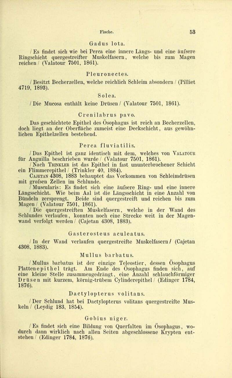 Gadus Iota. / Es findet sich wie bei Perca eine innere Längs- und eine äufsere Ringschicht quergestreifter Muskelfasern, welche bis zum Magen reichen / (Valatour 7501, 1861). P1 e u r 0 n e c t e s. / Besitzt Becherzellen, welche reichlich Schleim absondern / (Pilliet 4719, 1893). Solea. /Die Mucosa enthält keine Drüsen / (Valatour 7501, 1861). Crenilabrus pavo. Das geschichtete Epithel des Ösophagus ist reich an Becherzellen, doch liegt an der Oberfläche zumeist eine Deckschicht, aus gewöhn- lichen Epithelzellen bestehend. Perca fluviatilis. /Das Epithel ist ganz identisch mit dem, welches von Valatour für Anguilla beschrieben wurde / (Valatour 7501, 1861). /Nach Trinkler ist das Epithel in fast ununterbrochener Schicht ein Flimmerepithel / (Trinkler 40, 1884). Cajetan 4308, 1883 behauptet das Vorkommen von Schleimdrüsen mit grofsen Zellen im Schlünde. / Muscularis: Es findet sich eine äufsere Ring- und eine innere Längsschicht. Wie beim Aal ist die Längsschicht in eine Anzahl von Bündeln zersprengt. Beide sind quergestreift und reichen bis zum Magen / (Valatour 7501, 1861). / Die quergestreiften Muskelfasern, welche in der Wand des Schlundes verlaufen, konnten noch eine Strecke weit in der Magen- wand verfolgt werden/ (Cajetan 4308, 1883). Gasterosteus aculeatus. / In der Wand verlaufen quergestreifte Muskelfasern / (Cajetan 4308, 1883). Mullus barbatus. /Mullus barbatus ist der einzige Teleostier, dessen Ösophagus Plattenepithel trägt. Am Ende des Ösophagus finden sich, auf eine kleine Stelle zusammengedrängt, eine Anzahl schlauchförmiger Drüsen mit kurzem, körnig-trübem Cylinderepithel / (Edinger 1784, 1876). Dactylopterus volitans. / Der Schlund hat bei Dactylopterus volitans quergestreifte Mus- keln / (Leydig 183, 1854). Gobius niger. / Es findet sich eine Bildung von Querfalten im Ösophagus, wo- durch dann wirklich nach allen Seiten abgeschlossene Krvpten ent- stehen/ (Edinger 1784, 1876).