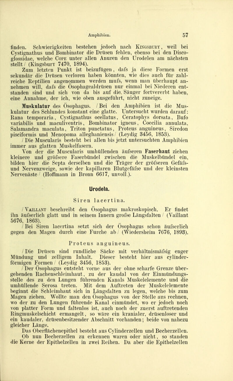 finden. Schwierigkeiten bestehen jedoch nach Kingsbury, weil bei Cystignathus und Bombinator die Drüsen fehlen, ebenso bei den Disco- glossidae, welche Cope unter allen Anuren den Urodelen am nächsten stellt / (KingsburY 7470, 1894). Zum letzten Punkt ist beizufügen, dafs ja diese Formen erst sekundär die Drüsen verloren haben könnten, wie dies auch für zahl- reiche Reptilien angenommen werden mufs, wenn man überhaupt an- nehmen will, dafs die Ösophagealdrüsen nur einmal bei Niederen ent- standen sind und sich von da bis auf die. Säuger fortvererbt haben, eine Annahme, der ich, wie oben ausgeführt, nicht zuneige. Muskulatur des Ösophagus. /Bei den Amphibien ist die Mus- kulatur des Schlundes konstant eine glatte. Untersucht wurden darauf: Rana temporaria, Cystignathus ocellatus, Ceratophys dorsata, Bufo variabilis und maculiventris, Bombinator igneus, Coecilia annulata, Salamandra maculata, Triton punctatus, Proteus anguineus, Siredon pisciformis und Menopoma alleghaniensis / (Leydig 3456, 1853). / Die Muscularis besteht bei allen bis jetzt untersuchten Amphibien immer aus glatten Muskelfasern. Von der die Muscularis umhüllenden äufseren Faserhaut ziehen kleinere und gröfsere Faserbündel zwischen die Muskelbündel ein, bilden hier die Septa derselben und die Träger der gröfseren Gefäfs- und Nervenzweige, sowie der kapillaren Blutgefäfse und der kleinsten Nervenäste / (Hoffmann in Bronn 6617, unvoll.)- Urodela. Siren lacertina. /Yaillant beschreibt den Ösophagus makroskopisch. Er findet ihn äufserlich glatt und in seinem Innern grofse Längsfalten / (Vaillant 5676, 1863). / Bei Siren lacertina setzt sich der Ösophagus schon äufserlich gegen den Magen durch eine Furche ab / (Wiedersheim 7676, 1893). Proteus anguineus. / Die Drüsen sind rundliche Säcke mit verhältnismäfsig enger Mündung und zelligem Inhalt. Dieser besteht hier aus cylinder- förmigen Formen / (Leydig 3456, 1853). / Der Ösophagus entsteht vorne aus der ohne scharfe Grenze über- gehenden Bachenschleimhaut, zu der kaudal von der Einmündungs- stelle des zu den Lungen führenden Kanals Muskelelemente und die umhüllende Serosa treten. Mit dem Auftreten der Muskelelemente beginnt die Schleimhaut sich in Längsfalten zu legen, welche bis zum Magen ziehen. Wollte man den Ösophagus von der Stelle aus rechnen, wo der zu den Lungen führende Kanal einmündet, wo er jedoch noch von platter Form und faltenlos ist, auch noch der zuerst auftretenden Ringmuskelschicht ermangelt, so wäre ein kranialer, drüsenloser und ein kaudaler, drüsenbesitzender Abschnitt vorhanden; beide von nahezu gleicher Länge. Das Oberflächenepithel besteht aus Cylinderzellen und Becherzellen. Ob nun Becherzellen zu erkennen waren oder nicht, so standen die Kerne der Epithelzellen in zwei Reihen. Da aber die Epithelzellen