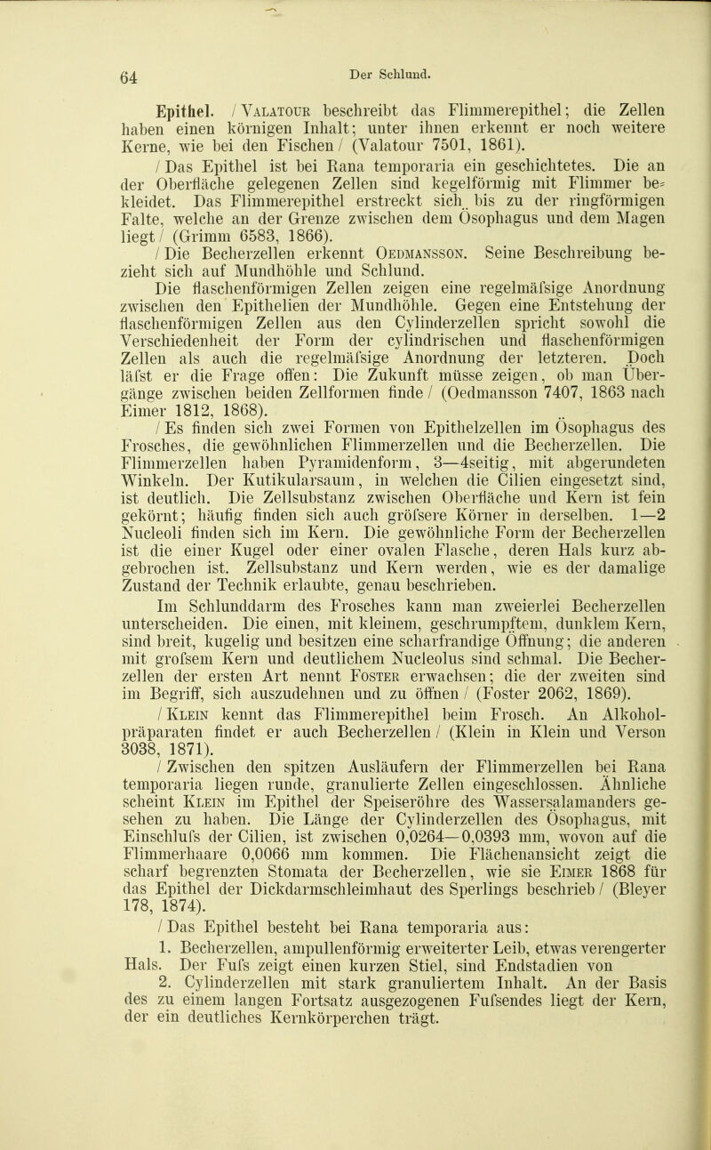 Epithel. / Valätour beschreibt das Flimmerepithel; die Zellen haben einen körnigen Inhalt; unter ihnen erkennt er noch weitere Kerne, wie bei den Fischen / (Valatour 7501, 1861). / Das Epithel ist bei Rana temporaria ein geschichtetes. Die an der Oberfläche gelegenen Zellen sind kegelförmig mit Flimmer be= kleidet. Das Flimmerepithel erstreckt sich. bis zu der ringförmigen Falte, welche an der Grenze zwischen dem Ösophagus und dem Magen liegt / (Grimm 6583, 1866). / Die Becherzellen erkennt Oedmansson. Seine Beschreibung be- zieht sich auf Mundhöhle und Schlund. Die flaschenförmigen Zellen zeigen eine regelmäfsige Anordnung zwischen den Epithelien der Mundhöhle. Gegen eine Entstehung der flaschenförmigen Zellen aus den Cylinderzellen spricht sowohl die Verschiedenheit der Form der cylindrischen und flaschenförmigen Zellen als auch die regelmäfsige Anordnung der letzteren. Doch läfst er die Frage offen: Die Zukunft müsse zeigen, ob man Über- gänge zwischen beiden Zellformen finde / (Oedmansson 7407, 1863 nach Eimer 1812, 1868). / Es finden sich zwei Formen von Epithelzellen im Ösophagus des Frosches, die gewöhnlichen Flimmerzellen und die Becherzellen. Die Flimmerzellen haben Pyramidenform, 3—4seitig, mit abgerundeten Winkeln. Der Kutikularsaum, in welchen die Cilien eingesetzt sind, ist deutlich. Die Zellsubstanz zwischen Oberfläche und Kern ist fein gekörnt; häufig finden sich auch gröfsere Körner in derselben. 1—2 Nucleoli finden sich im Kern. Die gewöhnliche Form der Becherzellen ist die einer Kugel oder einer ovalen Flasche, deren Hals kurz ab- gebrochen ist. Zellsubstanz und Kern werden, wie es der damalige Zustand der Technik erlaubte, genau beschrieben. Im Schlunddarm des Frosches kann man zweierlei Becherzellen unterscheiden. Die einen, mit kleinem, geschrumpftem, dunklem Kern, sind breit, kugelig und besitzen eine scharfrandige Öffnung; die anderen mit grofsem Kern und deutlichem Nucleolus sind schmal. Die Becher- zellen der ersten Art nennt Foster erwachsen; die der zweiten sind im Begriff, sich auszudehnen und zu öffnen / (Foster 2062, 1869). / Klein kennt das Flimmerepithel beim Frosch. An Alkohol- präparaten findet er auch Becherzellen / (Klein in Klein und Verson 3038, 1871). / Zwischen den spitzen Ausläufern der Flimmerzellen bei Rana temporaria liegen runde, granulierte Zellen eingeschlossen. Ähnliche scheint Klein im Epithel der Speiseröhre des Wassersalamanders ge- sehen zu haben. Die Länge der Cylinderzellen des Ösophagus, mit Einschlufs der Cilien, ist zwischen 0,0264—0,0393 mm, wovon auf die Flimmerhaare 0,0066 mm kommen. Die Flächenansicht zeigt die scharf begrenzten Stomata der Becherzellen, wie sie Eimer 1868 für das Epithel der Dickdarmschleimhaut des Sperlings beschrieb / (Bleyer 178, 1874). / Das Epithel besteht bei Rana temporaria aus: 1. Becherzellen, ampullenförmig erweiterter Leib, etwas verengerter Hals. Der Fufs zeigt einen kurzen Stiel, sind Endstadien von 2. Cylinderzellen mit stark granuliertem Inhalt. An der Basis des zu einem langen Fortsatz ausgezogenen Fufsendes liegt der Kern, der ein deutliches Kernkörperchen trägt.