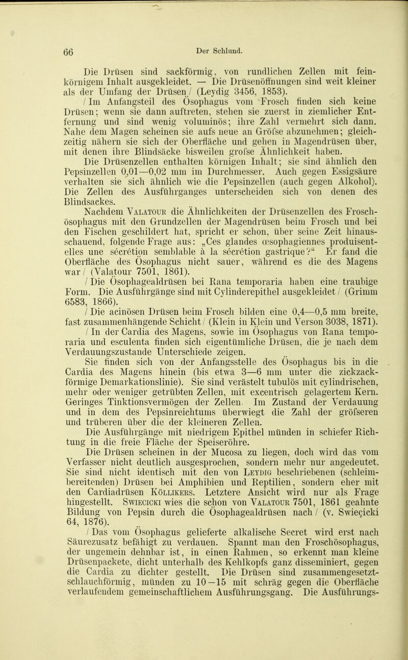 Die Drüsen sind sackförmig, von rundlichen Zellen mit fein- körnigem Inhalt ausgekleidet. — Die Drüsenöffnungen sind weit kleiner als der Umfang der Drüsen,/ (Leydig 3456, 1853). / Im Anfangsteil des Ösophagus vom Frosch finden sich keine Drüsen; wenn sie dann auftreten, stehen sie zuerst in ziemlicher Ent- fernung und sind wenig voluminös; ihre Zahl vermehrt sich dann. Nahe dem Magen scheinen sie aufs neue an Gröfse abzunehmen; gleich- zeitig nähern sie sich der Oberfläche und gehen in Magendrüsen über, mit denen ihre Blindsäcke bisweilen grofse Ähnlichkeit haben. Die Drüsenzellen enthalten körnigen Inhalt; sie sind ähnlich den Pepsinzellen 0,01—0,02 mm im Durchmesser. Auch gegen Essigsäure verhalten sie sich ähnlich wie die Pepsinzellen (auch gegen Alkohol). Die Zellen des Ausführganges unterscheiden sich von denen des Blindsackes. Nachdem Välatour die Ähnlichkeiten der Drüsenzellen des Frosch- ösophagus mit den Grundzellen der Magendrüsen beim Frosch und bei den Fischen geschildert hat, spricht er schon, über seine Zeit hinaus- schauend, folgende Frage aus: „Oes glandes oesophagiennes produisent- elles une secretion semblable ä la secretion gastrique? Er fand die Oberfläche des Ösophagus nicht sauer, während es die des Magens war / (Valatour 7501, 1861). / Die Ösophagealdrüsen bei Rana temporaria haben eine traubige Form. Die Ausführgänge sind mit Cylinderepithel ausgekleidet / (Grimm 6583, 1866). / Die acinösen Drüsen beim Frosch bilden eine 0,4—0,5 mm breite, fast zusammenhängende Schicht / (Klein in Klein und Verson 3038, 1871). / In der Cardia des Magens, sowie im Ösophagus von Rana tempo- raria und esculenta finden sich eigentümliche Drüsen, die je nach dem Verdauungszustande Unterschiede zeigen. Sie finden sich von der Anfangsstelle des Ösophagus bis in die Cardia des Magens hinein (bis etwa 3—6 mm unter die zickzack- förmige Demarkationslinie). Sie sind verästelt tubulös mit cylindrischen, mehr oder weniger getrübten Zellen, mit excentrisch gelagertem Kern. Geringes Tinktionsvermögen der Zellen. Im Zustand der Verdauung und in dem des Pepsinreichtums überwiegt die Zahl der gröfseren und trüberen über die der kleineren Zellen. Die Ausführgänge mit niedrigem Epithel münden in schiefer Rich- tung in die freie Fläche der Speiseröhre. Die Drüsen scheinen in der Mucosa zu liegen, doch wird das vom Verfasser nicht deutlich ausgesprochen, sondern mehr nur angedeutet. Sie sind nicht identisch mit den von Leydig beschriebenen (schleim- bereitenden) Drüsen bei Amphibien und Reptilien, sondern eher mit den Cardiadrüsen Köllikers. Letztere Ansicht wird nur als Frage hingestellt. Swiecicki wies die schon von Valatour 7501, 1861 geahnte Bildung von Pepsin durch die Ösophagealdrüsen nach / (v. Swiegicki 64, 1876). / Das vom Ösophagus gelieferte alkalische Secret wird erst nach Säurezusatz befähigt zu verdauen. Spannt man den Froschösophagus, der ungemein dehnbar ist, in einen Rahmen, so erkennt man kleine Drüsenpackete, dicht unterhalb des Kehlkopfs ganz disseminiert, gegen die Cardia zu dichter gestellt. Die Drüsen sind zusammengesetzt- schlauchförmig, münden zu 10—15 mit schräg gegen die Oberfläche verlaufendem gemeinschaftlichem Ausführungsgang. Die Ausführungs-