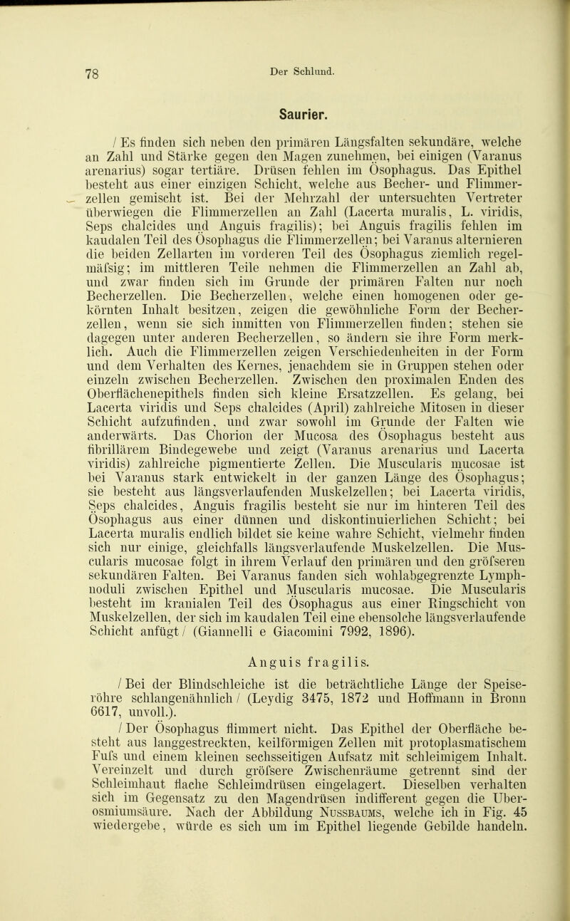 Saurier. / Es finden sich neben den primären Längsfalten sekundäre, welche an Zahl und Stärke gegen den Magen zunehmen, bei einigen (Varanus arenarius) sogar tertiäre. Drüsen fehlen im Ösophagus. Das Epithel besteht aus einer einzigen Schicht, welche aus Becher- und Flimmer- zellen gemischt ist. Bei der Mehrzahl der untersuchten Vertreter überwiegen die Flimmerzellen an Zahl (Lacerta muralis, L. viridis, Seps chalcides und Anguis fragilis); bei Anguis fragilis fehlen im kaudalen Teil des Ösophagus die Flimmerzellen; bei Varanus alternieren die beiden Zellarten im vorderen Teil des Ösophagus ziemlich regel- mäfsig; im mittleren Teile nehmen die Flimmerzellen an Zahl ab, und zwar finden sich im Grunde der primären Falten nur noch Becherzellen. Die Becherzellen, welche einen homogenen oder ge- körnten Inhalt besitzen, zeigen die gewöhnliche Form der Becher- zellen, wenn sie sich inmitten von Flimmerzellen finden; stehen sie dagegen unter anderen Becherzellen, so ändern sie ihre Form merk- lich. Auch die Flimmerzellen zeigen Verschiedenheiten in der Form und dem Verhalten des Kernes, jenachdem sie in Gruppen stehen oder einzeln zwischen Becherzellen. Zwischen den proximalen Enden des Oberflächenepithels finden sich kleine Ersatzzellen. Es gelang, bei Lacerta viridis und Seps chalcides (April) zahlreiche Mitosen in dieser Schicht aufzufinden, und zwar sowohl im Grunde der Falten wie anderwärts. Das Chorion der Mucosa des Ösophagus besteht aus fibrillärem Bindegewebe und zeigt (Varanus arenarius und Lacerta viridis) zahlreiche pigmentierte Zellen. Die Muscularis mucosae ist bei Varanus stark entwickelt in der ganzen Länge des Ösophagus; sie besteht aus längsverlaufenden Muskelzellen; bei Lacerta viridis, Seps chalcides, Anguis fragilis besteht sie nur im hinteren Teil des Ösophagus aus einer dünnen und diskontinuierlichen Schicht; bei Lacerta muralis endlich bildet sie keine wahre Schicht, vielmehr finden sich nur einige, gleichfalls längsverlaufende Muskelzellen. Die Mus- cularis mucosae folgt in ihrem Verlauf den primären und den gröfseren sekundären Falten. Bei Varanus fanden sich wohlabgegrenzte Lymph- noduli zwischen Epithel und Muscularis mucosae. Die Muscularis besteht im kranialen Teil des Ösophagus aus einer Kingschicht von Muskelzellen, der sich im kaudalen Teil eine ebensolche längsverlaufende Schicht anfügt / (Giannelli e Giacomini 7992, 1896). Anguis fragilis. / Bei der Blindschleiche ist die beträchtliche Länge der Speise- röhre schlangenähnlich / (Leydig 3475, 1872 und Hoffmann in Bronn 6617, unvoll.). / Der Ösophagus flimmert nicht. Das Epithel der Oberfläche be- steht aus langgestreckten, keilförmigen Zellen mit protoplasmatischem Fufs und einem kleinen sechsseitigen Aufsatz mit schleimigem Inhalt. Vereinzelt und durch gröfsere Zwischenräume getrennt sind der Schleimhaut flache Schleimdrüsen eingelagert. Dieselben verhalten sich im Gegensatz zu den Magendrüsen indifferent gegen die Uber- osmiumsäure. Nach der Abbildung Nussbaums, welche ich in Fig. 45 wiedergebe, würde es sich um im Epithel liegende Gebilde handeln.