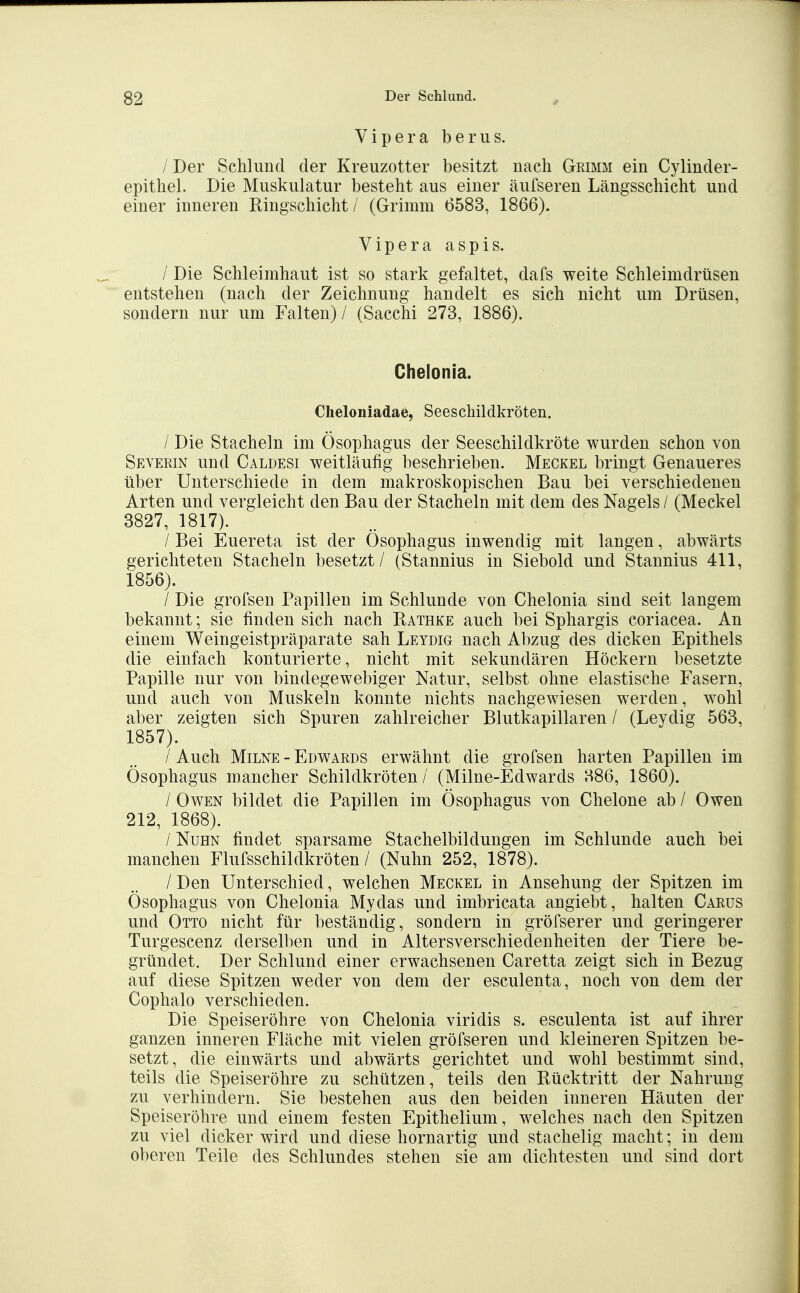 Vipera beriis. / Der Schlund der Kreuzotter besitzt nach Grimm ein Cylinder- epithel. Die Muskulatur besteht aus einer äufseren Längsschicht und einer inneren Ringschicht/ (Grimm 6583, 1866). Vipera aspis. / Die Schleimhaut ist so stark gefaltet, dafs weite Schleimdrüsen entstehen (nach der Zeichnung handelt es sich nicht um Drüsen, sondern nur um Falten) / (Sacchi 273, 1886). Chelonia. Cheloniadae, Seeschildkröten. / Die Stacheln im Ösophagus der Seeschildkröte wurden schon von Severin und Caldesi weitläufig beschrieben. Meckel bringt Genaueres über Unterschiede in dem makroskopischen Bau bei verschiedenen Arten und vergleicht den Bau der Stacheln mit dem des Nagels / (Meckel 3827, 1817). / Bei Euereta ist der Ösophagus inwendig mit langen, abwärts gerichteten Stacheln besetzt / (Stannius in Siebold und Stannius 411, 1856) . / Die grofsen Papillen im Schlünde von Chelonia sind seit langem bekannt; sie finden sich nach Rathke auch bei Sphargis coriacea. An einem Weingeistpräparate sah Leydig nach Abzug des dicken Epithels die einfach konturierte, nicht mit sekundären Höckern besetzte Papille nur von bindegewebiger Natur, selbst ohne elastische Fasern, und auch von Muskeln konnte nichts nachgewiesen werden, wohl aber zeigten sich Spuren zahlreicher Blutkapillaren / (Levdig 563, 1857) . / Auch MiLNE - Edwards erwähnt die grofsen harten Papillen im Ösophagus mancher Schildkröten/ (Milne-Edwards 386, 1860). / Owen bildet die Papillen im Ösophagus von Chelone ab / Owen 212, 1868). / NuHN findet sparsame Stachelbildungen im Schlünde auch bei manchen Flufsschildkröten / (Nuhn 252, 1878). / Den Unterschied, welchen Meckel in Ansehung der Spitzen im Ösophagus von Chelonia Mydas und imbricata angiebt, halten Carus und Otto nicht für beständig, sondern in gröfserer und geringerer Turgescenz derselben und in Altersverschiedenheiten der Tiere be- gründet. Der Schlund einer erwachsenen Caretta zeigt sich in Bezug auf diese Spitzen weder von dem der esculenta, noch von dem der Cophalo verschieden. Die Speiseröhre von Chelonia viridis s. esculenta ist auf ihrer ganzen inneren Fläche mit vielen gröfseren und kleineren Spitzen be- setzt, die einwärts und abwärts gerichtet und wohl bestimmt sind, teils die Speiseröhre zu schützen, teils den Rücktritt der Nahrung zu verhindern. Sie bestehen aus den beiden inneren Häuten der Speiseröhre und einem festen Epithelium, welches nach den Spitzen zu viel dicker wird und diese hornartig und stachelig macht; in dem oberen Teile des Schlundes stehen sie am dichtesten und sind dort