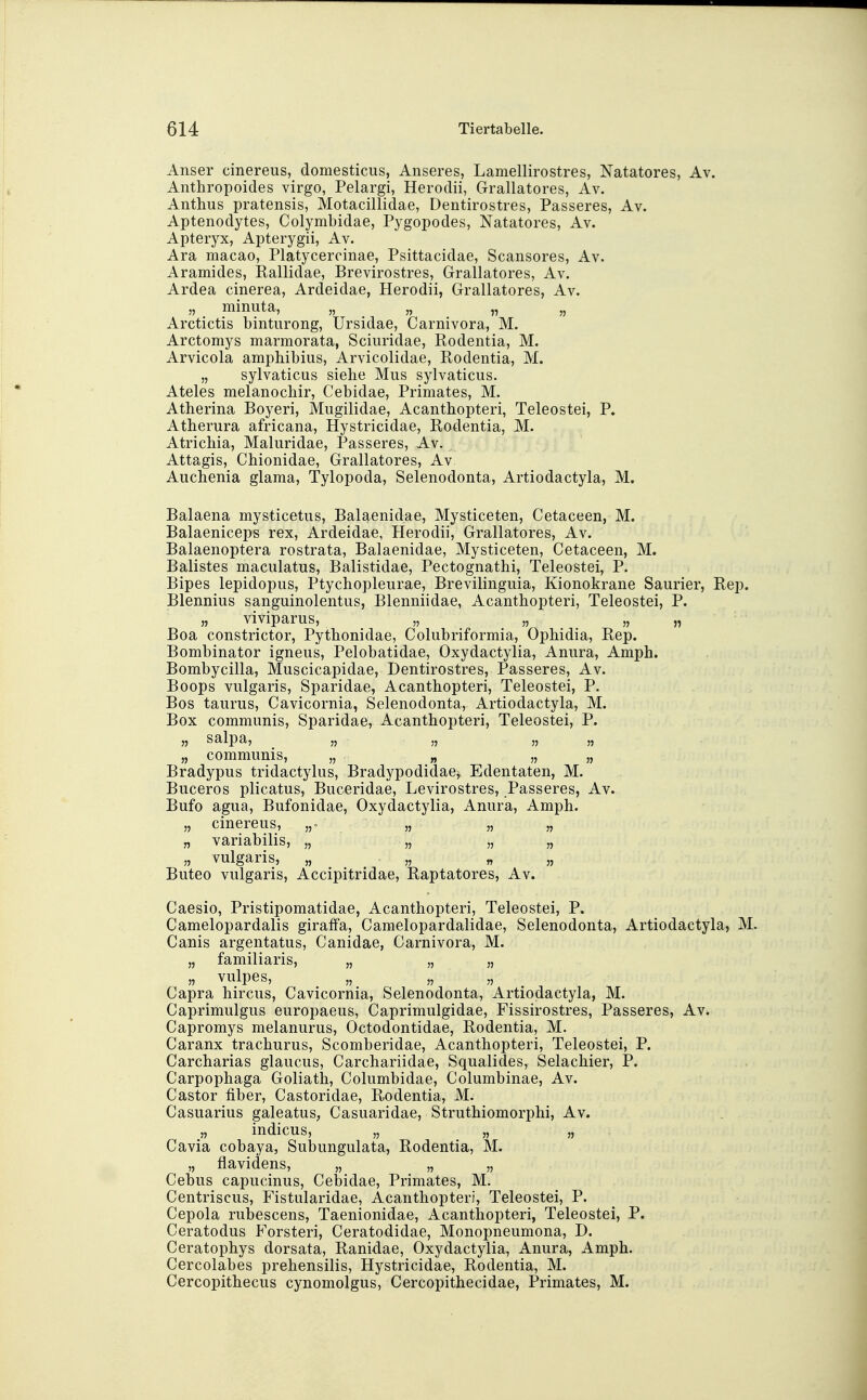 Anser cinereus, domesticus, Anseres, Lamellirostres, Natatores, Av. Anthropoides virgo, Pelargi, Herodii, Grallatores, Av. Anthus pratensis, Motacillidae, Dentirostres, Passeres, Av. Aptenodytes, Colymbidae, Pygopodes, Natatores, Av. Apteryx, Apterygii, Av. Ära macao, Platycercinae, Psittacidae, Scansores, Av. Aramides, Rallidae, Brevirostres, Grallatores, Av. Ardea cinerea, Ardeidae, Herodii, Grallatores, Av. „ minuta, „ „ „ Arctictis bintiirong, Ursidae, Carnivora, M. Arctomys marmorata, Sciuridae, Rodentia, M. Arvicola amphibius, Arvicolidae, Rodentia, M. „ sylvaticus siehe Mus sylvaticus. Ateles melanochir, Cebidae, Primates, M. Atherina Boyeri, Mugilidae, Acanthopteri, Teleostei, P, Atherura africana, Hystricidae, Rodentia, M. Atrichia, Maluridae, Passeres, Av. Attagis, Chionidae, Grallatores, Av Auchenia glama, Tylopoda, Selenodonta, Artiodactyla, M. Balaena mysticetus, Balaenidae, Mysticeten, Cetaceen, M. Balaeniceps rex, Ardeidae, Herodii, Grallatores, Av. Balaenoptera rostrata, Balaenidae, Mysticeten, Cetaceen, M. Balistes maculatus, Balistidae, Pectognathi, Teleostei, P. Bipes lepidopiis, Ptychopleurae, Brevilinguia, Kionokrane Saurier, Rep. Blennius sanguinolentus, Blenniidae, Acanthopteri, Teleostei, P. „ viviparus, „ „ „ „ Boa constrictor, Pythonidae, Colubriformia, Ophidia, Rep. Bombinator igneus, Pelobatidae, Oxydactylia, Anura, Amph. Bombycilla, Muscicapidae, Dentirostres, Passeres, Av. Boops vulgaris, Sparidae, Acanthopteri, Teleostei, P. Bos taurus, Cavicornia, Selenodonta, Artiodactyla, M. Box communis, Sparidae, Acanthopteri, Teleostei, P. n salpa, „ „ j, „ „ communis, „ „ „ „ Bradypus tridactylus, Bradypodidae, Edentaten, M. Buceros plicatus, Buceridae, Levirostres, Passeres, Av. Bufo agua, Bufonidae, Oxydactylia, Anura, Amph. „ cinereus, „ „ „ „ variabilis, „ „ „ „ „ vulgaris, „ „ „ „ Buteo vulgaris, Accipitridae, Raptatores, Av. Caesio, Pristipomatidae, Acanthopteri, Teleostei, P. Camelopardalis giraffa, Camelopardalidae, Selenodonta, Artiodactyla, M. Canis argentatus, Canidae, Carnivora, M. „ familiaris, „ „ „ „ vulpes, Capra hircus, Cavicornia, Selenodonta, Artiodactyla, M. Caprimulgus europaeus, Caprimulgidae, Fissirostres, Passeres, Av. Capromys melanurus, Octodontidae, Rodentia, M. Caranx trachurus, Scomberidae, Acanthopteri, Teleostei, P. Carcharias glaucus, Carchariidae, Squalides, Selachier, P. Carpophaga Goliath, Columbidae, Columbinae, Av. Castor fiber, Castoridae, Rodentia, M. Casuarius galeatus, Casuaridae, Struthiomorphi, Av. „ indicus, „ „ „ Cavia cobaya, Subungulata, Rodentia, M. „ flavidens, „ „ „ Cebus capucinus, Cebidae, Primates, M. Centriscus, Fistularidae, Acanthopteri, Teleostei, P. Cepola rubescens, Taenionidae, Acanthopteri, Teleostei, P. Ceratodus Forsten, Ceratodidae, Monopneumona, D. Ceratophys dorsata, Ranidae, Oxydactylia, Anura, Amph. Cercolabes prehensilis, Hystricidae, Rodentia, M. Cercopithecus cynomolgus, Cercopithecidae, Primates, M.