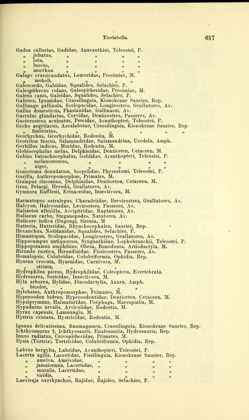 Gadus callarias, Gadidae, Anacanthini, Teleostei, P. „ jubatiis, „ „ „ „ n Iota, „ „ „ „ „ luscus, „ II „ „ „ morrhiia „ „ „ „ Galago crassicaudatus, Lemuridae, Prosimiae, M. „ moholi, „ „ „ Galeocerdo, Galeidae, Squalides, Selacliier, P. Galeqpithecus volans, Galeopithecidae, Prosimiae, M. Galeus canis, Galeidae, Squalides, Selacliier, P. Galiotes, Iguanidae, Crassilinguia, Kionokrane Saurier, Rep. Gallinago gallinula, Scolopacidae, Longirostres, Grallatores, Av. Gallus domesticus, Phasianidae, Gallinacei, Av. Garrulus glandarius, Corvidae, Dentirostres, Passeres, Av. Gasterosteus aculeatus, Percidae, Acanthopteri, Teleostei, P. Gecko aegytiacus, Ascalabotae, Crassilinguia, Kionokrane Saurier, Rep. „ fimbriatus, „ „ „ „ „ Georliychus, Georhychidae, Rodentia, M. Geotriton fuscus, Salamandridae, Salamandrina, Urodela, Amph. Gerbillus indicus, Muridae, Rodentia, M. Globiocephalus melas, Delphinidae, Denticeten, Cetaceen, M. Gobius batrachocephalus, Gobiidae, Acanthopteri, Teleostei, P. „ melanostomus, „ „ „ „  niger, „  . ^   Gonostoma denudatum, Scopelidae, Physostomi, Teleostei, P. Gorilla, Anthropomorphae, Primates, M. Grampus rissoanus, Delphinidae, Denticeten, Cetaceen, M. Grus, Pelargi, Herodii, Grallatores, Av. Gymnura Rafflesii, Erinaceidae, Insectivora, M. Haematopus ostralegus, Charadriidae, Brevirostres, Grallatores, Av. Halcyon, Halcyonidae, Levirostres, Passeres, Av. Haliaetos albicilla, Accipitridae, Raptatores, Av. Haliaeus carbo, Steganopodes, Natatores, Av. Halicore indica (Dugong), Sirenia, M Hatteria, Hatteridae, Rliynchocephalen, Saurier, Rep. Hexanchus, Notidanidae, Squalides, Selachier, P. Himantopus, Scolopacidae, Longirostres, Grallatores, Av. Hippocampus antiquorum, Syngnathidae, Lophobranchii, Teleostei, P. Hippopotamus amphibius, Obesa, Bunodonta, Artiodactyla, M. Hirundo rustica, Hirundinidae, Fissirostres, Passeres, Av. Homalopsis, Colubridae, Colubriformia, Ophidia, Rep. Hyaena crocuta, Hyaenidae, Carnivora, M. „ striata, „ „ „ Hydröphilus piceus, Hydrophilidae, Coleoptera, Evertebrata. Hydrosorex, Soricidae, Insectivora, M. Hyla arborea, Hylidae, Discodactylia, Anura, Amph. „ bicolor, „ Hylobates, Anthropomorphae, Primates, M. Hyperoodon bidens, Hyperoodontidae, Denticeten, Cetaceen, M. Hypsiprymnus, Halmaturidae, Poephaga, Marsupialia, M. Hypudaeus arvalis, Arvicolidae, Rodentia, M. Hyrax capensis, Lamnungia, M. Hystrix cristata, Hystricidae, Rodentia, M. Iguana delicatissima, Baumagamen, Crassilinguia, Kionokrane Saurier, Rep. Ichthyosaurus f, Ichthyosaurii, Enalosauria, Hydrosauria, Rep. Inuus radiatus, Cercopithecidae, Primates, M. Ilysia (Tortrix), Tortricidae, Colubriformia, Ophidia, Rep. Labrus bergylta, Labridae, Acanthopteri, Teleostei, P. Lacerta agilis, Lacertidae, Fissilinguia, Kionokrane Saurier, Rep. „ ameiva, Ameividae, „ „ „ „ „ jamaicensis, Lacertidae, „ „ „ „ „ muralis, I^acertidae, „ „ „ „ „ viridis, „ „ Laeviraja oxyrhynchus, Rajidae, Rajides, Selachier, P.