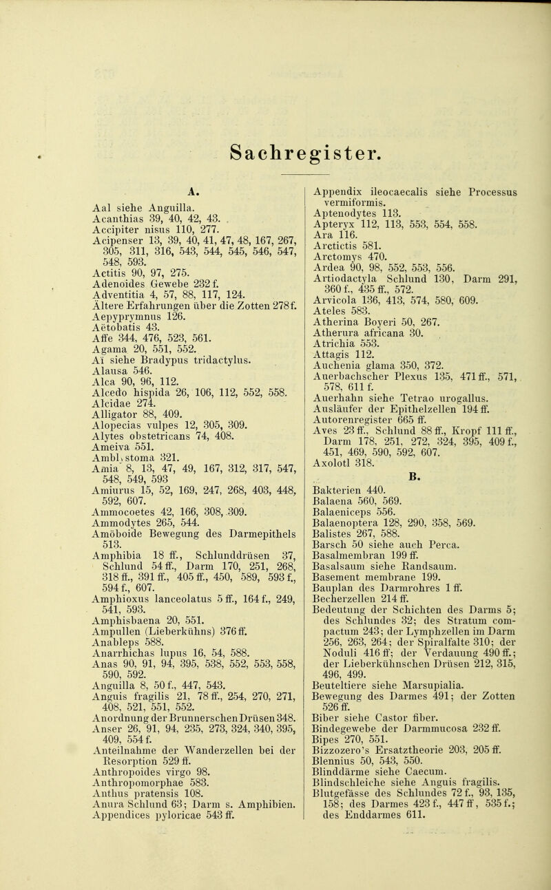 Sachregister. A. Aal siehe Anguilla. Acanthias 39, 40, 42, 43. , Accipiter nisus 110, 277. Acipenser 13, 39, 40, 41, 47, 48, 167, 267, 305, 311, 316, 543, 544, 545, 546, 547, 548, 593. Actitis 90, 97, 275. Adenoides Gewebe 232 f. Adventitia 4, 57, 88, 117, 124. Ältere Erfahrungen über die Zotten 278f. Aepyprymnus 126. Aetobatis 43. Affe 344, 476, 523, 561. Agama 20, 551, 552. Ai siehe Bradypus tridactylus. Alausa 546. Alca 90, 96, 112. Alcedo hispida 26, 106, 112, 552, 558. Alcidae 274. Alligator 88, 409. Alopecias vulpes 12, 305, 309. Alytes obstetricans 74, 408. Ameiva 551. Amblj Stoma 321. Amia 8, 13, 47, 49, 167, 312, 317, 547, 548, 549, 593 Amiurus 15, 52, 169, 247, 268, 403, 448, 592, 607. Ammocoetes 42, 166, 308, 309. Ammodytes 265, 544. Amöboide Bewegung des Darmepithels 513. Amphibia 18 ff., Schlunddrüsen 37, Schlund 54 ff., Darm 170, 251, 268, 318 ff., 391 ff, 405 ff, 450, 589, 593 f., 594 f., 607. Amphioxus lanceolatus 5 ff., 164 f., 249, 541, 593. Amphisbaena 20, 551. Ampullen (Lieberkühns) 376 ff. Anableps 588. Anarrhichas lupus 16, 54, 588. Anas 90, 91, 94, 395, 538, 552, 553, 558, 590 592 Anguilla 8, 50 f., 447, 543. Anguis fragilis 21, 78 ff., 254, 270, 271, 408, 521, 551, 552. Anordnung der BrunnerschenDrüsen 348. Anser 26, 91, 94, 235, 273, 324, 340, 395, 409, 554 f. Anteilnahme der Wanderzellen bei der Resorption 529 ff. Anthropoides virgo 98. Anthropomorphae 583. Anthus pratensis 108. Anura Schlund 63; Darm s. Amphibien. Appendices pyloricae 543 ff. Appendix ileocaecalis siehe Processus vermiformis. Aptenodytes 113. Apteryx 112, 113, 553, 554, 558. Ära 116. Arctictis 581. Arctomys 470. Ardea 90, 98, 552, 553, 556. Artiodactyla Schlund 130, Darm 291, 360 f., 435 ff., 572. Arvicola 136, 413, 574, 580, 609. Ateles 583. Atherina Boyeri 50, 267. Atherura africana 30. Atrichia 553. Attagis 112. Auchenia glama 350, 372. Auerbachscher Plexus 135, 471 ff., 571, 578, 611 f. Auerhahn siehe Tetrao urogallus. Ausläufer der Epithelzellen 194 ff. Autorenregister 665 ff. Aves 23 ff., Schlund 88 ff., Kropf III ff, Darm 178, 251, 272, 324, 395, 409 f., 451, 469, 590, 592, 607. Axolotl 318. B- Bakterien 440. Balaena 560, 569. Balaeniceps 556. Balaenoptera 128, 290, 358, 569. Balistes 267, 588. Barsch 50 siehe auch Perca. Basalmembran 199 ff. Basalsaum siehe Eandsaum. Basement membrane 199. Bauplan des Darmrohres 1 ff. Becherzellen 214 ff. Bedeutung der Schichten des Darms 5; des Schlundes 32; des Stratum com- pactum 243; der Lymphzellen im Darm 256, 263, 264; der Spiralfalte 310; der Noduli 416 ff; der Verdauung 490 ff.; der Lieberkühnschen Drüsen 212, 315, 496, 499. Beuteltiere siehe Marsupialia. Bewegung des Darmes 491; der Zotten 526 ff Biber siehe Castor fiber. Bindegewebe der Darmmucosa 232 ff. Bipes 270, 551. Bizzozero's Ersatztheorie 203, 205 ff. Blennius 50, 543, 550. Blinddärme siehe Caecum. Blindschleiche siehe Anguis fragilis. Blutgefässe des Schlundes 72 f., 93, 135, 158; des Darmes 423 f., 447 ff, 535f.; des Enddarmes 611.