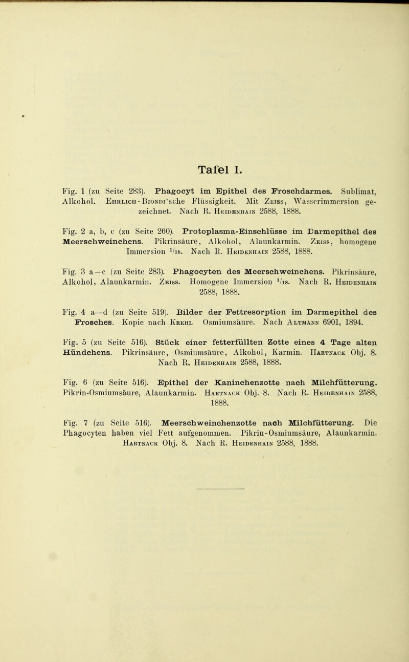 Fig. 1 (zu Seite 283). Phagoeyt im Epithel des Froschdarmes. Sublimat, Alkohol. Ehrlich-BioNDi'sche Flüssigkeit. Mit Zeiss, Wasserimmersion ge- zeichnet. Nach R. Hkidenhain 2588, 1888. Fig. 2 a, b, c (zu Seite 260). Protoplasma-Einschlüsse im Darmepithel des Meerschweinchens. Pikrinsäure, Alkohol, Alaunkarmin. Zeiss, homogene Immersion ^/is. Nach R. Heidknhain 2588, 1888. Fig. 3 a —c (zu Seite 283). Phagocyten des Meerschweinchens. Pikrinsäure, Alkohol, Alaunkarmin. Zeiss. Homogene Immersion Vis. Nach R. Heidenhain 2588, 1888. Fig. 4 a—d (zu Seite 519). Bilder der Fettresorption im Darmepithel des Frosches. Kopie nach Krehl Osmiumsäure. Nach Altmann 6901, 1894. Fig. 5 (zu Seite 516). Stück einer fetterfüllten Zotte eines 4 Tage alten Hündchens. Pikrinsäure, Osmiumsäure, Alkohol, Karmin. Hartnack Obj. 8. Nach R. Heidenhain 2588, 1888. Fig. 6 (zu Seite 516). Epithel der Kaninchenzotte nach Milchfütterung. Pikrin-Osmiumsäure, Alaunkarmin. Hartnack Obj. 8. Nach R. Heidenhain 2588, 1888. Fig. 7 (zu Seite 516). Meerschweinehenzotte nach Milchfütterung. Die Phagocyten haben viel Fett aufgenommen. Pikrin-Osmiumsäure, Alaunkarmin.