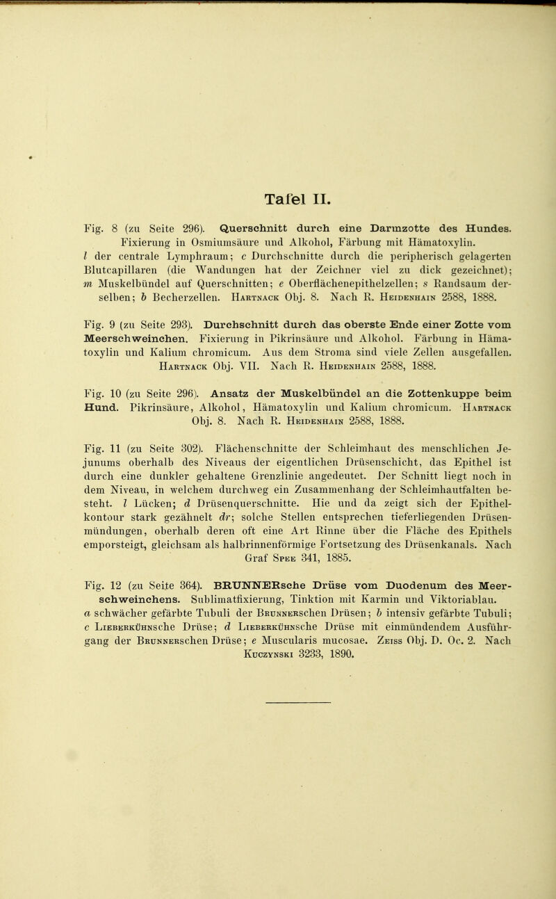 Fig. 8 (zu Seite 296). Querschnitt durch eine Darmzotte des Hundes. Fixierung in Osmiumsäure und Alkohol, Färbung mit Hämatoxylin. l der centrale Lymphraum; c Durchschnitte durch die peripherisch gelagerten Blutcapillaren (die Wandungen hat der Zeichner viel zu dick gezeichnet); m Muskelbündel auf Querschnitten; e Oberflächenepithelzellen; s Randsaum der- selben; h Becherzellen. Hartnack Obj. 8. Nach R. Heidenhain 2588, 1888. Fig. 9 (zu Seite 293). Durchschnitt durch das oberste Ende einer Zotte vom Meerschweinchen. Fixierung in Pikrinsäure und Alkohol. Färbung in Häma- toxylin und Kalium chromicum. Aus dem Stroma sind viele Zellen ausgefallen. Hartnack Obj. VH. Nach R. Heidenhain 2588, 1888. Fig. 10 (zu Seite 296). Ansatz der Muskelbündel an die Zottenkuppe beim Hund. Pikrinsäure, Alkohol, Hämatoxylin und Kalium chromicum. Hartnack Obj. 8. Nach R. Heidenhain 2588, 1888. Fig. 11 (zu Seite 302). Flächenschnitte der Schleimhaut des menschlichen Je- junums oberhalb des Niveaus der eigentlichen Drüsenschicht, das Epithel ist durch eine dunkler gehaltene Grenzlinie angedeutet. Der Schnitt liegt noch in dem Niveau, in welchem durchweg ein Zusammenhang der Schleimhautfalten be- steht, l Lücken; d Drüsenquerschnitte. Hie und da zeigt sich der Epithel- kontour stark gezähnelt dr; solche Stellen entsprechen tieferliegenden Drüsen- mündungen, oberhalb deren oft eine Art Rinne über die Fläche des Epithels emporsteigt, gleichsam als halbrinnenförmige Fortsetzung des Drüsenkanals. Nach Graf Spee 341, 1885. Fig. 12 (zu Seite 364). BRUNNERsche Drüse vom Duodenum des Meer- schweinchens. Sublimatfixierung, Tinktion mit Karmin und Yiktoriablau. a schwächer gefärbte Tubuli der BRUNNERSchen Drüsen; h intensiv gefärbte Tubuli; c Lieberkühn sehe Drüse; d LiEBERKüHNSche Drüse mit einmündendem Ausführ- gang der BRüNNERschen Drüse; e Muscularis mucosae. Zeiss Obj. D. Oc. 2. Nach KüczYNSKi 3233, 1890.