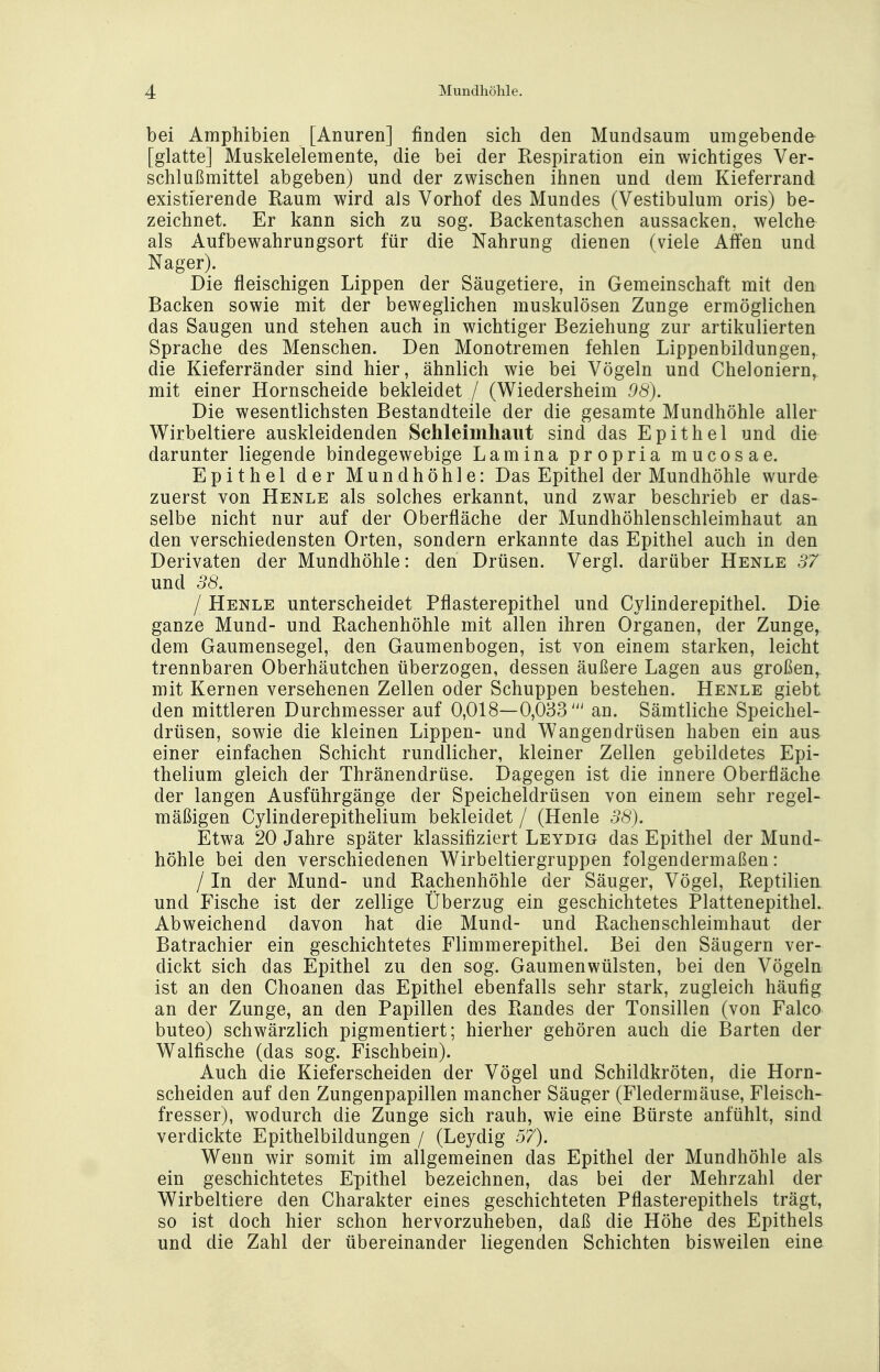 bei Amphibien [Anuren] finden sich den Mundsaum umgebende [glatte] Muskelelemente, die bei der Respiration ein wichtiges Ver- schlußmittel abgeben) und der zwischen ihnen und dem Kieferrand existierende Raum wird als Vorhof des Mundes (Vestibulum oris) be- zeichnet. Er kann sich zu sog. Backentaschen aussacken, welche als Aufbewahrungsort für die Nahrung dienen (viele Affen und Nager). Die fleischigen Lippen der Säugetiere, in Gemeinschaft mit den Backen sowie mit der beweglichen muskulösen Zunge ermöglichen das Saugen und stehen auch in wichtiger Beziehung zur artikulierten Sprache des Menschen. Den Monotremen fehlen Lippenbildungen, die Kieferränder sind hier, ähnlich wie bei Vögeln und Cheloniern, mit einer Hornscheide bekleidet / (Wiedersheim 98). Die wesentlichsten Bestandteile der die gesamte Mundhöhle aller Wirbeltiere auskleidenden Schleimhaut sind das Epithel und die darunter liegende bindegewebige Lamina propria mucosae. Epithel der Mundhöhle: Das Epithel der Mundhöhle wurde zuerst von Henle als solches erkannt, und zwar beschrieb er das- selbe nicht nur auf der Oberfläche der Mundhöhlenschleimhaut an den verschiedensten Orten, sondern erkannte das Epithel auch in den Derivaten der Mundhöhle: den Drüsen. Vergl. darüber Henle 37 und 38. I Henle unterscheidet Pflasterepithel und Cylinderepithel. Die ganze Mund- und Rachenhöhle mit allen ihren Organen, der Zunge, dem Gaumensegel, den Gaumenbogen, ist von einem starken, leicht trennbaren Oberhäutchen überzogen, dessen äußere Lagen aus großen, mit Kernen versehenen Zellen oder Schuppen bestehen. Henle giebt den mittleren Durchmesser auf 0,018—0,033' an. Sämtliche Speichel- drüsen, sowie die kleinen Lippen- und Wangendrüsen haben ein aus einer einfachen Schicht rundlicher, kleiner Zellen gebildetes Epi- thelium gleich der Thränendrüse. Dagegen ist die innere Oberfläche der langen Ausführgänge der Speicheldrüsen von einem sehr regel- mäßigen Cylinderepithelium bekleidet / (Henle 38). Etwa 20 Jahre später klassifiziert Leydig das Epithel der Mund- höhle bei den verschiedenen Wirbeltiergruppen folgendermaßen: / In der Mund- und Rachenhöhle der Säuger, Vögel, Reptilien und Fische ist der zellige Überzug ein geschichtetes Plattenepithel. Abweichend davon hat die Mund- und Rachen Schleimhaut der Batrachier ein geschichtetes Flimmerepithel. Bei den Säugern ver- dickt sich das Epithel zu den sog. Gaumenwülsten, bei den Vögeln ist an den Choanen das Epithel ebenfalls sehr stark, zugleich häufig an der Zunge, an den Papillen des Randes der Tonsillen (von Falco buteo) schwärzlich pigmentiert; hierher gehören auch die Barten der Walfische (das sog. Fischbein). Auch die Kieferscheiden der Vögel und Schildkröten, die Horn- scheiden auf den Zungenpapillen mancher Säuger (Fledermäuse, Fleisch- fresser), wodurch die Zunge sich rauh, wie eine Bürste anfühlt, sind verdickte Epithelbildungen / (Leydig 57). Wenn wir somit im allgemeinen das Epithel der Mundhöhle als ein geschichtetes Epithel bezeichnen, das bei der Mehrzahl der Wirbeltiere den Charakter eines geschichteten Pflasterepithels trägt, so ist doch hier schon hervorzuheben, daß die Höhe des Epithels und die Zahl der übereinander liegenden Schichten bisweilen eine