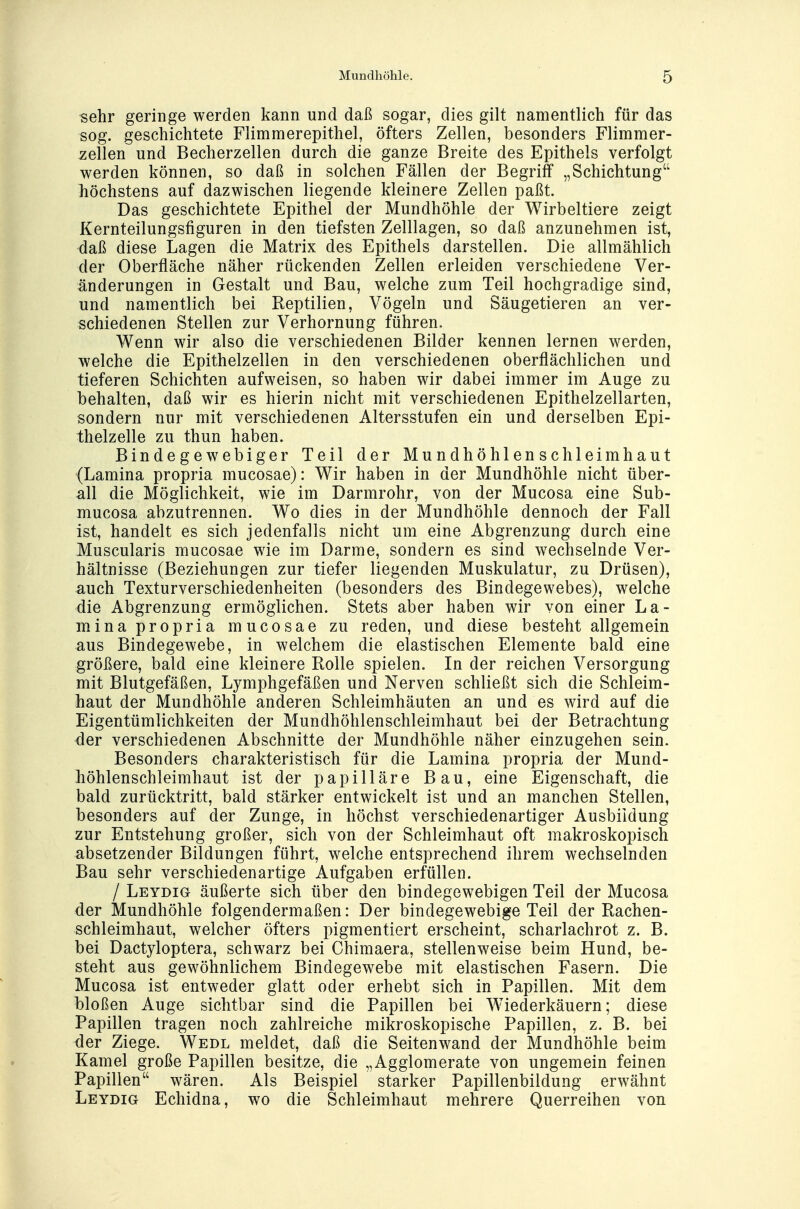 sehr geringe werden kann und daß sogar, dies gilt namentlich für das sog. geschichtete Flimmerepithel, öfters Zellen, besonders Flimmer- zellen und Becherzellen durch die ganze Breite des Epithels verfolgt werden können, so daß in solchen Fällen der Begriff „Schichtung höchstens auf dazwischen liegende kleinere Zellen paßt. Das geschichtete Epithel der Mundhöhle der Wirbeltiere zeigt Kernteilungsfiguren in den tiefsten Zelllagen, so daß anzunehmen ist, daß diese Lagen die Matrix des Epithels darstellen. Die allmählich der Oberfläche näher rückenden Zellen erleiden verschiedene Ver- änderungen in Gestalt und Bau, welche zum Teil hochgradige sind, und namentlich bei Reptilien, Vögeln und Säugetieren an ver- schiedenen Stellen zur Verhornung führen. Wenn wir also die verschiedenen Bilder kennen lernen werden, welche die Epithelzellen in den verschiedenen oberflächlichen und tieferen Schichten aufweisen, so haben wir dabei immer im Auge zu behalten, daß wir es hierin nicht mit verschiedenen Epithelzellarten, sondern nur mit verschiedenen Altersstufen ein und derselben Epi- thelzelle zu thun haben. Bindegewebiger Teil der Mundhöhlenschleimhaut (Lamina propria mucosae): Wir haben in der Mundhöhle nicht über- all die Möglichkeit, wie im Darmrohr, von der Mucosa eine Sub- mucosa abzutrennen. Wo dies in der Mundhöhle dennoch der Fall ist, handelt es sich jedenfalls nicht um eine Abgrenzung durch eine Muscularis mucosae wie im Darme, sondern es sind wechselnde Ver- hältnisse (Beziehungen zur tiefer liegenden Muskulatur, zu Drüsen), auch Texturverschiedenheiten (besonders des Bindegewebes), welche die Abgrenzung ermöglichen. Stets aber haben wir von einer La- mina propria mucosae zu reden, und diese besteht allgemein aus Bindegewebe, in welchem die elastischen Elemente bald eine größere, bald eine kleinere Rolle spielen. In der reichen Versorgung mit Blutgefäßen, Lymphgefäßen und Nerven schließt sich die Schleim- haut der Mundhöhle anderen Schleimhäuten an und es wird auf die Eigentümlichkeiten der Mundhöhlenschleimhaut bei der Betrachtung der verschiedenen Abschnitte der Mundhöhle näher einzugehen sein. Besonders charakteristisch für die Lamina propria der Mund- höhlenschleimhaut ist der papilläre Bau, eine Eigenschaft, die bald zurücktritt, bald stärker entwickelt ist und an manchen Stellen, besonders auf der Zunge, in höchst verschiedenartiger Ausbildung zur Entstehung großer, sich von der Schleimhaut oft makroskopisch absetzender Bildungen führt, welche entsprechend ihrem wechselnden Bau sehr verschiedenartige Aufgaben erfüllen. / Leydig äußerte sich über den bindegewebigen Teil der Mucosa der Mundhöhle folgendermaßen: Der bindegewebige Teil der Rachen- schleimhaut, welcher öfters pigmentiert erscheint, scharlachrot z. B. bei Dactyloptera, schwarz bei Chimaera, stellenweise beim Hund, be- steht aus gewöhnlichem Bindegewebe mit elastischen Fasern. Die Mucosa ist entweder glatt oder erhebt sich in Papillen. Mit dem bloßen Auge sichtbar sind die Papillen bei Wiederkäuern; diese Papillen tragen noch zahlreiche mikroskopische Papillen, z. B. bei der Ziege. Wedl meldet, daß die Seitenwand der Mundhöhle beim Kamel große Papillen besitze, die „Agglomerate von ungemein feinen Papillen wären. Als Beispiel starker Papillenbildung erwähnt Leydig Echidna, wo die Schleimhaut mehrere Querreihen von