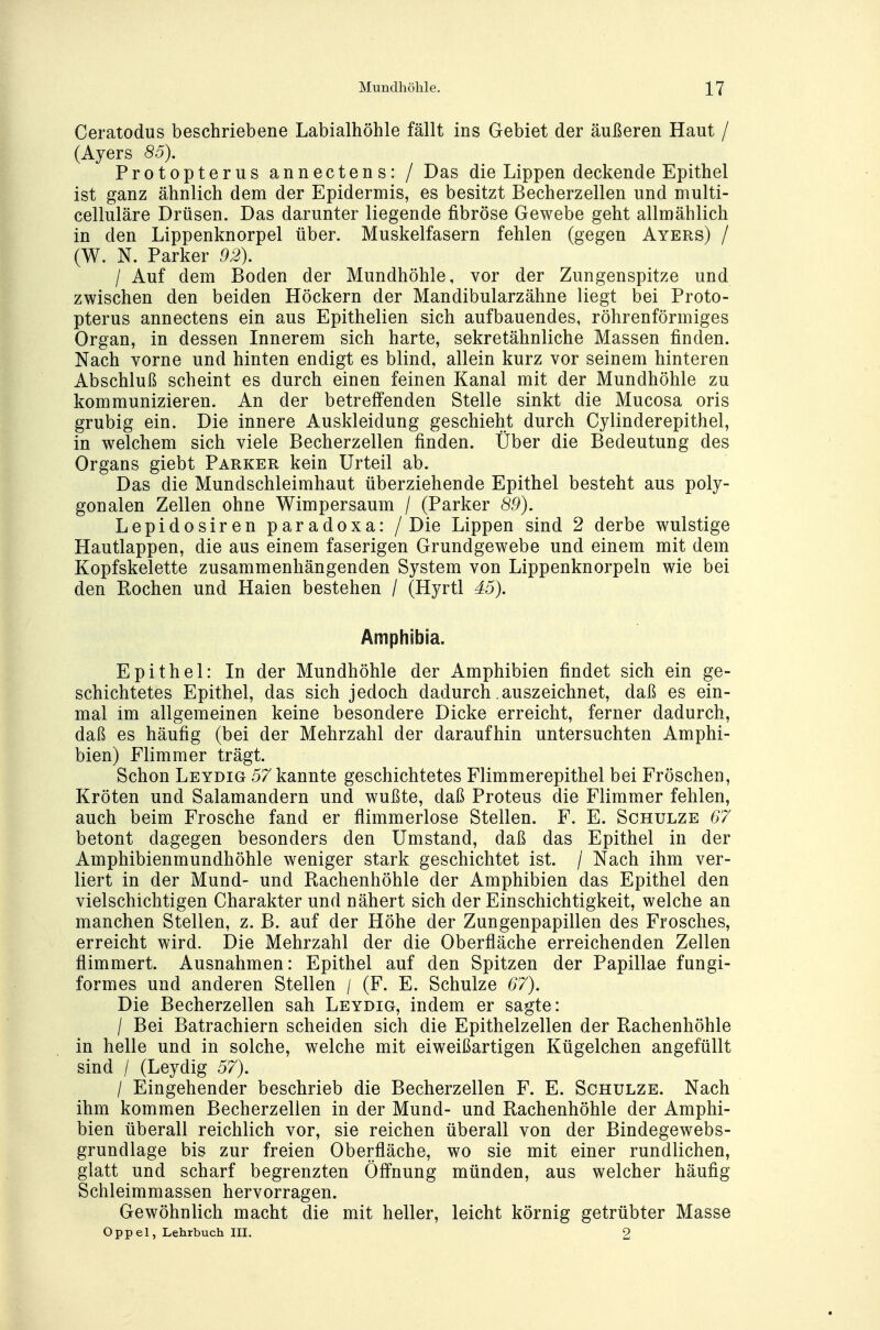 Ceratodus beschriebene Labialhöhle fällt ins Gebiet der äußeren Haut / (Ayers 85). Protopterus annectens: / Das die Lippen deckende Epithel ist ganz ähnlich dem der Epidermis, es besitzt Becherzellen und multi- celluläre Drüsen. Das darunter liegende fibröse Gewebe geht allmählich in den Lippenknorpel über. Muskelfasern fehlen (gegen Ayers) / (W. N. Parker 92). I Auf dem Boden der Mundhöhle, vor der Zungenspitze und zwischen den beiden Höckern der Mandibularzähne liegt bei Proto- pterus annectens ein aus Epithelien sich aufbauendes, röhrenförmiges Organ, in dessen Innerem sich harte, sekretähnliche Massen finden. Nach vorne und hinten endigt es blind, allein kurz vor seinem hinteren Abschluß scheint es durch einen feinen Kanal mit der Mundhöhle zu kommunizieren. An der betreffenden Stelle sinkt die Mucosa oris grubig ein. Die innere Auskleidung geschieht durch Cylinderepithel, in welchem sich viele Becherzellen finden. Über die Bedeutung des Organs giebt Parker kein Urteil ab. Das die Mundschleimhaut überziehende Epithel besteht aus poly- gonalen Zellen ohne Wimpersaum / (Parker 89). Lepidosiren paradoxa: / Die Lippen sind 2 derbe wulstige Hautlappen, die aus einem faserigen Grundgewebe und einem mit dem Kopfskelette zusammenhängenden System von Lippenknorpeln wie bei den Rochen und Haien bestehen / (Hyrtl 45). Amphibia. Epithel: In der Mundhöhle der Amphibien findet sich ein ge- schichtetes Epithel, das sich jedoch dadurch auszeichnet, daß es ein- mal im allgemeinen keine besondere Dicke erreicht, ferner dadurch, daß es häufig (bei der Mehrzahl der daraufhin untersuchten Amphi- bien) Flimmer trägt. Schon Leydig 57 kannte geschichtetes Flimmerepithel bei Fröschen, Kröten und Salamandern und wußte, daß Proteus die Flimmer fehlen, auch beim Frosche fand er flimmerlose Stellen. F. E. Schulze 67 betont dagegen besonders den Umstand, daß das Epithel in der Amphibienmundhöhle weniger stark geschichtet ist. / Nach ihm ver- liert in der Mund- und Rachenhöhle der Amphibien das Epithel den vielschichtigen Charakter und nähert sich der Einschichtigkeit, welche an manchen Stellen, z. B. auf der Höhe der Zungenpapillen des Frosches, erreicht wird. Die Mehrzahl der die Oberfläche erreichenden Zellen flimmert. Ausnahmen: Epithel auf den Spitzen der Papillae fungi- formes und anderen Stellen / (F. E. Schulze 67). Die Becherzellen sah Leydig, indem er sagte: / Bei Batrachiern scheiden sich die Epithelzellen der Rachenhöhle in helle und in solche, welche mit eiweißartigen Kügelchen angefüllt sind / (Leydig 57). j Eingehender beschrieb die Becherzellen F. E. Schulze. Nach ihm kommen Becherzellen in der Mund- und Rachenhöhle der Amphi- bien überall reichlich vor, sie reichen überall von der Bindegewebs- grundlage bis zur freien Oberfläche, wo sie mit einer rundlichen, glatt und scharf begrenzten Öffnung münden, aus welcher häufig Schleimmassen hervorragen. Gewöhnlich macht die mit heller, leicht körnig getrübter Masse Oppel, Lehrbuch III. 2