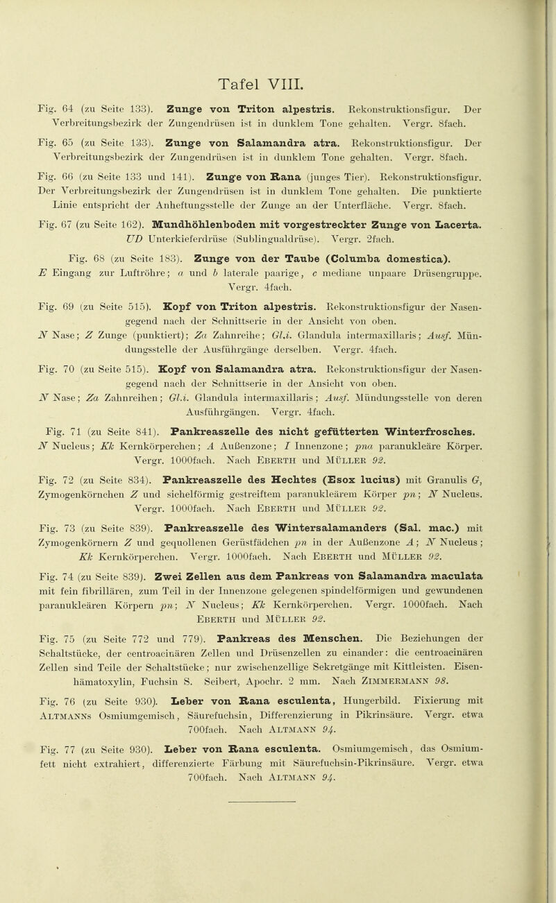 Fig. 64 (zu Seite 133). Zunge von Triton alpestris. Rekonstruktionsfigur. Der Verbreitungsbezirk der Zungendrüsen ist in dunklem Tone gehalten. Vergr. 8fach. Fig. 65 (zu Seite 133). Zunge von Salamandra atra. Rekonstruktionsfigur. Der Verbreitungsbezirk der Zungendrüsen ist in dunklem Tone gehalten. Vergr. 8fach. Fig. 66 (zu Seite 133 und 141). Zunge von B>ana (junges Tier). Rekonstruktionsfigur. Der Verbreitungsbezirk der Zungendrüsen ist in dunklem Tone gehalten. Die punktierte Linie entspricht der Anheftungsstelle der Zunge an der Unterfläche. Vergr. 8fach. Fig. 67 (zu Seite 162). Mundhöhlenboden mit vorgestreckter Zunge von Lacerta. UD Unterkieferdrüse (Sublingualdrüse). Vergr. 2fach. Fig. 68 (zu Seite 183). Zunge von der Taube (Columba domestica). E Eingang zur Luftröhre; a und b laterale paarige, c mediane unpaare Drüsengruppe. Vergr. 4fach. Fig. 69 (zu Seite 515). Kopf von Triton alpestris. Rekonstruktionsfigur der Nasen- gegend nach der Schnittserie in der Ansicht von oben. .ZV Nase; Z Zunge (punktiert); Za Zahnreihe; Gl.i. Glandula intermaxillaris; Ausf. Mün- dungsstelle der Ausführgänge derselben. Vergr. 4fach. Fig. 70 (zu Seite 515). Kopf von Salamandra atra. Rekonstruktionsfigur der Nasen- gegend nach der Schnittserie in der Ansicht von oben. .ZV Nase; Za Zahnreihen; Gl.i. Glandula intermaxillaris; Ausf. Mündungsstelle von deren Ausführgängen. Vergr. 4fach. Fig. 71 (zu Seite 841). Pankreaszelle des nicht gefütterten Winterfrosches. .ZV Nucleus; Kk Kernkörperchen; A Außenzone; / Innenzone; pna paranukleäre Körper. Vergr. lOOOfach. Nach Ebeeth und Müllee 92. Fig. 72 (zu Seite 834). Pankreaszelle des Hechtes (Esox lucius) mit Granulis G, Zymogenkörnchen Z und sichelförmig gestreiftem paranukleärem Körper pn; 2V Nucleus. Vergr. lOOOfach. Nach Ebeeth und Müllee 92. Fig. 73 (zu Seite 839). Pankreaszelle des Wintersalamanders (Sal. mac.) mit Zymogenkörnern Z und gequollenen Gerüstfädchen pn in der Außenzone A; iV Nucleus ; Kk Kernkörperchen. Vergr. lOOOfach. Nach Ebeeth und Müllee 92. Fig. 74 (zu Seite 839). Zwei Zellen aus dem Pankreas von Salamandra maculata mit fein fibrillären, zum Teil in der Innenzone gelegenen spindelförmigen und gewundenen paranukleären Körpern pn; N Nucleus; Kk Kernkörperchen. Vergr. lOOOfach. Nach Ebeeth und Müllee 92. Fig. 75 (zu Seite 772 und 779). Pankreas des Menschen. Die Beziehungen der Schaltstücke, der centroacinären Zellen und Drüsenzellen zu einander: die ceütroacinären Zellen sind Teile der Schaltstücke; nur zwischenzellige Sekretgänge mit Kittleisten. Eisen- hämatoxylin, Fuchsin S. Seibert, Apochr. 2 mm. Nach Zimmeemann 98. Fig. 76 (zu Seite 930). Leber von Rana esculenta, Hungerbild. Fixierung mit Altmanns Osmiumgemisch, Säurefuchsin, Differenzierung in Pikrinsäure. Vergr. etwa 700fach. Nach Altmann 94. Fig. 77 (zu Seite 930). Leber von Rana esculenta. Osmiumgemisch, das Osmium- fett nicht extrahiert, differenzierte Färbung mit Säurefuchsin-Pikrinsäure. Vergr. etwa 700fach. Nach Altmann 94.