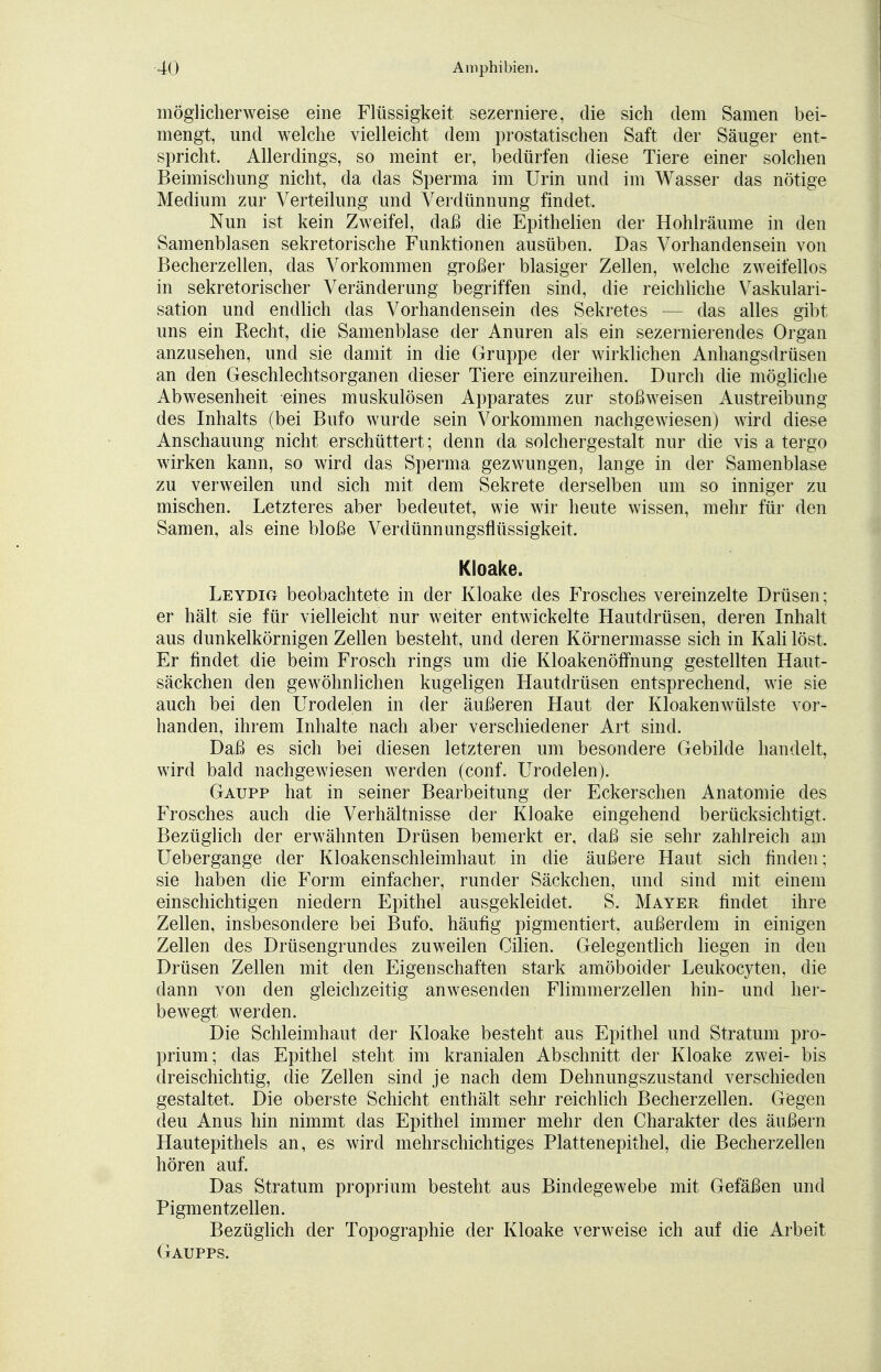 möglicherweise eine Flüssigkeit sezerniere, die sich dem Samen bei- mengt, und welche vielleicht dem prostatischen Saft der Säuger ent- spricht, Allerdings, so meint er, bedürfen diese Tiere einer solchen Beimischung nicht, da das Sperma im Urin und im Wasser das nötige Medium zur Verteilung und Verdünnung findet. Nun ist kein Zweifel, daß die Epithelien der Hohlräume in den Samenblasen sekretorische Funktionen ausüben. Das Vorhandensein von Becherzellen, das Vorkommen großer blasiger Zellen, welche zweifellos in sekretorischer Veränderung begriffen sind, die reichliche Vaskulari- sation und endlich das Vorhandensein des Sekretes — das alles gibt uns ein Recht, die Samenblase der Anuren als ein sezernierendes Organ anzusehen, und sie damit in die Gruppe der wirklichen Anhangsdrüsen an den Geschlechtsorganen dieser Tiere einzureihen. Durch die mögliche Abwesenheit eines muskulösen Apparates zur stoßweisen Austreibung des Inhalts (bei Bufo wurde sein Vorkommen nachgewiesen) wird diese Anschauung nicht erschüttert; denn da solchergestalt nur die vis a tergo Avirken kann, so wird das Sperma gezwungen, lange in der Samenblase zu verweilen und sich mit dem Sekrete derselben um so inniger zu mischen. Letzteres aber bedeutet, wie wir heute wissen, mehr für den Samen, als eine bloße Verdünnungsflüssigkeit. Kloake. Leydig beobachtete in der Kloake des Frosches vereinzelte Drüsen: er hält sie für vielleicht nur weiter entwickelte Hautdrüsen, deren Inhalt aus dunkelkörnigen Zellen besteht, und deren Körnermasse sich in Kali löst, Er findet die beim Frosch rings um die Kloakenöffnung gestellten Haut- säckchen den gewöhnlichen kugeligen Hautdrüsen entsprechend, wie sie auch bei den Urodelen in der äußeren Haut der Kloakenwülste vor- handen, ihrem Inhalte nach aber verschiedener Art sind. Daß es sich bei diesen letzteren um besondere Gebilde handelt, wird bald nachgewiesen werden (conf. Urodelen). Gaupp hat in seiner Bearbeitung der Eckerschen Anatomie des Frosches auch die Verhältnisse der Kloake eingehend berücksichtigt. Bezüglich der erwähnten Drüsen bemerkt er, daß sie sehr zahlreich am Uebergange der Kloakenschleimhaut in die äußere Haut sich finden; sie haben die Form einfacher, runder Säckchen, und sind mit einem einschichtigen niedern Epithel ausgekleidet. S. Mayer findet ihre Zellen, insbesondere bei Bufo, häufig pigmentiert, außerdem in einigen Zellen des Drüsengrundes zuweilen Cilien. Gelegentlich liegen in den Drüsen Zellen mit den Eigenschaften stark amöboider Leukocyten, die dann von den gleichzeitig anwesenden Flimmerzellen hin- und her- bewegt werden. Die Schleimhaut der Kloake besteht aus Epithel und Stratum pro- prium; das Epithel steht im kranialen Abschnitt der Kloake zwei- bis dreischichtig, die Zellen sind je nach dem Dehnungszustand verschieden gestaltet. Die oberste Schicht enthält sehr reichlich Becherzellen. Gegen deu Anus hin nimmt das Epithel immer mehr den Charakter des äußern Hautepithels an, es wird mehrschichtiges Plattenepithel, die Becherzellen hören auf. Das Stratum proprium besteht aus Bindegewebe mit Gefäßen und Pigmentzellen. Bezüglich der Topographie der Kloake verweise ich auf die Arbeit Gaupps.