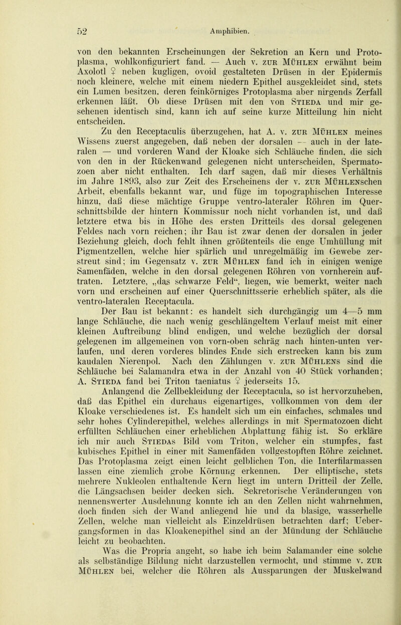 von den bekannten Erscheinungen der Sekretion an Kern und Proto- plasma, wohlkonfiguriert fand. — Auch v. zur Mühlen erwähnt beim Axolotl ? neben kugligen, ovoid gestalteten Drüsen in der Epidermis noch kleinere, welche mit einem niedern Epithel ausgekleidet sind, stets ein Lumen besitzen, deren feinkörniges Protoplasma aber nirgends Zerfall erkennen läßt. Ob diese Drüsen mit den von Stieda und mir ge- sehenen identisch sind, kann ich auf seine kurze Mitteilung hin nicht entscheiden. Zu den Receptaculis überzugehen, hat A. v. zur Mühlen meines Wissens zuerst angegeben, daß neben der dorsalen auch in der late- ralen — und vorderen Wand der Kloake sich Schläuche finden, die sich von den in der Rückenwand gelegenen nicht unterscheiden, Spermato- zoon aber nicht enthalten. Ich darf sagen, daß mir dieses Verhältnis im Jahre 1893, also zur Zeit des Erscheinens der v. zur MÜHLENschen Arbeit, ebenfalls bekannt war, und füge im topographischen Interesse hinzu, daß diese mächtige Gruppe ventro-lateraler Röhren im Quer- schnittsbilde der hintern Kommissur noch nicht vorhanden ist, und daß letztere etwa bis in Höhe des ersten Dritteiis des dorsal gelegenen Feldes nach vorn reichen; ihr Bau ist zwar denen der dorsalen in jeder Beziehung gleich, doch fehlt ihnen größtenteils die enge Umhüllung mit Pigmentzellen, welche hier spärlich und unregelmäßig im Gewebe zer- streut sind; im Gegensatz v. zur Mühlen fand ich in einigen wenige Samenfäden, welche in den dorsal gelegenen Röhren von vornherein auf- traten. Letztere, „das schwarze Feld, liegen, wie bemerkt, weiter nach vorn und erscheinen auf einer Querschnittsserie erheblich später, als die ventro-lateralen Receptacula. Der Bau ist bekannt: es handelt sich durchgängig um 4—5 mm lange Schläuche, die nach wenig geschlängeltem Verlauf meist mit einer kleinen Auftreibung blind endigen, und welche bezüglich der dorsal gelegenen im allgemeinen von vorn-oben schräg nach hinten-unten ver- laufen, und deren vorderes blindes Ende sich erstrecken kann bis zum kaudalen Nierenpol. Nach den Zählungen v. zur Mühlens sind die Schläuche bei Salamandra etwa in der Anzahl von 40 Stück vorhanden; A. Stieda fand bei Triton taeniatus ? jederseits 15. Anlangend die Zellbekleidung der Receptacula, so ist hervorzuheben, daß das Epithel ein durchaus eigenartiges, vollkommen von dem der Kloake verschiedenes ist. Es handelt sich um ein einfaches, schmales und sehr hohes Cylinderepithel, welches allerdings in mit Spermatozoon dicht erfüllten Schläuchen einer erheblichen Abplattung fähig ist. So erkläre ich mir auch Stiedas Bild vom Triton, welcher ein stumpfes, fast kubisches Epithel in einer mit Samenfäden vollgestopften Röhre zeichnet. Das Protoplasma zeigt einen leicht gelblichen Ton, die Interfilarmassen lassen eine ziemlich grobe Körnung erkennen. Der elliptische, stets mehrere Nukleolen enthaltende Kern liegt im untern Dritteil der Zelle, die Längsachsen beider decken sich. Sekretorische Veränderungen von nennenswerter Ausdehnung konnte ich an den Zellen nicht wahrnehmen, doch finden sich der Wand anliegend hie und da blasige, wasserhelle Zellen, welche man vielleicht als Einzeldrüsen betrachten darf; Ueber- gangsformen in das Kloakenepithel sind an der Mündung der Schläuche leicht zu beobachten. Was die Propria angeht, so habe ich beim Salamander eine solche als selbständige Bildung nicht darzustellen vermocht, und stimme v. zur Mühlen bei, welcher die Röhren als Aussparungen der Muskelwand