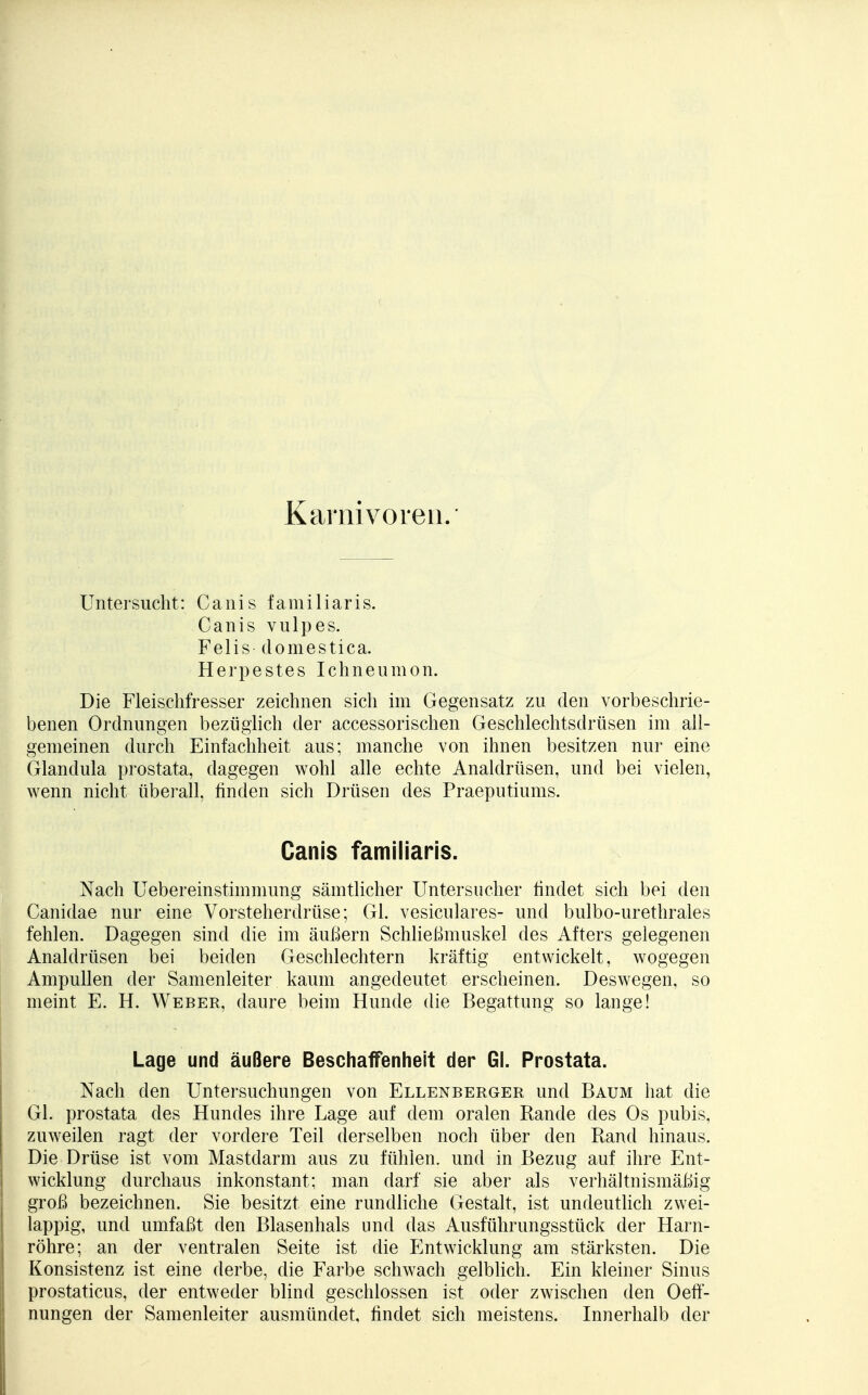 Kamivoren. Untersucht: Canis familiaris. Canis vulpes. Felis domestica. Herpestes Ichneumon. Die Fleischfresser zeichnen sich im Gegensatz zu den vorbeschrie- benen Ordnungen bezüglich der accessorischen Geschlechtsdrüsen im all- gemeinen durch Einfachheit aus; manche von ihnen besitzen nur eine Glandula prostata, dagegen wohl alle echte Analdrüsen, und bei vielen, wenn nicht überall, finden sich Drüsen des Praeputiums. Canis familiaris. Nach Uebereinstimmung sämtlicher Untersucher findet sich bei den Canidae nur eine Vorsteherdrüse; Gl. vesiculares- und bulbo-urethrales fehlen. Dagegen sind die im äußern Schließmuskel des Afters gelegenen Analdrüsen bei beiden Geschlechtern kräftig entwickelt, wogegen Ampullen der Samenleiter kaum angedeutet erscheinen. Deswegen, so meint E. H. Weber, daure beim Hunde die Begattung so lange! Lage und äußere Beschaffenheit der Gl. Prostata. Nach den Untersuchungen von Ellenberger und Baum hat die Gl. prostata des Hundes ihre Lage auf dem oralen Rande des Os pubis, zuweilen ragt der vordere Teil derselben noch über den Rand hinaus. Die Drüse ist vom Mastdarm aus zu fühlen, und in Bezug auf ihre Ent- wicklung durchaus inkonstant; man darf sie aber als verhältnismäßig groß bezeichnen. Sie besitzt eine rundliche Gestalt, ist undeutlich zwei- lappig, und umfaßt den Blasenhals und das Ausführungsstück der Harn- röhre; an der ventralen Seite ist die Entwicklung am stärksten. Die Konsistenz ist eine derbe, die Farbe schwach gelblich. Ein kleiner Sinus prostaticus, der entweder blind geschlossen ist oder zwischen den Oeff- nungen der Samenleiter ausmündet, findet sich meistens. Innerhalb der