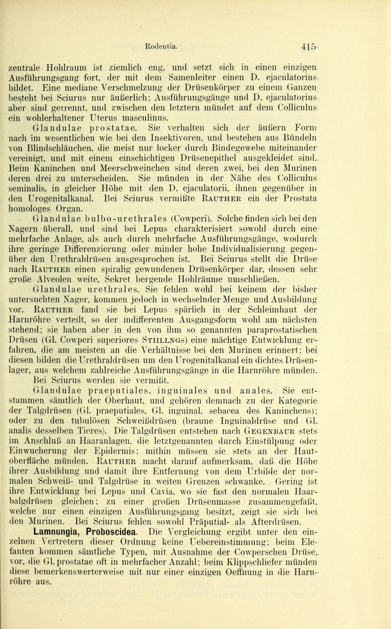 zentrale Hohlraum ist ziemlich eng, und setzt sich in einen einzigen Ausführungsgang fort, der mit dem Samenleiter einen D. ejaculatorius bildet. Eine mediane Verschmelzung der Drüsenkörper zu einem Ganzen besteht bei Sciurus nur äußerlich; Ausführungsgänge und D. ejaculatorius aber sind getrennt, und zwischen den letztern mündet auf dem Colliculus ein wohlerhaltener Uterus masculinus. Glandulae prostatae. Sie verhalten sich der äußern Form nach im wesentlichen wie bei den Insektivoren, und bestehen aus Bündeln von Blindschläuchen, die meist nur locker durch Bindegewebe miteinander vereinigt, und mit einem einschichtigen Drüsenepithel ausgekleidet sind.. Beim Kaninchen und Meerschweinchen sind deren zwei, bei den Murinen deren drei zu unterscheiden. Sie münden in der Nähe des Colliculus seminalis, in gleicher Höhe mit den D. ejaculatorii, ihnen gegenüber in den Urogenitalkanal. Bei Sciurus vermißte Rauther ein der Prostata homologes Organ. Glandulae bulbo-urethrales (Cowperi). Solche finden sich bei den Nagern überall, und sind bei Lepus charakterisiert sowohl durch eine mehrfache Anlage, als auch durch mehrfache Ausführungsgänge, wodurch ihre geringe Differenzierung oder minder hohe Individualisierung gegen- über den Urethraldrüsen ausgesprochen ist. Bei Sciurus stellt die Drüse- nach Rauther einen spiralig gewundenen Drüsenkörper dar, dessen sehr, große Alveolen weite, Sekret bergende Hohlräume umschließen. Glandulae urethrales. Sie fehlen wohl bei keinem der bisher untersuchten Nager, kommen jedoch in wechselnder Menge und Ausbildung vor. Rauther fand sie bei Lepus spärlich in der Schleimhaut der Harnröhre verteilt, so der indifferenten Ausgangsform wohl am nächsten stehend; sie haben aber in den von ihm so genannten paraprostatischen Drüsen (Gl. Cowperi superiores Stiillngs) eine mächtige Entwicklung er- fahren, die am meisten an die Verhältnisse bei den Murinen erinnert; bei diesen bilden die Urethraldrüsen um den Urogenitalkanal ein dichtes Drüsen- lager, aus welchem zahlreiche Ausführungsgänge in die Harnröhre münden. Bei Sciurus werden sie vermißt. Glandulae praeputiales, inguinales und anales. Sie ent- stammen sämtlich der Oberhaut, und gehören demnach zu der Kategorie der Talgdrüsen (Gl. praeputiales, Gl. inguinal, sebacea des Kaninchens); oder zu den tubulösen Schweißdrüsen (braune Inguinaldrüse und Gl. analis desselben Tieres). Die Talgdrüsen entstehen nach Gegenbaur stets im Anschluß an Haaranlagen, die letztgenannten durch Einstülpung oder Ein Wucherung der Epidermis; mithin müssen sie stets an der Haut- oberfläche münden. Rauther macht darauf aufmerksam, daß die Höhe ihrer Ausbildung und damit ihre Entfernung von dem Urbilde der nor- malen Schweiß- und Talgdrüse in weiten Grenzen schwanke. . Gering ist ihre Entwicklung bei Lepus und Cavia. wo sie fast den normalen Haar- balgdrüsen gleichen; zu einer großen Drüsenmasse zusammengefaßt, welche nur einen einzigen Ausführungsgang besitzt, zeigt sie sich bei den Murinen. Bei Sciurus fehlen sowohl Präputial- als Afterdrüsen. Lamnungia, Proboscidea. Die Vergleichung ergibt unter den ein- zelnen Vertretern dieser Ordnung keine Uebereinstimmung; beim Ele- fanten kommen sämtliche Typen, mit Ausnahme der Cowperschen Drüse,, vor, die Gl. prostatae oft in mehrfacher Anzahl; beim Klippschliefer münden diese bemerkenswerterweise mit nur einer einzigen Oeffnung in die Harn- röhre aus.