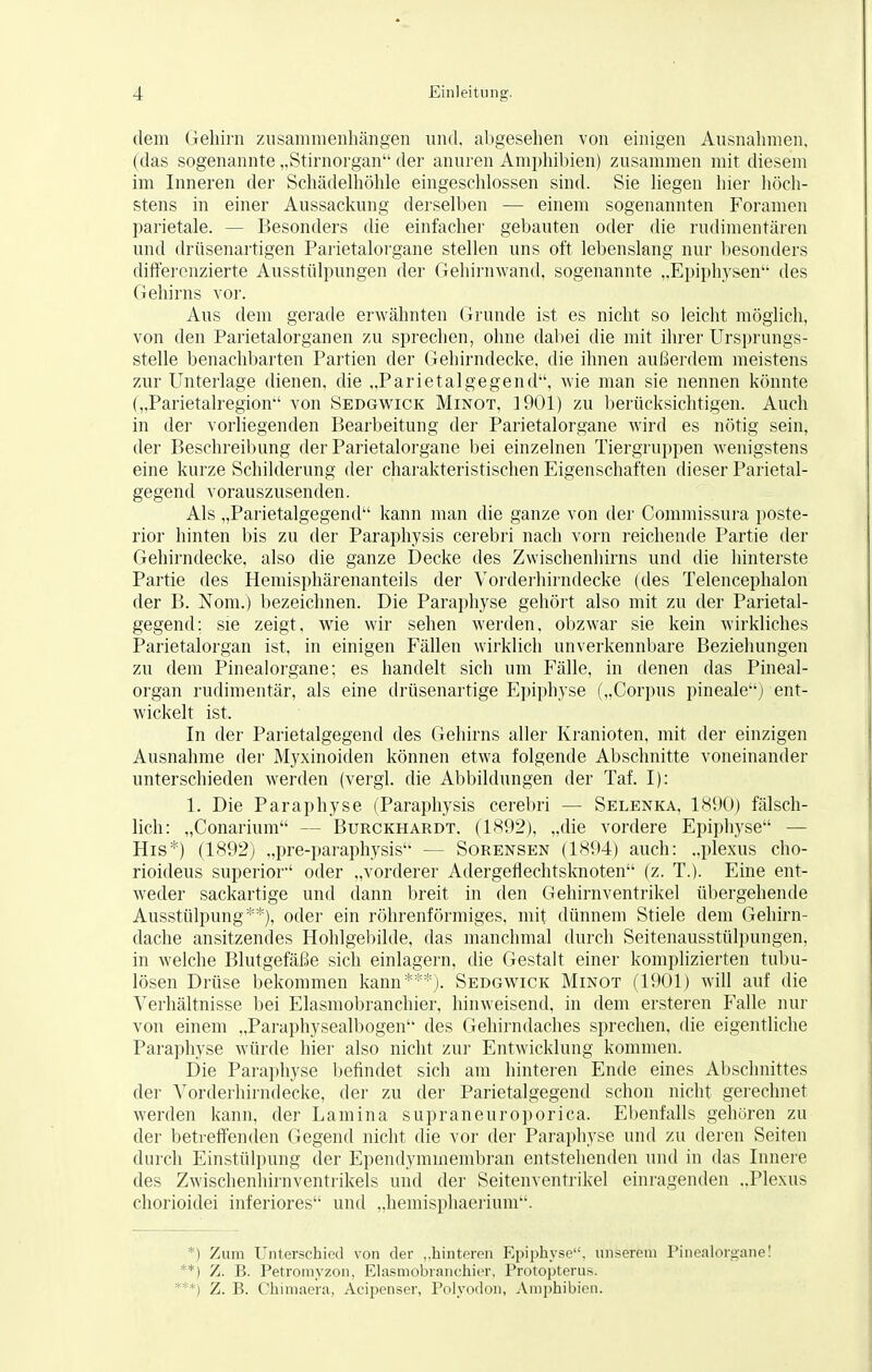 dem Gehirn zusammenhängen und, abgesehen von einigen Ausnahmen, (das sogenannte „Stirnorgan der anuren Amphibien) zusammen mit diesem im Inneren der Schädelhöhle eingeschlossen sind. Sie liegen hier höch- stens in einer Aussackung derselben — einem sogenannten Foramen parietale. — Besonders die einfacher gebauten oder die rudimentären und drüsenartigen Parietalorgane stellen uns oft lebenslang nur besonders differenzierte Ausstülpungen der Gehirn wand, sogenannte „Epiphysen des Gehirns vor. Aus dem gerade erwähnten Grunde ist es nicht so leicht möglich, von den Parietalorganen zu sprechen, ohne dabei die mit ihrer Ursprungs- stelle benachbarten Partien der Gehirndecke, die ihnen außerdem meistens zur Unterlage dienen, die „Parietalgegend, wie man sie nennen könnte („Parietalregion von Sedgwick Minot, ]901) zu berücksichtigen. Auch in der vorliegenden Bearbeitung der Parietalorgane wird es nötig sein, der Beschreibung der Parietalorgane bei einzelnen Tiergruppen wenigstens eine kurze Schilderung der charakteristischen Eigenschaften dieser Parietal- gegend vorauszusenden. Als „Parietalgegend kann man die ganze von der Commissura poste- rior hinten bis zu der Paraphysis cerebri nach vorn reichende Partie der Gehirndecke, also die ganze Decke des Zwischenhirns und die hinterste Partie des Hemisphärenanteils der Vorderhirndecke (des Telencephalon der B. Nom.) bezeichnen. Die Paraphyse gehört also mit zu der Parietal- gegend; sie zeigt, wie wir sehen werden, obzwar sie kein wirkliches Parietalorgan ist, in einigen Fällen wirklich unverkennbare Beziehungen zu dem Pinealorgane; es handelt sich um Fälle, in denen das Pineal- organ rudimentär, als eine drüsenartige Epiphyse („Corpus pineale) ent- wickelt ist. In der Parietalgegend des Gehirns aller Kranioten, mit der einzigen Ausnahme der Myxinoiden können etwa folgende Abschnitte voneinander unterschieden werden (vergl. die Abbildungen der Taf. I): 1. Die Paraphyse (Paraphysis cerebri — Selenka, 1890) fälsch- lich: „Conarium - - Burckhardt. (1892), „die vordere Epiphyse — His*) (1892) „pre-paraphysis — Sorensen (1894) auch: „plexus cho- rioideus superior oder „vorderer Adergefiechtsknoten (z. T.). Eine ent- weder sackartige und dann breit in den Gehirnventrikel übergehende Ausstülpung**), oder ein röhrenförmiges, mit dünnem Stiele dem Gehirn- dache ansitzendes Hohlgebilde, das manchmal durch Seitenausstülpungen, in welche Blutgefäße sich einlagern, die Gestalt einer komplizierten tubu- lösen Drüse bekommen kann***). Sedgwick Minot (1901) will auf die Verhältnisse bei Elasmobranchier, hinweisend, in dem ersteren Falle nur von einem „Paraphysealbogen des Gehirndaches sprechen, die eigentliche Paraphyse würde hier also nicht zur Entwicklung kommen. Die Paraphyse befindet sich am hinteren Ende eines Abschnittes der Vorderhirndecke, der zu der Parietalgegend schon nicht gerechnet werden kann, der Lamina supraneuroporica. Ebenfalls gehören zu der betreffenden Gegend nicht die vor der Paraphyse und zu deren Seiten durch Einstülpung der Ependyminembran entstehenden und in das Innere des Zwischenhirnventrikels und der Seitenventrikel einragenden „Plexus chorioidei inferiores und „hemisphaerium. *) Zum Unterschied von der „hinteren Epiphyse, unserem Pinealorgane! *) Z. B. Petromyzon, Elasmobranchier, Protopterus. ***) Z. P>. Chimaera, Acipenser, Polyodon, Amphibien.