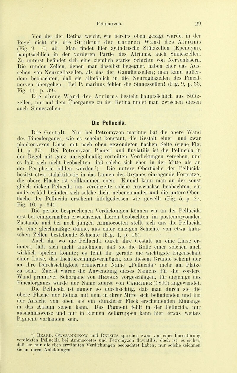 Von der der Retina weicht, wie bereits oben gesagt wurde, in der Regel nicht viel die Struktur der unteren Wand des Atriums (Fig. 9, 10) ab. Man findet hier zylindrische Stützzellen (Ependym), hauptsächlich in der vorderen Partie des Atriums, auch Sinneszellen. Zu unterst befindet sich eine ziemlich starke Schichte von Nervenfasern. Die runden Zellen, denen man daselbst begegnet, haben eher das Aus- sehen von Neurogliazellen. als das der Ganglienzellen; man kann außer- dem beobachten, daß sie allmählich in die Neurogliazellen des Pineal- nerven übergehen. Bei P. marinus fehlen die Sinneszellen! (Fig. 9, p. 33, Fig. 11, p. 39). Die obere Wand des Atriums besteht hauptsächlich aus Stütz- zellen, nur auf dem Übergange zu der Retina findet man zwischen diesen auch Sinneszellen. Die Pellucida. Die Gestalt. Nur bei Petromyzon marinus hat die obere Wand des Pinealorganes. wie es scheint konstant, die Gestalt einer, und zwar plankonvexen Linse, mit nach oben gewendeten flachen Seite (siehe Fig. 11. p. 39). Bei Petromyzon Pianeri und fluviatilis ist die Pellucida in der Regel mit ganz unregelmäßig verteilten Verdickungen versehen, und es läßt sich nicht beobachten, daß solche sich eher in der Mitte als an der Peripherie bilden würden*). Die untere Oberfläche der Pellucida besitzt etwa stalaktitartig in das Lumen des Organes einragende Fortsätze; die obere Fläche ist vollkommen eben. Einmal kann man an der sonst gleich dicken Pelucida nur vereinzelte solche Auswüchse beobachten, ein anderes Mal befinden sich solche dicht nebeneinander und die untere Ober- fläche der Pellucida erscheint infolgedessen wie gewellt (Fig. 5, p. 22. Fig. 10, p. 34). Die gerade besprochenen Verdickungen können wir an der Pellucida erst bei einigermaßen erwachsenen Tieren beobachten, im postembryonalen Zustande und bei noch jungen Ammocoeten stellt sich uns die Pellucida als eine gleichmäßige dünne, aus einer einzigen Schichte von etwa kubi- schen Zellen bestehende Schichte (Fig. 1, p. 13). Auch da, wo die Pellucida durch ihre Gestalt an eine Linse er- innert, läßt sich nicht annehmen, daß sie die Rolle einer solchen auch wirklich spielen könnte; es fehlt ihr gerade die wichtigste Eigenschaft einer Linse, das Lichtbrechungsvermögen. aus diesem Grunde scheint der an ihre Durchsichtigkeit erinnernde Name „Pellucida1- mehr am Platze zu sein. Zuerst wurde die Anwendung dieses Namens für die vordere Wand primitiver Sehorgane von Hensen vorgeschlagen, für diejenige des Pinealorganes wurde der Name zuerst von Carriere (1890) angewendet. Die Pellucida ist immer so durchsichtig, daß man durch sie die obere Fläche der Retina mit dem in ihrer Mitte sich befindenden und bei der Ansicht von oben als ein dunklerer Fleck erscheinenden Eingange in das Atrium sehen kann. Das Pigment fehlt in der Pellucida, nur ausnahmsweise und nur in kleinen Zellgruppen kann hier etwas weißes Pigment vorhanden sein. *) Beard, Owsjannikow und Retzitjs sprechen zwar von einer linsenförmig* verdickten Pellucida bei Ammocoetes und Petromyzon fluviatilis, doch ist es sicher, daß sie nur die eben erwähnten Verdickungen beobachtet haben; nur solche zeichnen sie in ihren Abbildungen.
