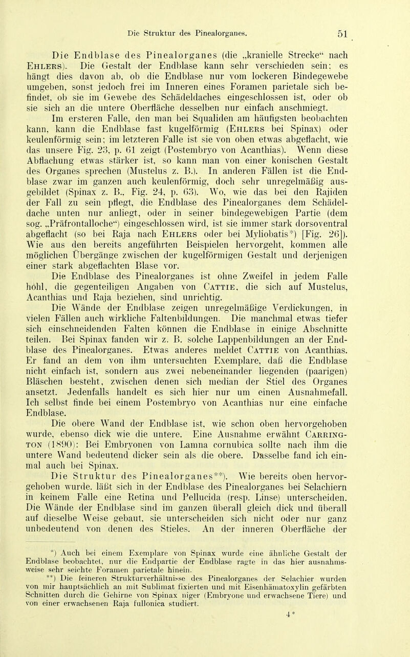 Die Endblase des Pinealorganes (die „kranielle Strecke nach Ehlers). Die Gestalt der Endblase kann sehr verschieden sein; es hängt dies davon ab, ob die Endblase nur vom lockeren Bindegewebe umgeben, sonst jedoch frei im Inneren eines Foramen parietale sich be- findet, ob sie im Gewebe des Schädeldaches eingeschlossen ist, oder ob sie sich an die untere Oberfläche desselben nur einfach anschmiegt. Im ersteren Falle, den man bei Squaliden am häufigsten beobachten kann, kann die Endblase fast kugelförmig (Ehlers bei Spinax) oder keulenförmig sein; im letzteren Falle ist sie von oben etwas abgeflacht, wie das unsere Fig. 23, p. 61 zeigt (Postembryo von Acanthias). Wenn diese Abflachung etwas stärker ist, so kann man von einer konischen Gestalt des Organes sprechen (Mustelus z. B.). In anderen Fällen ist die End- blase zwar im ganzen auch keulenförmig, doch sehr unregelmäßig aus- gebildet (Spinax z. B.. Fig. 24, p. 63). Wo, wie das bei den Rajiden der Fall zu sein pflegt, die Endblase des Pinealorganes dem Schädel- dache unten nur anliegt, oder in seiner bindegewebigen Partie (dem sog. „Präfrontalloche•') eingeschlossen wird, ist sie immer stark dorsoventral abgeflacht (so bei Raja nach Ehlers oder bei Myliobatis*) [Fig. 26]). Wie aus den bereits angeführten Beispielen hervorgeht, kommen alle möglichen Übergänge zwischen der kugelförmigen Gestalt und derjenigen einer stark abgeflachten Blase vor. Die Endblase des Pinealorganes ist ohne Zweifel in jedem Falle höhl, die gegenteiligen Angaben von Cattie. die sich auf Mustelus, Acanthias und Raja beziehen, sind unrichtig. Die Wände der Endblase zeigen unregelmäßige Verdickungen, in vielen Fällen auch wirkliche Faltenbildungen. Die manchmal etwas tiefer sich einschneidenden Falten können die Endblase in einige Abschnitte teilen. Bei Spinax fanden wir z. B. solche Lappenbildungen an der End- blase des Pinealorganes. Etwas anderes meldet Cattie von Acanthias. Er fand an dem von ihm untersuchten Exemplare, daß die Endblase nicht einfach ist, sondern aus zwei nebeneinander liegenden (paarigen) Bläschen besteht, zwischen denen sich median der Stiel des Organes ansetzt. Jedenfalls handelt es sich hier nur um einen Ausnahmefall. Ich selbst finde bei einem Postembryo von Acanthias nur eine einfache Endblase. Die obere Wand der Endblase ist. wie schon oben hervorgehoben wurde, ebenso dick wie die untere. Eine Ausnahme erwähnt Carring- ton (1890): Bei Embryonen von Lamna cornubica sollte nach ihm die untere Wand bedeutend dicker sein als die obere. Dasselbe fand ich ein- mal auch bei Spinax. Die Struktur des Pinealorganes**). Wie bereits oben hervor- gehoben wurde, läßt sich in der Endblase des Pinealorganes bei Selachiern in keinem Falle eine Retina und Pellucida (resp. Linse) unterscheiden. Die Wände der Endblase sind im ganzen überall gleich dick und überall auf dieselbe Weise gebaut, sie unterscheiden sich nicht oder nur ganz unbedeutend von denen des Stieles. An der inneren Oberfläche der *) Auch bei einem Exemplare von Spinax wurde eine ähnliche Gestalt der Endblase beobachtet, nur die Endpartie der Endblase ragte in das hier ausnahms- weise sehr seichte Foramen parietale hinein. **) Die feineren Strukturverhältni.vse des Pinealorganes der Selachier wurden von mir hauptsächlich an mit Sublimat fixierten und mit Eisenhämatoxylin gefärbten Schnitten durch die Gehirne von Spinax niger (Embryone und erwachsene Tiere) und von einer erwachsenen Raja fullonica studiert. 4*