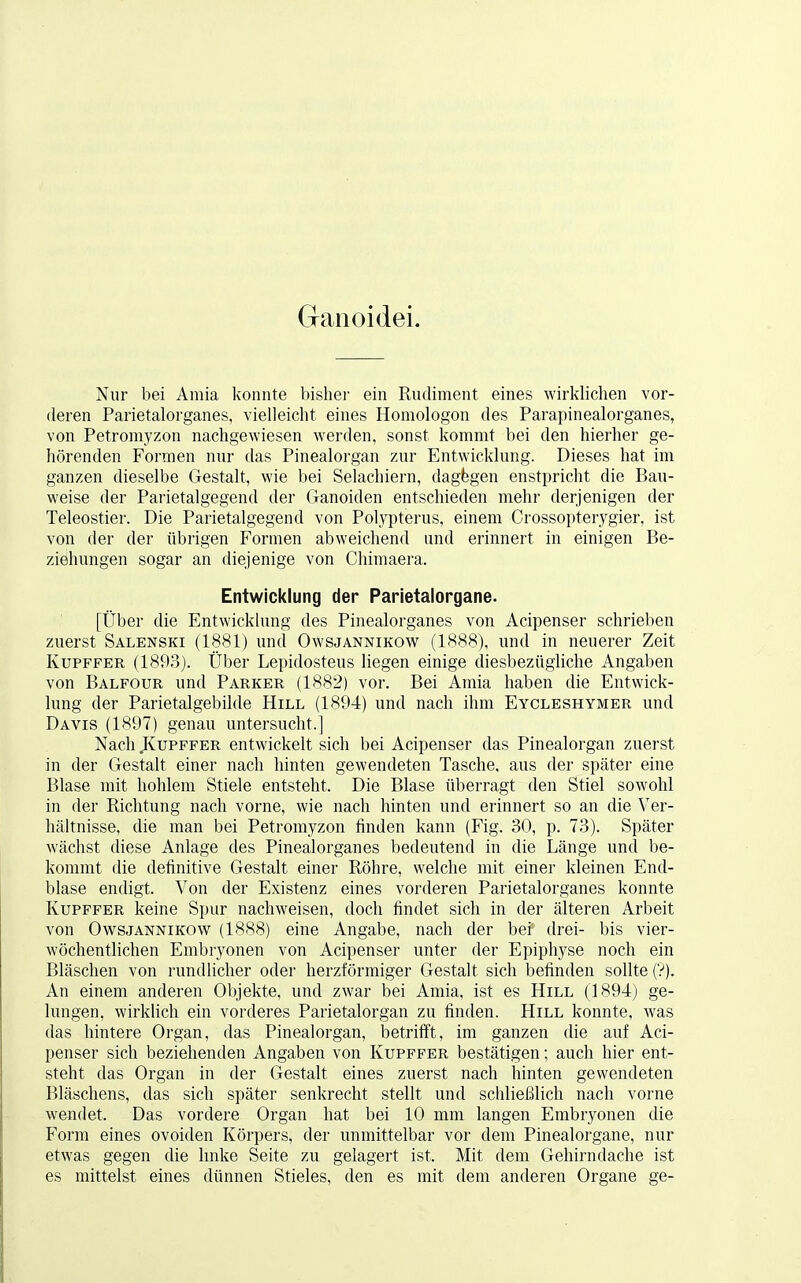 Ganoidei. Nur bei Amia konnte bisher ein Rudiment eines wirklichen vor- deren Parietalorganes, vielleicht eines Homologon des Parapinealorganes, von Petromyzon nachgewiesen werden, sonst kommt bei den hierher ge- hörenden Formen nur das Pinealorgan zur Entwicklung. Dieses hat im ganzen dieselbe Gestalt, wie bei Selachiern, dagegen enstpricht die Bau- weise der Parietalgegend der Ganoiden entschieden mehr derjenigen der Teleostier. Die Parietalgegend von Polypterus, einem Crossopterygier, ist von der der übrigen Formen abweichend und erinnert in einigen Be- ziehungen sogar an diejenige von Chimaera. Entwicklung der Parietalorgane. [Über die Entwicklung des Pinealorganes von Acipenser schrieben zuerst Salenski (1881) und Owsjannikow (1888), und in neuerer Zeit Kupffer (1893). Über Lepidosteus liegen einige diesbezügliche Angaben von Balfour und Parker (1882) vor. Bei Amia haben die Entwick- lung der Parietalgebilde Hill (1894) und nach ihm Eycleshymer und Davis (1897) genau untersucht.] Nach Kupffer entwickelt sich bei Acipenser das Pinealorgan zuerst in der Gestalt einer nach hinten gewendeten Tasche, aus der später eine Blase mit hohlem Stiele entsteht. Die Blase überragt den Stiel sowohl in der Richtung nach vorne, wie nach hinten und erinnert so an die Ver- hältnisse, die man bei Petromyzon finden kann (Fig. 30, p. 73). Später wächst diese Anlage des Pinealorganes bedeutend in die Länge und be- kommt die definitive Gestalt einer Röhre, welche mit einer kleinen End- blase endigt. Von der Existenz eines vorderen Parietalorganes konnte Kupffer keine Spur nachweisen, doch findet sich in der älteren Arbeit von Owsjannikow (1888) eine Angabe, nach der bei drei- bis vier- wöchentlichen Embryonen von Acipenser unter der Epiphyse noch ein Bläschen von rundlicher oder herzförmiger Gestalt sich befinden sollte ('?). An einem anderen Objekte, und zwar bei Amia, ist es Hill (1894) ge- lungen, wirklich ein vorderes Parietalorgan zu finden. Hill konnte, was das hintere Organ, das Pinealorgan, betrifft, im ganzen die auf Aci- penser sich beziehenden Angaben von Kupffer bestätigen; auch hier ent- steht das Organ in der Gestalt eines zuerst nach hinten gewendeten Bläschens, das sich später senkrecht stellt und schließlich nach vorne wendet. Das vordere Organ hat bei 10 mm langen Embryonen die Form eines ovoiden Körpers, der unmittelbar vor dem Pinealorgane, nur etwas gegen die linke Seite zu gelagert ist. Mit dem Gehirndache ist es mittelst eines dünnen Stieles, den es mit dem anderen Organe ge-