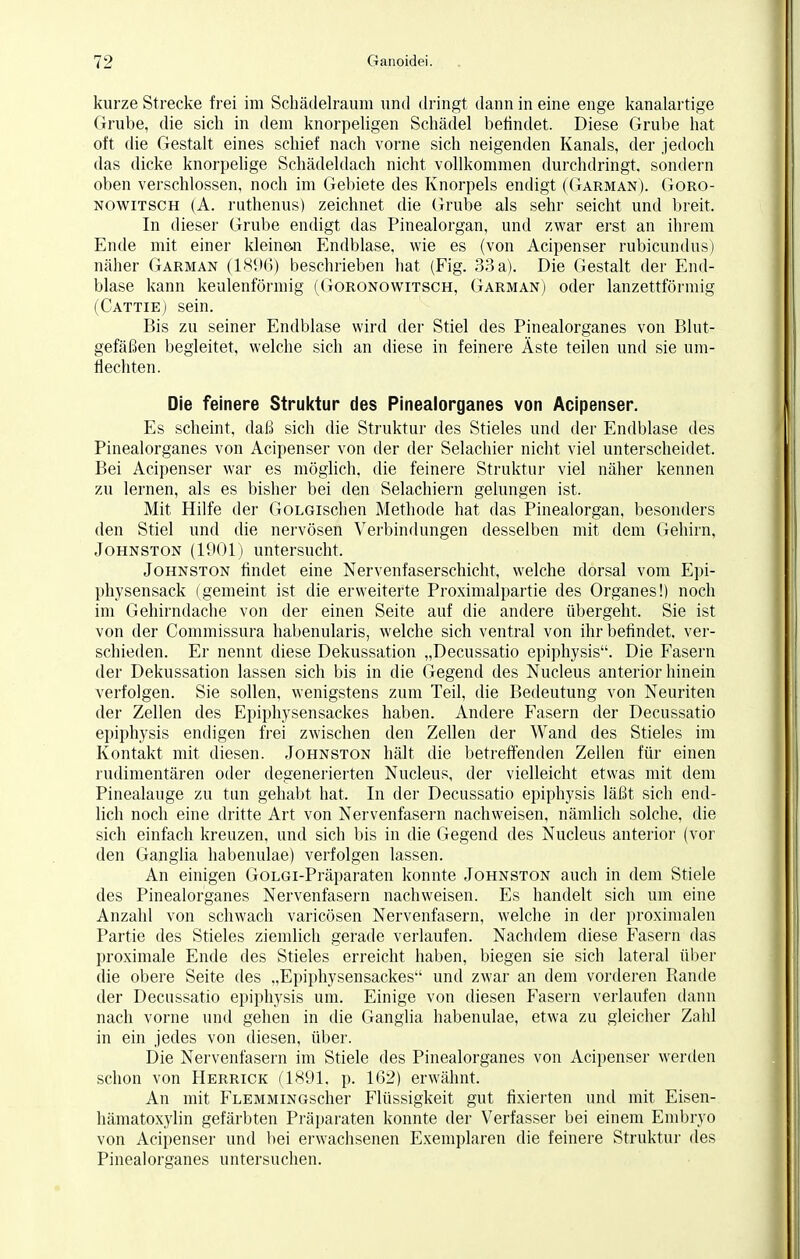 kurze Strecke frei im Schädelraum und dringt dann in eine enge kanalartige Grube, die sich in dem knorpeligen Schädel befindet. Diese Grube hat oft die Gestalt eines schief nach vorne sich neigenden Kanals, der jedoch das dicke knorpelige Schädeldach nicht vollkommen durchdringt, sondern oben verschlossen, noch im Gebiete des Knorpels endigt (Garman). Goro- nowitsch (A. ruthenus) zeichnet die Grube als sehr seicht und breit. In dieser Grube endigt das Pinealorgan, und zwar erst an ihrem Ende mit einer kleinen Endblase, wie es (von Acipenser rubicundus) näher Garman (1896) beschrieben hat (Fig. 33 a). Die Gestalt der End- blase kann keulenförmig (Goronowitsch, Garman) oder lanzettförmig (Cattie) sein. Bis zu seiner Endblase wird der Stiel des Pinealorganes von Blut- gefäßen begleitet, welche sich an diese in feinere Äste teilen und sie um- flechten. Die feinere Struktur des Pinealorganes von Acipenser. Es scheint, daß sich die Struktur des Stieles und der Endblase des Pinealorganes von Acipenser von der der Selachier nicht viel unterscheidet. Bei Acipenser war es möglich, die feinere Struktur viel näher kennen zu lernen, als es bisher bei den Selachiern gelungen ist. Mit Hilfe der GoLGischen Methode hat das Pinealorgan, besonders den Stiel und die nervösen Verbindungen desselben mit dem Gehirn, Johnston (1901) untersucht. Johnston findet eine Nervenfaserschicht, welche dorsal vom Epi- physensack (gemeint ist die erweiterte Proximalpartie des Organes!) noch im Gehirndache von der einen Seite auf die andere übergeht. Sie ist von der Commissura habenularis, welche sich ventral von ihr befindet, ver- schieden. Er nennt diese Dekussation „Decussatio epiphysis. Die Fasern der Dekussation lassen sich bis in die Gegend des Nucleus anterior hinein verfolgen. Sie sollen, wenigstens zum Teil, die Bedeutung von Neuriten der Zellen des Epiphysensackes haben. Andere Fasern der Decussatio epiphysis endigen frei zwischen den Zellen der Wand des Stieles im Kontakt mit diesen. Johnston hält die betreffenden Zellen für einen rudimentären oder degenerierten Nucleus, der vielleicht etwas mit dem Pinealauge zu tun gehabt hat. In der Decussatio epiphysis läßt sich end- lich noch eine dritte Art von Nervenfasern nachweisen, nämlich solche, die sich einfach kreuzen, und sich bis in die Gegend des Nucleus anterior (vor den Ganglia habenulae) verfolgen lassen. An einigen GoLGi-Präparaten konnte Johnston auch in dem Stiele des Pinealorganes Nervenfasern nachweisen. Es handelt sich um eine Anzahl von schwach varicösen Nervenfasern, welche in der proximalen Partie des Stieles ziemlich gerade verlaufen. Nachdem diese Fasern das proximale Ende des Stieles erreicht haben, biegen sie sich lateral über die obere Seite des „Epiphysensackes'' und zwar an dem vorderen Rande der Decussatio epiphysis um. Einige von diesen Fasern verlaufen dann nach vorne und gehen in die Ganglia habenulae, etwa zu gleicher Zahl in ein jedes von diesen, über. Die Nervenfasern im Stiele des Pinealorganes von Acipenser werden schon von Herrick (1891, p. 162) erwähnt. An mit FLEMMiNGscher Flüssigkeit gut fixierten und mit Eisen- hämatoxylin gefärbten Präparaten konnte der Verfasser bei einem Embryo von Acipenser und bei erwachsenen Exemplaren die feinere Struktur des Pinealorganes untersuchen.