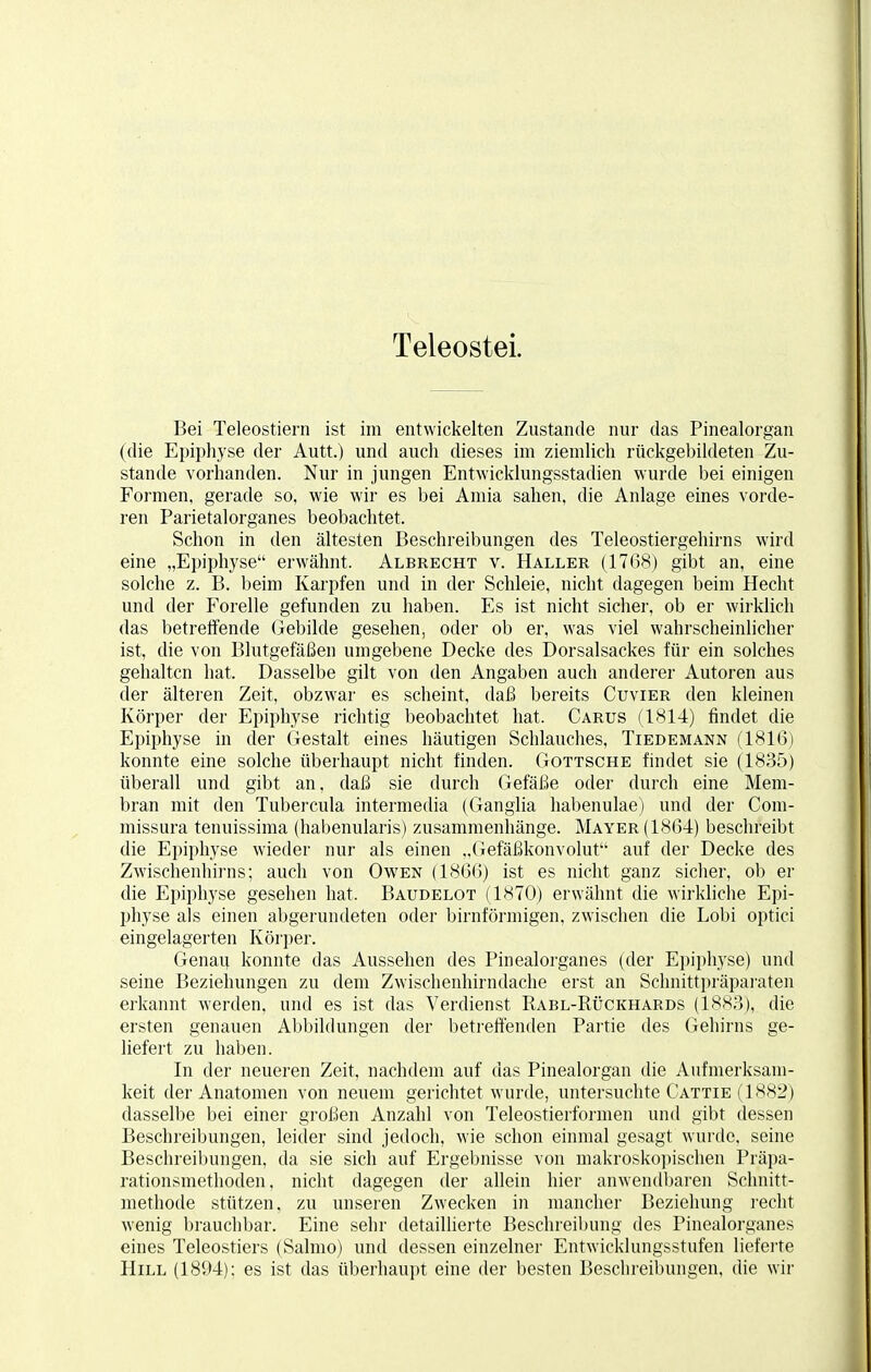 Teleostei. Bei Teleostiern ist im entwickelten Zustande nur das Pinealorgan (die Epiphyse der Autt.) und auch dieses im ziemlich rückgebildeten Zu- stande vorhanden. Nur in jungen Entwicklungsstadien wurde bei einigen Formen, gerade so, wie wir es bei Amia sahen, die Anlage eines vorde- ren Parietalorganes beobachtet. Schon in den ältesten Beschreibungen des Teleostiergehirns wird eine „Epiphyse erwähnt. Albrecht v. Haller (1768) gibt an, eine solche z. B. beim Karpfen und in der Schleie, nicht dagegen beim Hecht und der Forelle gefunden zu haben. Es ist nicht sicher, ob er wirklich das betreffende Gebilde gesehen, oder ob er, was viel wahrscheinlicher ist, die von Blutgefäßen umgebene Decke des Dorsalsackes für ein solches gehalten hat, Dasselbe gilt von den Angaben auch anderer Autoren aus der älteren Zeit, obzwar es scheint, daß bereits Cuvier den kleinen Körper der Epiphyse richtig beobachtet hat. Carus (1814) findet die Epiphyse in der Gestalt eines häutigen Schlauches, Tiedemann (1816) konnte eine solche überhaupt nicht finden. Gottsche findet sie (1835) überall und gibt an, daß sie durch Gefäße oder durch eine Mem- bran mit den Tubercula intermedia (Ganglia habenulae) und der Com- missura tenuissima (habenularis) zusammenhänge. Mayer (1864) beschreibt die Epiphyse wieder nur als einen „Gefäßkonvolut auf der Decke des Zwischenhirns; auch von Owen (1866) ist es nicht ganz sicher, ob er die Epiphyse gesehen hat. Baudelot (1870) erwähnt die wirkliche Epi- physe als einen abgerundeten oder birnförmigen, zwischen die Lobi optici eingelagerten Körper. Genau konnte das Aussehen des Pinealorganes (der Epiphyse) und seine Beziehungen zu dem Zwischenhirndache erst an Schnittpräparaten erkannt werden, und es ist das Verdienst Rabl-Rückhards (1883), die ersten genauen Abbildungen der betreffenden Partie des Gehirns ge- liefert zu haben. In der neueren Zeit, nachdem auf das Pinealorgan die Aufmerksam- keit der Anatomen von neuem gerichtet wurde, untersuchte Cattie (1882) dasselbe bei einer großen Anzahl von Teleostierformen und gibt dessen Beschreibungen, leider sind jedoch, wie schon einmal gesagt wurde, seine Beschreibungen, da sie sich auf Ergebnisse von makroskopischen Präpa- rationsmethoden, nicht dagegen der allein hier anwendbaren Schnitt- methode stützen, zu unseren Zwecken in mancher Beziehung recht wenig brauchbar. Eine sehr detaillierte Beschreibung des Pinealorganes eines Teleostiers (Salmo) und dessen einzelner Entwicklungsstufen lieferte Hill (1894); es ist das überhaupt eine der besten Beschreibungen, die wir