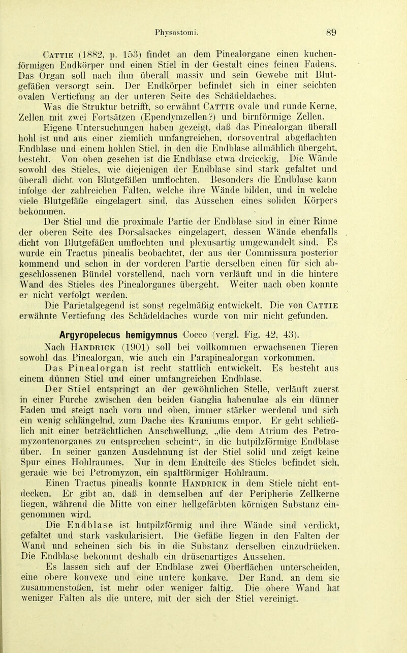 Cattie (1882, p. 153) findet an dem Pinealorgane einen kuchen- förmigen Endkörper und einen Stiel in der Gestalt eines feinen Fadens. Das Organ soll nach ihm überall massiv und sein Gewebe mit Blut- gefäßen versorgt sein. Der Endkörper befindet sich in einer seichten ovalen Vertiefung an der unteren Seite des Schädeldaches. Was die Struktur betrifft, so erwähnt Cattie ovale und runde Kerne, Zellen mit zwei Fortsätzen (Ependymzellen?) und birnförmige Zellen. Eigene Untersuchungen haben gezeigt, daß das Pinealorgan überall hohl ist und aus einer ziemlich umfangreichen, dorsoventral abgeflachten Endblase und einem hohlen Stiel, in den die Endblase allmählich übergeht, besteht. Von oben gesehen ist die Endblase etwa dreieckig, Die Wände sowohl des Stieles, wie diejenigen der Endblase sind stark gefaltet und überall dicht von Blutgefäßen umflochten. Besonders die Endblase kann infolge der zahlreichen Falten, welche ihre Wände bilden, Und in welche viele Blutgefäße eingelagert sind, das Aussehen eines soliden Körpers bekommen. Der Stiel und die proximale Partie der Endblase sind in einer Rinne der oberen Seite des Dorsalsackes eingelagert, dessen Wände ebenfalls dicht von Blutgefäßen umflochten und plexusartig umgewandelt sind. Es wurde ein Tractus pinealis beobachtet, der aus der Commissura posterior kommend und schon in der vorderen Partie derselben einen für sich ab- geschlossenen Bündel vorstellend, nach vorn verläuft und in die hintere Wand des Stieles des Pinealorganes übergeht. Weiter nach oben konnte er nicht verfolgt werden. Die Parietalgegend ist sonst regelmäßig entwickelt. Die von Cattie erwähnte Vertiefung des Schädeldaches wurde von mir nicht gefunden. Argyropelecus hemigymnus Cocco (vergl. Fig. 42, 43). Nach Handrick (1901) soll bei vollkommen erwachsenen Tieren sowohl das Pinealorgan, wie auch ein Parapinealorgan vorkommen. Das Pinealorgan ist recht stattlich entwickelt. Es besteht aus einem dünnen Stiel und einer umfangreichen Endblase. Der Stiel entspringt an der gewöhnlichen Stelle, verläuft zuerst in einer Furche zwischen den beiden Ganglia habenulae als ein dünner Faden und steigt nach vorn und oben, immer stärker werdend und sich ein wenig schlängelnd, zum Dache des Kraniums empor. Er geht schließ- lich mit einer beträchtlichen Anschwellung, „die dem Atrium des Petro- myzontenorganes zu entsprechen scheint, in die hutpilzförmige Endblase über. In seiner ganzen Ausdehnung ist der Stiel solid und zeigt keine Spur eines Hohlraumes. Nur in dem Endteile des Stieles befindet sich, gerade wie bei Petromyzon, ein spaltförmiger Hohlraum. Einen Tractus pinealis konnte Handrick in dem Stiele nicht ent- decken. Er gibt an, daß in demselben auf der Peripherie Zellkerne liegen, während die Mitte von einer hellgefärbten körnigen Substanz ein- genommen wird. Die Endblase ist hutpilzförmig und ihre Wände sind verdickt, gefaltet und stark vaskularisiert. Die Gefäße liegen in den Falten der Wand und scheinen sich bis in die Substanz derselben einzudrücken. Die Endblase bekommt deshalb ein drüsenartiges Aussehen. Es lassen sich auf der Endblase zwei Oberflächen unterscheiden, eine obere konvexe und eine untere konkave. Der Rand, an dem sie zusammenstoßen, ist mehr oder weniger faltig. Die obere Wand hat weniger Falten als die untere, mit der sich der Stiel vereinigt.