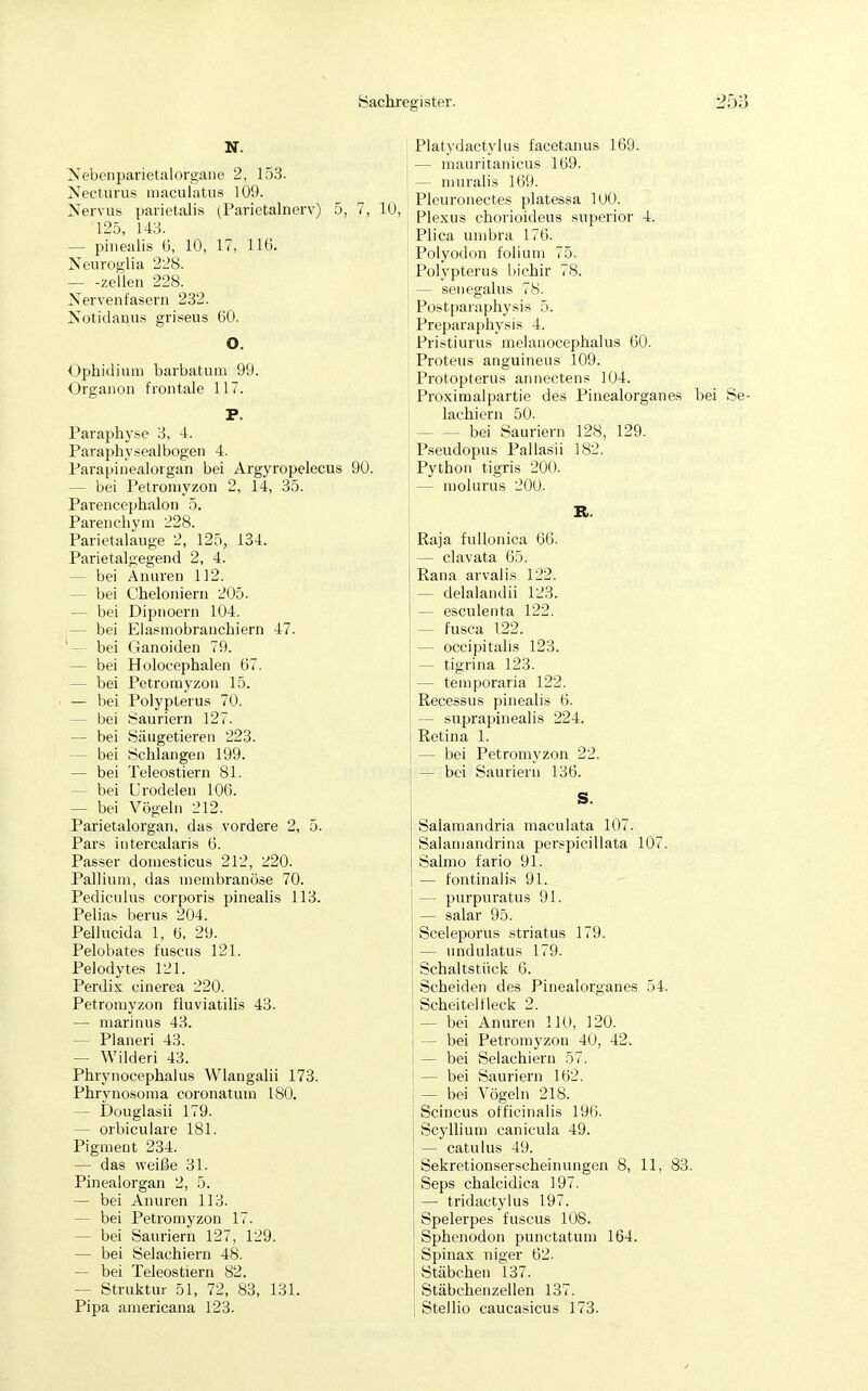 N. Nebenparietalorgane 2, 153. Necturus mnculatus 109. Nervus parietalis (Parietalnerv) 5, 125, 143. — pinealis 6, 10, 17, 116. Neuroglia 228. zellen 228. Nervenfasern 232. Notidanus griseus 60. O. Ophidium barbatum 99. Organon frontale 117. P. Paraphyse 3, 4. Paraphvsealbogen 4. Parapinealotgan bei Argyropelecus 90. - bei Petromyzon 2, 14, 35. Parencephalon 5. Parenchym 228. Parietalauge 2, 125, 134. Parietalgegend 2, 4. - bei Änuren 112. - bei Cheloniern 205. — bei Dipnoern 104. - bei Elasmobranchiern 47. '— bei Ganoiden 79. - bei Holocephalen 67. - bei Petromyzon 15. — bei Polypterus 70. - bei Sauriern 127. — bei Säugetieren 223. - bei Schlangen 199. — bei Teleostiern 81. - bei Urodelen 106. - bei Vögeln 212. Parietalorgan, das vordere 2, 5. Pars intercalaris 6. Passer doniesticus 212, 220. Pallium, das membranöse 70. Pediculus corporis pinealis 113. Pelias berus 204. Pellucida 1, 6, 29. Pelobates fuscus 121. PeJodytes 121. Perdix cinerea 220. Petromyzon fluviatilis 43. — marinus 43. — Pianeri 43. — Wilderi 43. Phrynocephalus Wlangalii 173. Phrynosoma coronatuin 180. — Douglasii 179. — orbiculare 181. Pigment 234. — das weiße 31. Pinealorgan 2, 5. — bei Anuren 113. - bei Petromyzon 17. - bei Sauriern 127, 129. — bei Selachiern 48. — bei Teleostiern 82. — Struktur 51, 72, 83, 131. Pipa americana 123. Platydactylus facetanus 169. — mauritanicus 169. - muralis 169. Pleuronectes platessa 100. Plexus chorioideus snperior 4. Plica umbra 176. Polyodon folium 75. Polypterus Ijichir 78. — senegalus 78. Postparaphysis 5. Preparaphysis 4. Pristiurus melanocephalus 60. Proteus anguineus 109. Protopterus annectens 104. Proximalpartie des Pinealorganes bei Se- lachiern 50. - bei Sauriern 128, 129. Pseudopus Pallasii 182. Python tigris 200. — molurus 200. R. Raja fullonica 66. — clavata 65. Rana arvalis 122. — delalandii 123. — esculenta 122. — fusca 122. — occipitalis 123. — tigrina 123. - temporaria 122. Recessus pinealis 6. - suprapinealis 224. Retina 1. — bei Petromyzon 22. — bei Sauriern 136. S. Salamandria maculata 107. Salamandrina perspicillata 107. Sahno fario 91. — fontinalis 91. — purpuratus 91. — salar 95. Sceleporus striatus 179. — undulatus 179. Schaltstück 6. Scheiden des Pinealorganes 54. Scheitel fleck 2. - bei Anuren 110, 120. - bei Petromyzon 40, 42. I — bei Selachiern 57. I — bei Sauriern 162. — bei Vögeln 218. Scincus officinalis 196. Scyllium canicula 49. — catulus 49. Sekretionserscheinungen 8, 11, 83. Seps chalcidica 197. — tridactylus 197. Spelerpes fuscus 108. Sphenodon punctatum 164. Spinax niger 62. Stäbchen 137. Stäbchenzellen 137. Stellio caucasicus 173.