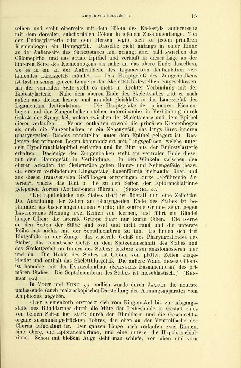 selben und steht einerseits mit dem Cölom des Endostyls, andererseits mit dem dorsalen, subchordalen Cölom in offenem Zusammenhange. Von der Endostylarterie oder dem Herzen begibt sich zu jedem primären Kiemenbogen ein Hauptgefäß. Dasselbe zieht anfangs in einer Rinne an der Außenseite des Skelettstabes hin, gelangt aber bald zwischen das Cölomepithel und das atriale Epithel und verläuft in dieser Lage an der hinteren Seite des Kiemenbogens bis nahe an das obere Ende desselben, wo es in ein an der Außenfläche des Ligamentum denticulatum ver- laufendes Längsgefäß mündet. — Das Hauptgefäß des Zungenbalkens ist fast in seiner ganzen Länge in den Skelettstab desselben eingeschlossen. An der ventralen Seite steht es nicht in direkter Verbindung mit der Endostylarterie. Nahe dem oberen Ende des Skelettstabes tritt es nach außen aus diesem hervor und mündet gleichfalls in das Längsgefäß des Ligamentum denticulatum. — Die Hauptgefäße der primären Kiemen- bogen und der Zungenbalken stehen untereinander in Verbindung durch Gefäße der Synaptikel, welche zwischen der Skelettachse und dem Epithel dieser verlaufen. — Ferner enthalten sowohl die primären Kiemenbogen als auch die Zungenbalken je ein Nebengefäß, das längs ihres inneren (pharyngealen) Randes unmittelbar unter dem Epithel gelagert ist. Das- jenige der primären Bogen kommuniziert mit Längsgefäßen, welche unter dem Hypobranchialepithel verlaufen und ihr Blut aus der Endostylarterie erhalten. Dasjenige der Zungenbalken steht am ventralen Ende dieser mit dem Hauptgefäß in Verbindung. In den Winkeln zwischen den oberen Arkaden der Skelettstäbe gehen Haupt- und Nebengefäße (bezw. die erstere verbindenden Längsgefäße) bogenförmig ineinander über, und aus diesen transversalen Gefäßbogen entspringen kurze „abführende Ar- terien, welche das Blut in die zu den Seiten der Epibranchialrinne gelegenen Aorten (Aortenbogen) führen./ (Spengel <?/.) /Die Epitheldicke des Stabes (bar) ist überall nur eine Zelldicke. Die Anordnung der Zellen am pharyngealen Ende des Stabes ist be- stimmter als bisher angenommen wurde; die zentrale Gruppe zeigt, gegen Lankesters Meinung zwei Reihen von Kernen, und führt ein Bündel langer Cilien; die laterale Gruppe führt nur kurze Cilien. Die Kerne an den Seiten der Stäbe sind oval und nicht rund und die unterste Reihe hat nichts mit der Septalmembran zu tun. Es finden sich drei Blutgefäße in der Zunge, das viscerale Gefäß des Pharyngealendes des Stabes, das somatische Gefäß in dem Spitzeneinschnitt des Stabes und das Skelettgefäß im Innern des Stabes; letztere zwei anastomosieren hier und da. Die Höhle des Stabes ist Cölom, von platten Zellen ausge- kleidet und enthält das Skelettblutgefäß. Die äußere Wand dieses Cöloms ist homolog mit der Extracölomhaut (Spengels Basalmembran) des pri- mären Stabes. Die Septalmembran des Stabes ist mesoblastisch. / (Ben- ham 94.) In Vogt und Yung 94 endlich wurde durch Jaquet die neueste umfassende (auch makroskopische) Darstellung des Atmimgsapparates vom Amphioxus gegeben. / Der Kiemenkorb erstreckt sich vom Ringmuskel bis zur Abgangs- stelle des Blinddarmes durch die Mitte der Leibeshöhle in Gestalt eines von beiden Seiten her stark durch den Blinddarm und die Geschlechts- organe zusammengedrückten Rohres, das oben an der Ventralfläche der Chorda aufgehängt ist. Der ganzen Länge nach verlaufen zwei Rinnen, eine obere, die Epibranchialrinne, und eine untere, die Hypobranchial- rinne. Schon mit bloßem Auge sieht man schiefe, von oben und vorn
