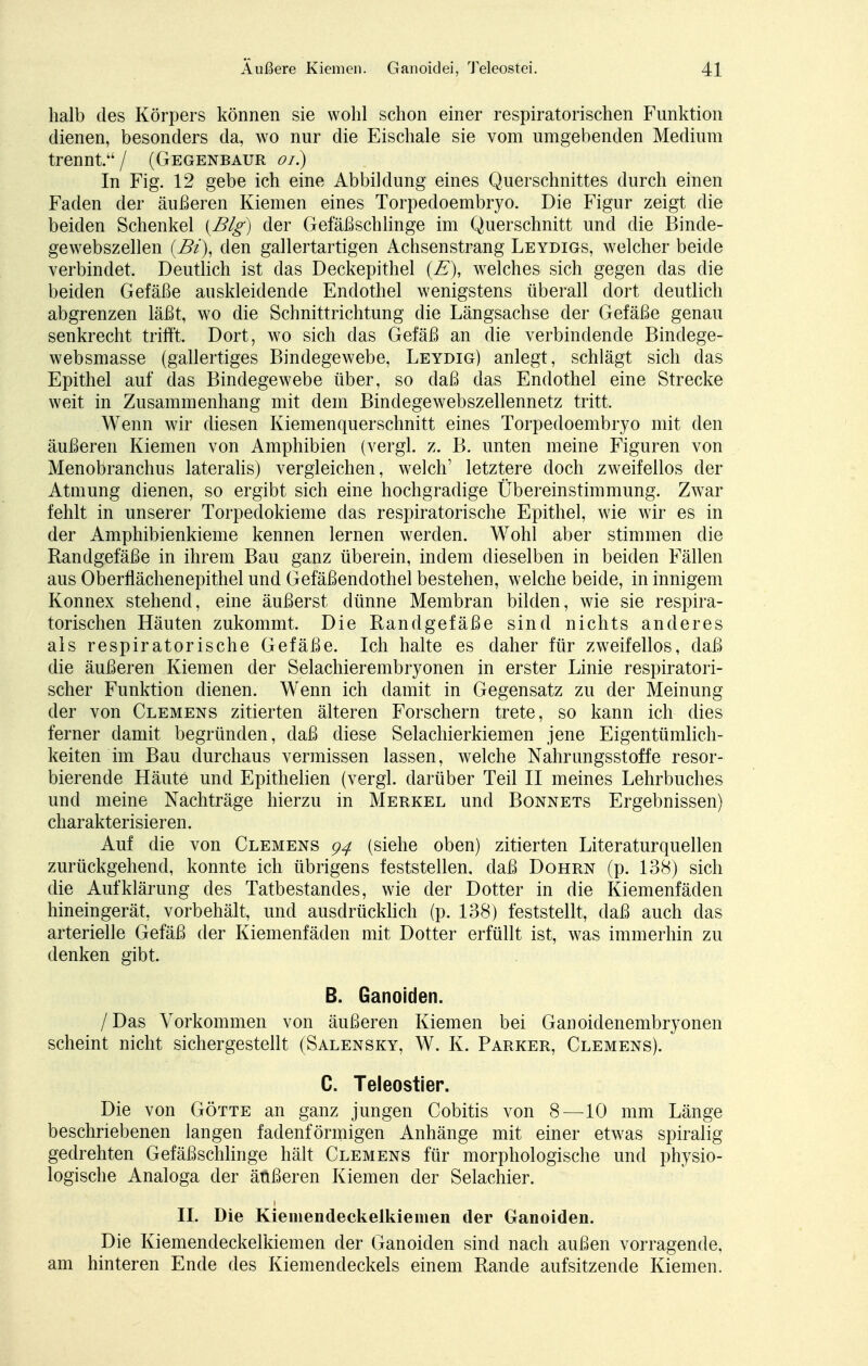 halb des Körpers können sie wohl schon einer respiratorischen Funktion dienen, besonders da, wo nur die Eischale sie vom umgebenden Medium trennt.'4/ (Gegenbaur oi.) In Fig. 12 gebe ich eine Abbildung eines Querschnittes durch einen Faden der äußeren Kiemen eines Torpedoembryo. Die Figur zeigt die beiden Schenkel {Big) der Gefäßschlinge im Querschnitt und die Binde- gewebszellen (Bi), den gallertartigen Achsenstrang Leydigs, welcher beide verbindet. Deutlich ist das Deckepithel (E), welches sich gegen das die beiden Gefäße auskleidende Endothel wenigstens überall dort deutlich abgrenzen läßt, wo die Schnittrichtung die Längsachse der Gefäße genau senkrecht trifft. Dort, wo sich das Gefäß an die verbindende Bindege- websmasse (gallertiges Bindegewebe, Leydig) anlegt, schlägt sich das Epithel auf das Bindegewebe über, so daß das Endothel eine Strecke weit in Zusammenhang mit dem Bindegewebszellennetz tritt. Wenn wir diesen Kiemenquerschnitt eines Torpedoembryo mit den äußeren Kiemen von Amphibien (vergl. z. B. unten meine Figuren von Menobranchus lateralis) vergleichen, welch' letztere doch zweifellos der Atmung dienen, so ergibt sich eine hochgradige Übereinstimmung. Zwar fehlt in unserer Torpedokieme das respiratorische Epithel, wie wir es in der Amphibienkieme kennen lernen werden. Wohl aber stimmen die Randgefäße in ihrem Bau ganz überein, indem dieselben in beiden Fällen aus Oberflächenepithel und Gefäßendothel bestehen, welche beide, in innigem Konnex stehend, eine äußerst dünne Membran bilden, wie sie respira- torischen Häuten zukommt. Die Randgefäße sind nichts anderes als respiratorische Gefäße. Ich halte es daher für zweifellos, daß die äußeren Kiemen der Selachierembryonen in erster Linie respiratori- scher Funktion dienen. Wenn ich damit in Gegensatz zu der Meinung der von Clemens zitierten älteren Forschern trete, so kann ich dies ferner damit begründen, daß diese Selachierkiemen jene Eigentümlich- keiten im Bau durchaus vermissen lassen, welche Nahrungsstoffe resor- bierende Häute und Epithelien (vergl. darüber Teil II meines Lehrbuches und meine Nachträge hierzu in Merkel und Bonnets Ergebnissen) charakterisieren. Auf die von Clemens 94 (siehe oben) zitierten Literaturquellen zurückgehend, konnte ich übrigens feststellen, daß Dohrn (p. 138) sich die Aufklärung des Tatbestandes, wie der Dotter in die Kiemenfäden hineingerät, vorbehält, und ausdrücklich (p. 138) feststellt, daß auch das arterielle Gefäß der Kiemenfäden mit Dotter erfüllt ist, was immerhin zu denken gibt. B. Ganoiden. /Das Vorkommen von äußeren Kiemen bei Ganoidenembryonen scheint nicht sichergestellt (Salensky, W. K. Parker, Clemens). C. Teleostier. Die von Götte an ganz jungen Cobitis von 8—10 mm Länge beschriebenen langen fadenförmigen Anhänge mit einer etwas spiralig gedrehten Gefäßschlinge hält Clemens für morphologische und physio- logische Analoga der äußeren Kiemen der Selachier. II. Die Kieinendeckelkienien der Ganoiden. Die Kiemendeckelkiemen der Ganoiden sind nach außen vorragende, am hinteren Ende des Kiemendeckels einem Rande aufsitzende Kiemen.
