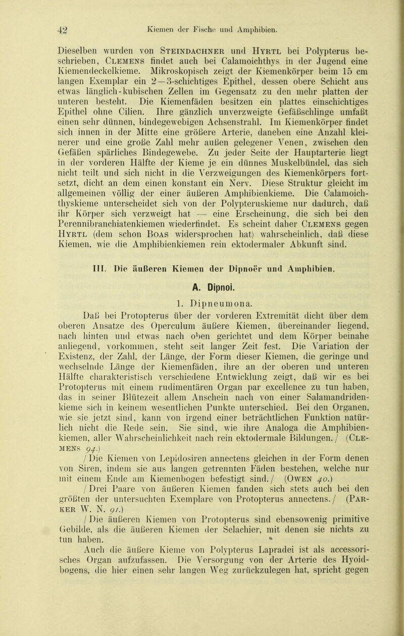 Dieselben wurden von Steindachner und Hyrtl bei Polypterus be- schrieben, Clemens findet auch bei Calamoichthys in der Jugend eine Kiemendeckelkieme. Mikroskopisch zeigt der Kiemenkörper beim 15 cm langen Exemplar ein 2 — 3-schichtiges Epithel, dessen obere Schicht aus etwas länglich-kubischen Zellen im Gegensatz zu den mehr platten der unteren besteht. Die Kiemenfäden besitzen ein plattes einschichtiges Epithel ohne Cilien. Ihre gänzlich unverzweigte Gefäßschlinge umfaßt einen sehr dünnen, bindegewebigen Achsenstrahl. Im Kiemenkörper findet sich innen in der Mitte eine größere Arterie, daneben eine Anzahl klei- nerer und eine große Zahl mehr außen gelegener Venen, zwischen den Gefäßen spärliches Bindegewebe. Zu jeder Seite der Hauptarterie liegt in der vorderen Hälfte der Kieme je ein dünnes Muskelbündel, das sich nicht teilt und sich nicht in die Verzweigungen des Kiemenkörpers fort- setzt, dicht an dem einen konstant ein Nerv. Diese Struktur gleicht im allgemeinen völlig der einer äußeren Amphibienkieme. Die Calamoich- thyskieme unterscheidet sich von der Polypteruskieme nur dadurch, daß ihr Körper sich verzweigt hat — eine Erscheinung, die sich bei den Perennibranchiatenkiemen wiederfindet. Es scheint daher Clemens gegen Hyrtl (dem schon Boas widersprochen hat) wahrscheinlich, daß diese Kiemen, wie die Amphibienkiemen rein ektodermaler Abkunft sind. III. Die äußeren Kiemen der Dipnoer und Amphibien. A. Dipnoi. 1. Dipneumona. Daß bei Protopterus über der vorderen Extremität dicht über dem oberen Ansätze des Operculum äußere Kiemen, übereinander liegend, nach hinten und etwas nach oben gerichtet und dem Körper beinahe anliegend, vorkommen, steht seit langer Zeit fest. Die Variation der Existenz, der Zahl, der Länge, der Form dieser Kiemen, die geringe und wechselnde Länge der Kiemenfäden, ihre an der oberen und unteren Hälfte charakteristisch verschiedene Entwicklung zeigt, daß wir es bei Protopterus mit einem rudimentären Organ par excellence zu tun haben, das in seiner Blütezeit allem Anschein nach von einer Salamandriden- kieme sich in keinem wesentlichen Punkte unterschied. Bei den Organen, wie sie jetzt sind, kann von irgend einer beträchtlichen Funktion natür- lich nicht die Rede sein. Sie sind, wie ihre Analoga die Amphibien- kiemen, aller Wahrscheinlichkeit nach rein ektodermale Bildungen. / (Cle- mens 94.) I Die Kiemen von Lepidosiren annectens gleichen in der Form denen von Siren, indem sie aus langen getrennten Fäden bestehen, welche nur mit einem Ende am Kiemenbogen befestigt sind./ (Owen 40.) I Drei Paare von äußeren Kiemen fanden sich stets auch bei den größten der untersuchten Exemplare von Protopterus annectens. / (Par- ker W. N. 91.) I Die äußeren Kiemen von Protopterus sind ebensowenig primitive Gebilde, als die äußeren Kiemen der Selachier, mit denen sie nichts zu tun haben. * Auch die äußere Kieme von Polypterus Lapradei ist als accessori- sches Organ aufzufassen. Die Versorgung von der Arterie des Hyoid- bogens, die hier einen sehr langen Weg zurückzulegen hat, spricht gegen